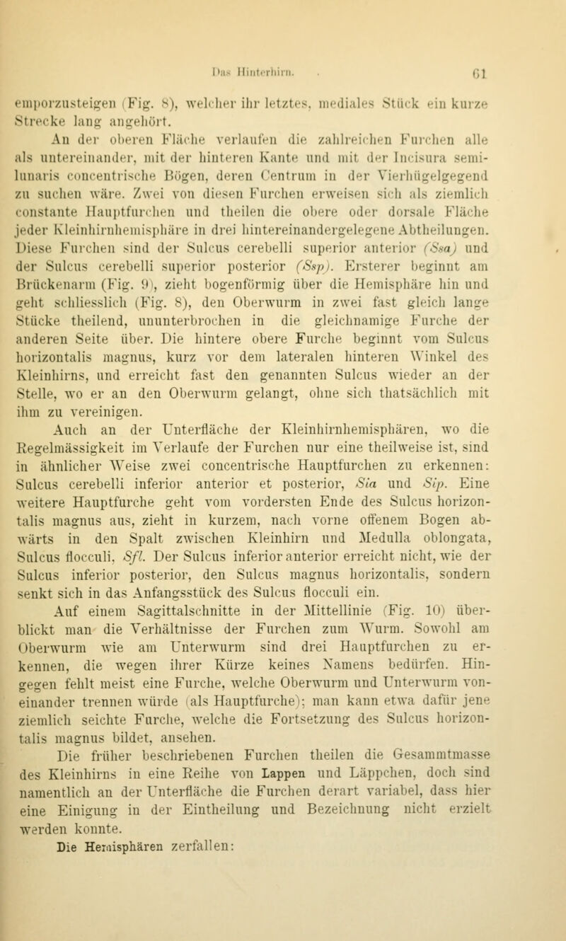 Das Hint.Tliini. Gl einitorzusteigen (Fig. s), welcher ihr letztes, mediales Stück ein kurze Strecke lang angehört. An dei- oberen Fläche verlaufen die zahlreichen Furchen alle als untereinander, mit der hinteren Kante und mit der Incisura semi- hmaris cducentrische Bügen, deren Centrum in der Vieiliügelgegend zu suchen wäre. Zwei von diesen Furchen erweisen sich als ziemlich constante }lauj)tfurchen und theilen die obere oder dorsale Fläche jeder Ivleinhirnhemisphäre in drei hintereinandergelegene Abtheilungen. Diese Furchen sind der Sulcus cerebelli superior anterior (Ssa) und der Sulcus cerebelli superior posterior (Sspj. Ersterer beginnt am Brückenarm (Fig. 9), zieht bogenförmig über die Hemisphäre hin und geht schliesslich (Fig. 8), den Oberwurm in zwei fast gleich lange Stücke theilend, ununterbrochen in die gleichnamige Furche der anderen Seite über. Die hintere obere Furche beginnt vom Sulcus horizontalis magnus, kurz vor dem lateralen hinteren Winkel des Kleinhirns, und erreicht fast den genannten Sulcus wieder an der Stelle, wo er an den Oberwurm gelangt, ohne sich thatsächlich mit ihm zu vereinigen. Auch an der Unterfläche der Kleinhirnhemisphären, wo die Regelmässigkeit im Verlaufe der Furchen nur eine theilweise ist, sind in ähnlicher Weise zwei concentrische Hauptfurchen zu erkennen: Sulcus cerebelli inferior anterior et posterior, Sia und Sip. Eine weitere Hauptfurche geht vom vordersten Ende des Sulcus horizon- talis magnus aus, zieht in kurzem, nach vorne offenem Bogen ab- wärts in den Spalt zwischen Kleinhirn und Medulla oblongata, Sulcus flocculi, Sfl. Der Sulcus inferior anterior erreicht nicht, wie der Sulcus inferior posterior, den Sulcus magnus horizontalis, sondern senkt sich in das Anfangsstück des Sulcus flocculi ein. Auf einem Sagittalschnitte in der Mittellinie (Fig. 10) über- blickt man die Verhältnisse der Furchen zum Wurm. Sowohl am oberwurm wie am Unterwurm sind drei Hauptfurchen zu er- kennen, die wegen ihrer Kürze keines Namens bedürfen. Hin- sehen fehlt meist eine Furche, welche Oberwurm und Unterwurm von- einander trennen würde (als HauptfurcheV. man kann etwa dafür jene ziemlich seichte Furche, welche die Fortsetzung des Sulcus horizon- talis magnus bildet, ansehen. Die früher beschriebenen Furchen theilen die Gesammtmasse des Kleinhirns in eine Reihe von Lappen und Läppchen, doch sind namentlich an der Unterfläche die Furchen derart variabel, dass hier eine Einigung in der Eintheilung und Bezeichnung nicht erzielt wvrden konnte. Die Heiaisphären zerfallen: