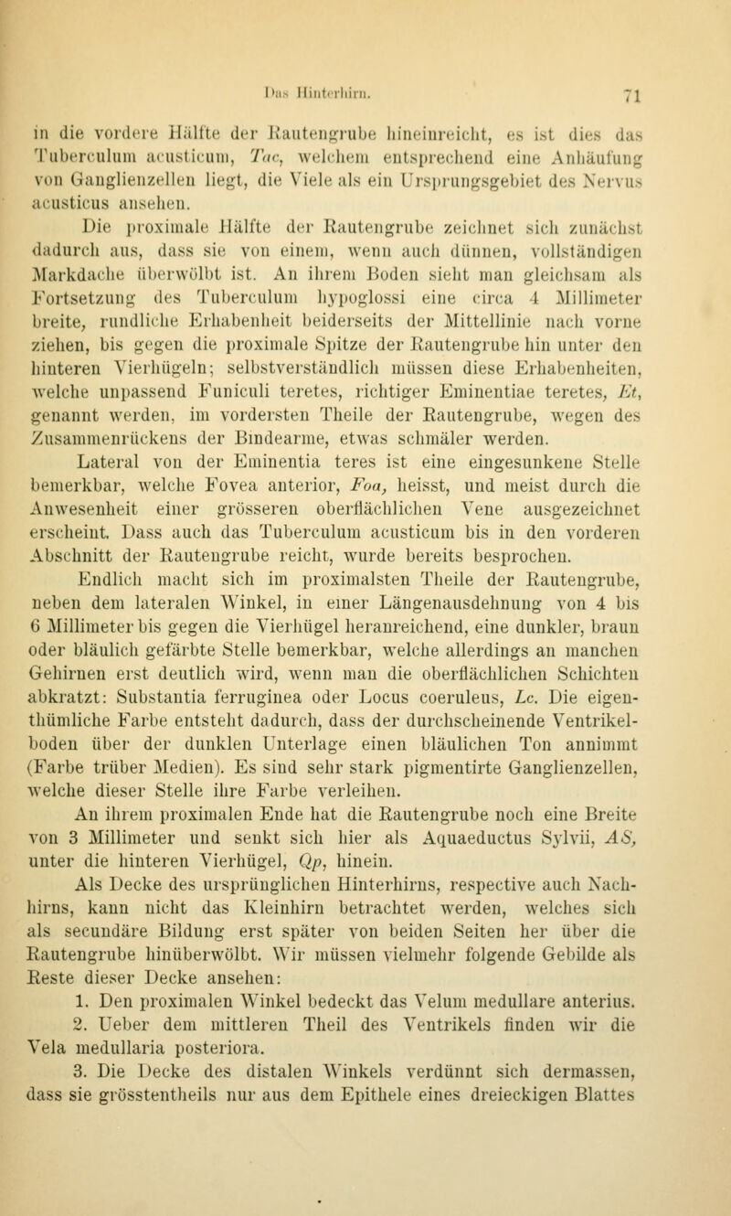 in die vordere iliiltte der Jiaiiteiigi'ube liiiieinreicht, es ist dies das 'riibereuluin acusticuni, 7«c, welchem eutspreclieiid eine Anhäufung von Ganglienzellen liegt, die Viele als ein Ursprungsgebiet des Nervus acustii'us ansehen. Die {troxiniale Hälfte der Kautengrube zeichnet sich zunächst dadurch aus, dass sie von einem, wenn auch dünnen, vollständigen Markdaclie überwölbt ist. An ihrem Boden sieht man gleichsam als Fortsetzung des Tuberculum hypoglossi eine circa 4 Millimeter breite, rundliche Erhabenheit beiderseits der Mittellinie nach vorne ziehen, bis gegen die i)roximale Spitze der Rautengrube hin unter den hinteren Yierhügeln; selbstverständlich müssen diese Erhabenheiten, welche unpassend Euniculi teretes, richtiger Eminentiae teretes, Et, genannt werden, im vordersten Theile der Eautengrube, wegen des Zusammenrückens der Bindearme, etwas schmäler werden. Lateral von der Eminentia teres ist eine eingesunkene Stelle bemerkbar, welche Fovea anterior, Foa^ heisst, und meist durch die Anwesenheit einer grösseren oberflächlichen Vene ausgezeichnet erscheint. Dass auch das Tuberculum acusticum bis in den vorderen Abschnitt der Rautengrube reicht, wurde bereits besprochen. Endlich macht sich im proximalsten Theile der Rautengrube, neben dem lateralen Winkel, in einer Längenausdehnung von 4 bis 6 Millimeter bis gegen die Vierhügel heranreichend, eine dunkler, braun oder bläulich gefärbte Stelle bemerkbar, welche allerdings an manchen Gehirnen erst deutlich wird, wenn mau die oberflächlichen Schichten abkratzt: Substantia ferruginea oder Locus coeruleus, Lc. Die eigen- thümliche Farbe entsteht dadurch, dass der durchscheinende Ventrikel- boden über der dunklen Unterlage einen bläulichen Ton annimmt (Farbe trüber Medien). Es sind sehr stark pigmentirte Ganglienzellen, welche dieser Stelle ihre Farbe verleihen. An ihrem proximalen Ende hat die Rautengrube noch eine Breite von 3 Millimeter und senkt sich hier als Aquaeductus Sylvii, AS, unter die hinteren Vierhügel, Q/?, hinein. Als Decke des ursprünglichen Hinterhirns, respective auch Nach- hirns, kann nicht das Kleinhirn betrachtet werden, welches sich als secundäre Bildung erst später von beiden Seiten her über die Rautengrube hinüberwölbt. Wir müssen vielmehr folgende Gebilde als Reste dieser Decke ansehen: 1. Den proximalen Winkel bedeckt das Velum medulläre anterius. 2. Ueber dem mittleren Theil des Ventrikels finden wir die Vela medullaria posteriora. 3. Die Decke des distalen Winkels verdünnt sich dermassen, dass sie grösstentheils nur aus dem Epithele eines dreieckigen Blattes