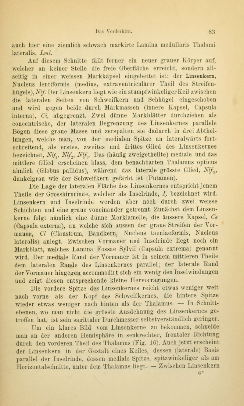 auch hier eine zieiulicli schwacli niarkiite Laiiiiiui niedullaiis Thahimi hiteralis, Lml. Auf diesem Schnitte fällt ferner ein neuer grauer Körper auf, welcher an keiner Stelle die freie Oberfläche erreicht, sondern all- seitig in einer weissen JMarkkapsel eingebettet ist; der Linsenkern, Nucleus lentiformis (medius, extraventriculärer Theil des Streifen- hügels), A^/f. Der Linseukern liegt wie ein stumpfwinkeliger Keil zwisclien die lateralen Seiten von Schweifkern und Sehhügel eingeschoben und wird gegen beide durch Markmassen (innere Kapsel, Capsula interna), C«, abgegrenzt. Zwei dünne Markblätter durchziehen als concentrische, der lateralen Begrenzung des Linsenkernes parallele Bögen diese graue Masse und zerspalten sie dadurch in drei Abthei- lungen, welche man, von der medialen Spitze an lateralwärts fort- schreitend, als erstes, zweites und drittes Glied des Linsenkernes bezeichnet, Nlf^. Nif.,, Nlf\. Das (häufig zweigetheilte) mediale und das mittlere Glied erscheinen blass, dem benachbarten Thalamus opticus ähnlich (Globus pallidus), während das laterale grösste Glied, Nlf.■^, dunkelgrau wie der Schweifkern gefärbt ist (Putamen). Die Lage der lateralen Fläche des liinsenkernes entspricht jenem Theile der Grosshirnrinde, welcher als Inselrinde, /, bezeichnet wird. Linsenkern und Liselrinde werden aber noch durch zwei weisse Schichten und eine graue voneinander getrennt. Zunächst dem Linsen- kerne folgt nämlich eine dünne Marklamelle, die äussere Kapsel, Ce (Capsula externa), an welche sich aussen der graue Streifen der Vor- mauer, Cl (Claustrum, Bandkern, Nucleus taeniaeformis, Nucleus lateralis) anlegt. Zwischen Vormauer und Inselrinde liegt noch ein Markblatt, welches Lamina Fossae Sylvii (Capsula extrema) genannt wird. Der mediale Rand der Vormauer ist in seinem mittleren Theile dem lateralen Rande des Linsenkernes parallel; der laterale Rand der Vormauer hingegen accommodirt sich ein wenig den Inselwindungen und zeigt diesen entsprechende kleine Hervorragungen. Die vordere Spitze des Linsenkernes reicht etwas weniger weit nach vorne als der Kopf des Schweifkernes, die hintere Spitze wieder etwas weniger nach hinten als der Thalamus. — In Schnitt- ebenen, wo man nicht die grösste Ausdehnung des Linsenkernes ge- troffen hat, ist sein sagittaler Durchmesser selbstverständlich geringer. Um ein klares Bild vom Linsenkerne zu bekommen, schneide man an der anderen Hemisphäre in senkrechter, frontaler Richtung durch den vorderen Theil des Thalamus (Fig. IG). Auch jetzt erscheint der Linsenkern in der Gestalt eines Keiles, dessen (laterale) Basis parallel der Inselrinde, dessen mediale Spitze, spitzwinkeliger als am Horizontalschnitte, unter dem Thalamus liegt. — Zwischen Linsenkern 6*