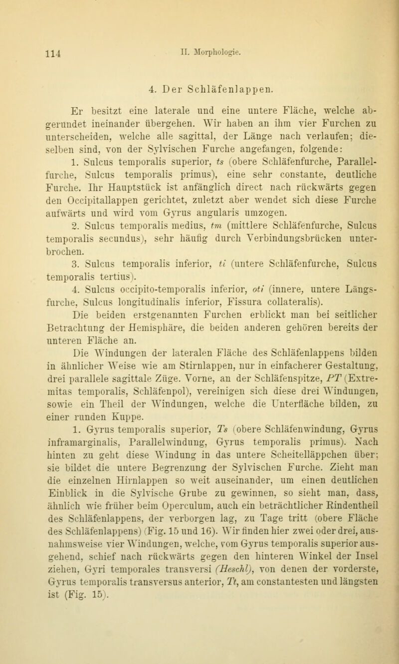 4. Der Schläfenlappen. Er besitzt eine laterale und eine untere Fläche, welche ab- gerundet ineinander übergehen. Wir haben an ihm vier Furchen zu unterscheiden, welche alle sagittal. der Länge nach verlaufen; die- selben sind, von der Sylvischen Furche angefangen, folgende: 1. Sulcus temporalis superior, ts (obere Schläfenfurche, Parallel- furche, Sulcus temporalis primus), eine sehr constante, deutliche Furche. Ihr Hauptstück ist anfänglich direct nach rückwärts gegen den Occipitallappen gerichtet, zuletzt aber wendet sich diese Furche aufwärts und wird vom Gyrus angularis umzogen. 2. Sulcus temporalis medius, tm (mittlere Schläfenfurche, Sulcus temporalis secundus», sehr häufig durch Yerbindungsbrücken unter- brochen. 3. Sulcus temporalis inferior, ti Hintere Schläfenfurche, Sulcus temporalis tertius). 4. Sulcus occipito-temporalis inferior, oti (innere, untere Längs- furche, Sulcus longitudinalis inferior, Fissura coUateralis). Die beiden erstgenannten Furchen erblickt man bei seitlicher Betrachtung der Hemisphäre, die beiden anderen gehören bereits der unteren Fläche an. Die Windungen der lateralen Fläche des Schläfenlappens bilden in ähnlicher Weise wie am Stirnlappen, nur in einfacherer Gestaltung, drei parallele sagittale Züge. Vorne, an der Schläfenspitze, FT (Extre- mitas temporalis, Schläfenpol), vereinigen sich diese drei Windungen, sowie ein Theil der Windungen, welche die L'nterfläche bilden, zu einer runden Kuppe. 1. Gyrus temporalis superior, Ts i obere Schläfenwindung, Gyrus inframarginalis, Parallelwindung, Gyrus temporalis primus). Nach hinten zu geht diese AMndung in das untere Scheitelläppchen über: sie bildet die untere Begrenzung der Sylvischen Furche. Zieht man die einzelnen Hirnlappen so weit auseinander, um einen deutlichen Einblick in die Sj'lvische Grube zu gewinnen, so sieht man, dass, ähnlich wie früher beim Operculum, auch ein beträchtlicher Rindentheil des Schläfenlappens, der verborgen lag, zu Tage tritt (obere Fläche des Schläfenlappens) ''Fig. 15 und 16). Wir finden hier zwei oder drei, aus- nahmsweise vier Windungen, welche, \'om Gjtus temporalis superior aus- gehend, schief nach rückwärts gegen den hinteren Winkel der Insel ziehen, Gj'ri temporales transversi (^Heschlj, von denen der vorderste, Gyrus temporalis transversus anterior, Tt, am constantesten und längsten ist (Fig. 15).