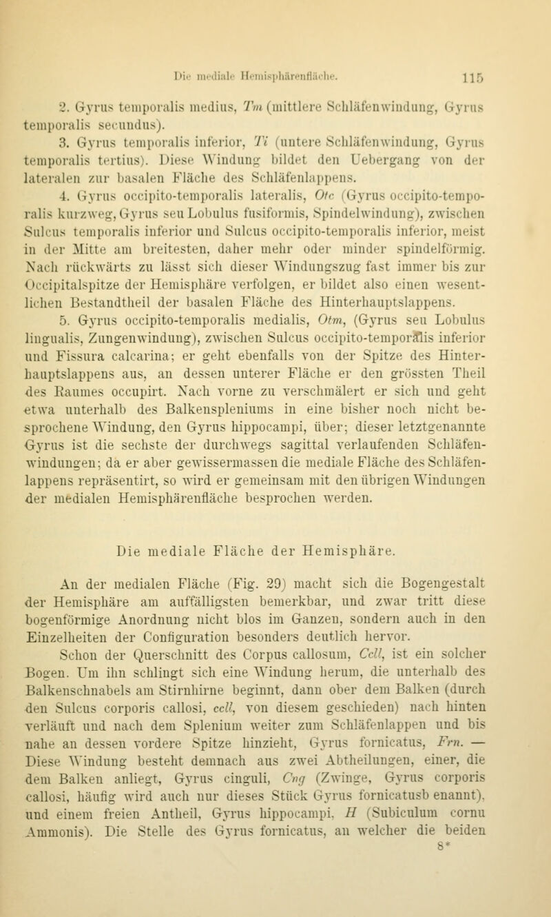 Die mt'ilialr Hi'iiiisiihäp'nHäclit.'. \\f) 2. Gyriis temponilis medins, Tm (mittlere Scliläfenwiudung, Gyrus temporalis secimdus). 3. Gyrus temporalis inferior, Ti (untere Schläfenwindung, Gyrus temporalis tertius). Diese Windung bildet den Uebergang von der lateralen zur basalen Fläche des Schläfenlappens. 4. Gyrus occipito-temporalis lateralis, 0fr (Gyrus occipito-tempo- ralis kurzweg, Gyrus seuLobulus fusiformis, Spindelwindung), zwischen Sulcus temporalis inferior und Sulcus occipito-temporalis inferior, meist in der Mitte am breitesten, daher mehr oder minder spindelförmig. Nach rückwärts zu lässt sich dieser Windungszug fast immer bis zur Occipitalspitze der Hemisphäre verfolgen, er bildet also einen wesent- lichen Bestandtheil der basalen Fläche des Hiuterhauptslappens. 5. Gyrus occipito-temporalis medialis, Otm, (Gyrus seu Lobulus lingualis, Zungenwindung), zwischen Sulcus occipito-temporflis inferior und Fissura calcarina; er geht ebenfalls von der Spitze des Hinter- hauptslappens aus, an dessen unterer Fläche er den grössten Theil des Raumes occupirt. Nach vorne zu verschmälert er sich und geht •etwa unterhalb des Balkenspleniums in eine bisher noch nicht be- sprochene Windung, den Gyrus hippocampi, über; dieser letztgenannte GjTUS ist die sechste der durchwegs sagittal verlaufenden Schläfen- wiuduugeu; da er aber gewissermassen die mediale Fläche des Schläfen- lappeus repräsentirt, so wird er gemeinsam mit den übrigen Windungen der medialen Hemisphäreufläche besprochen werden. Die mediale Fläche der Hemisphäre. An der medialen Fläche rB'ig. 29) macht sich die Bogengestalt der Hemisphäre am auffälligsten bemerkbar, und zwar tritt diese bogenförmige Anordnung nicht blos im Ganzen, sondern auch in den Einzelheiten der Configuration besonders deutlich hervor. Schon der Querschnitt des Corpus callosum. Cell, ist ein solcher Bogen. Um ihn schlingt sich eine Windung herum, die unterhalb des Balkenschnabels am Stirnhirne beginnt, dann ober dem Balken (durch den Sulcus corporis callosi, cell, von diesem geschieden) nach hinten verläuft und nach dem Splenium weiter zum Schläfenlappen und bis nahe an dessen vordere Spitze hinzieht, Gjtus fornicatus, Fm. — Diese Windung besteht demnach aus zwei Abtheilungen, einer, die dem Balken anliegt, Gyrus cinguli, Cng (Zwinge, Gyrus corporis callosi, häufig wird auch nur dieses Stück Gyrus fornicatusb enannt). und einem freien Antheil, Gyrus hippocampi. H (Subiculum cornu Ammonis). Die Stelle des Gyrus fornicatus, an welcher die beiden