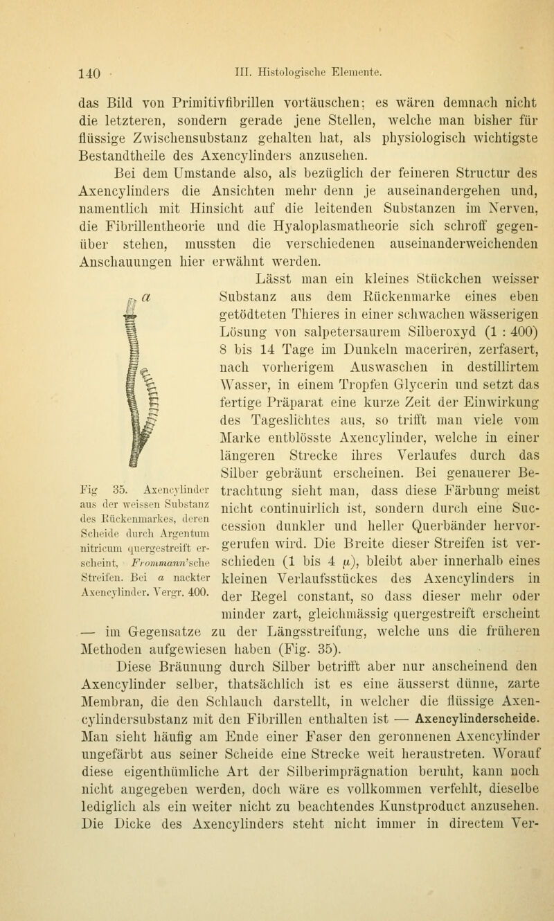 das Bild von Primitivfibrillen vortäuschen; es wären demnach nicht die letzteren, sondern gerade jene Stellen, welche man bisher für flüssige Zwischensubstanz gehalten hat, als physiologisch wichtigste Bestandtheile des Axencylinders anzusehen. Bei dem Umstände also, als bezüglich der feineren Structur des Axencylinders die Ansichten mehr denn je auseinandergehen und, namentlich mit Hinsicht auf die leitenden Substanzen im Nerven, die Fibrillentheorie und die Hyaloplasmatheorie sich schroff gegen- über stehen, mussten die verschiedenen auseinanderweichenden Anschauungen hier erwähnt werden. Lässt man ein kleines Stückchen weisser p-^ a Substanz aus dem Eückenmarke eines eben getödteten Thieres in einer schwachen wässerigen Lösung von salpetersaurem Silberoxyd (1 : 400) 8 bis 14 Tage im Dunkeln maceriren, zerfasert, nach vorherigem Auswaschen in destillirtem Wasser, in einem Tropfen Glycerin und setzt das fertige Präparat eine kurze Zeit der Einwirkung des Tagesli(2htes aus, so trifft man viele vom Marke entblösste Axencylinder, welche in einer längeren Strecke ihres Verlaufes durch das Silber gebräunt erscheinen. Bei genauerer Be- Fig 35. Axencylinder traclitung sieht man, dass diese Färbung meist aus der weissen Substanz ^^^1^^ continuirlich ist, sondern durch eine Suc- des Rückenmarkes, deren . i i i i r, n r\ i •• i i „ 1 -1 1 , . , cession dunkler und heller üuerbander hervor- Scheide durch Argentum o nitricum quero-estreift er- gerufen wird. Die Breite dieser streifen ist ver- scheint, -F/onmann'sche Schieden (1 bis 4 ft), bleibt aber innerhalb eines Streifen. Bei a nackter kleinen Veiiaufsstückes des Axencylinders in Axencylinder. \ ergr. 400. ^^^ Regel constant, SO dass dieser mehr oder minder zart, gleichmässig quergestreift erscheint — im Gegensatze zu der Längsstreifung, welche uns die früheren Methoden aufgewiesen haben (Fig. 35). Diese Bräunung durch Silber betrifft aber nur anscheinend den Axencylinder selber, thatsächlich ist es eine äusserst dünne, zarte Membran, die den Schlauch darstellt, in welcher die flüssige Axen- cylindersubstanz mit den Fibrillen enthalten ist — Axencylinderscheide. Man sieht häufig am Ende einer Faser den geronnenen Axencylinder ungefärbt aus seiner Scheide eine Strecke weit heraustreten. Worauf diese eigenthümliche Art der Silberimprägnation beruht, kann noch nicht angegeben werden, doch wäre es vollkommen verfehlt, dieselbe lediglich als ein weiter nicht zu beachtendes Kunstproduct anzusehen. Die Dicke des Axencylinders steht nicht immer in directem Ver-