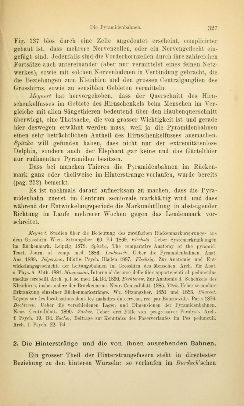 Fig. 137 blos durch eine Zelle augedeutet erscheint, complicirter gebaut ist, dass mehrere Nervenzelleu, oder eiu Nerveugefiecht ein- gefügt sind. Jedenfalls sind die Vorderhornzellen durch ihre zahlreichen Fortsätze auch untereinander (aber nur vermittelst eines feinen Netz- werkes), sowie mit solchen Nervenbahnen in Verbindung gebracht, die die Beziehungen zum Kleinhirn und den grossen Centralganglien des Grosshirns, sowie zu sensiblen Gebieten vermitteln. Meynert hat hervorgehoben, dass der Querschnitt des Hirn- schenkelfusses im Gebiete des Hirnschenkels beim Menschen im Ver- gleiche mit allen Säugethieren bedeutend über den Haubenquerschnitt überwiegt, eine Thatsache, die von grosser Wichtigkeit ist und gerade liier deswegen erwähnt werden muss, weil ja die Pyramidenbahnen einen sehr beträchtlichen Antheil des Hirnschenkelfusses ausmachen. Spitzku will gefunden haben, dass nicht nur der extremitätenlose Delphin, sondern auch der Elephant gar keine und das Gürtelthier nur rudimentäre P3'ramiden besitzen. Dass bei manchen Thieren die Pyramidenbahnen im Rücken- mark ganz oder theilweise im Hinterstrange verlaufen, wurde bereits (pag. 252) bemerkt. Es ist nochmals darauf aufmerksam zu machen, dass die Pyra- midenbahn zuerst im Centrum semiovale markhältig wird und dass während der Entwickelungsperiode die Markumhüllung in absteigender Richtung im Laufe mehrerer Wochen gegen das Lendenmark vor- schreitet. Meynert, Studien über die Bedeutung des zweifachen Rückenraarkursprunges aus dem Grosshirn. Wien. Sitzungsber. 60. Bd. 1869. Flechsig, Ueber Sj'stemerkrankungen im Rückenmark. Leipzig 1878. Spitzka, The comparative Anatomy of the pyramid. Tract. Journ. of comp. med. 1886. Lenhossek, Ueber die PjTamidenbahnen. Anat Anz. 1889. Jehfersma, Idiotie. Psych. Bladen 1887. Flechsig, Zur Anatomie und Ent- wickelungsgeschichte der Leitungsbahnen im Grosshirn des Menschen. Arch. für Anat. n. Phys. A Abth. 1881. Mingazzini, Intorno al decorso delle fibre appartenenti al pedunculus medius cerebelli. Arch. p. L sc. med. 14.Bd. 1890. Bechterew, Zur Anatomie d. Schenkels des Kleinhirns, insbesondere der Brückenanne. Neur. Centralblatt. 1885. Tiirk, Ueber secundäre Erkrankung einzelner Rückenmarkstränge. Wr. Sitzungsber. 1851 und 1853. Charcot, Le9ons sur les localisations dans les maladies du cerveau. rec. par Bourneville. Paris 1876. Bechtei-eic, Ueber die verschiedenen Lagen und Dimensionen der Pyramidenbahnen. Nenr. Centralblatt. 1890. Zacher, Ueber drei Fälle von progressiver Paralyse. Arch. f. Psych. 19. Bd. Zacher, Beiträge zur Kenntniss des Faserverlaufes im Pes pedunculi. Arch. f. Psvch. 22. Bd. 2. Die Hinterstränge und die von ihnen ausgehenden Bahnen. Ein grosser Theil der Hinterstrangsfasern steht in directester Beziehung zu den hinteren Wurzeln; so verlaufen im Bio-dach'sehen
