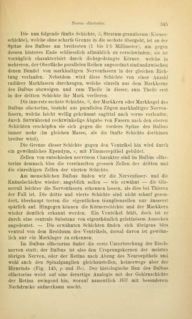NtTviis uU'ai'tdriiis. 3^^ Die min Iblgeude fünfte Schichte, .'>, Stratum giamilüsum (Kiiruer- schichte), welche ohne scharte Grenze in die sechste übergeht, ist an der Spitze des Bulbus am breitesten (1 bis 1-5 Millimeter), um j^egen dessen hinteres Ende schliesslich allmählich zu verschwinden; sie ist, vorzüglich charakterisirt durch dichtgedrängte Kürner, welche in mehreren, der OberHäche parallelen Reihen angeordnet sind undzwischen denen Bündel von markhaltigen Nervenfasern in der gleichen Ricli- tung verlaufen. Nebstdem wird diese Schichte von einer Anzahl radiärer Markfasern durchzogen, welche einzeln aus dem Markkerne des Bulbus abzweigen und zum Theile in dieser, zum Theile erst in der dritten Schichte ihr Mark verlieren. Die innerste sechste Schichte, 6', der Markkern oder Markkegel des Bulbus ofactorius, besteht aus parallelen Zügen markhaltiger Nerven- fasern, welche leicht wellig gekrümmt sagittal nach vorne verlaufen; durch fortwährend rechtwinkelige Abgabe von Fasern nach den oberen Schichten erschöpfen sie sich gegen die vordere Spitze des Bulbus immer mehr (im gleichen Masse, als die fünfte Schichte dortliinzu breiter wird). Die Grenze dieser Schichte gegen den Ventrikel hin wird durch ein gewöhnliches Ependym, <?, mit Flimmerepithel gebildet. Zellen von entschieden nervösem Charakter sind im Bulbus olfac- torius demnach blos die vereinzelten grossen Zellen der dritten und die einreihigen Zellen der vierten Schichte. Am menschlichen Bulbus finden wir die Nervenfaser- und die Knäuelschichte wieder; angeblich sollen — wie erwähnt — die Glo- meruli leichter die Nervenfasern erkennen lassen, als dies bei Thieren der Fall ist. Die dritte und vierte Schichte sind nicht scharf geson- dert, überhaupt treten die eigentlichen Ganglienzellen nur äusserst spärlich auf. Hingegen können die Körnerschichte und der Markkern wieder deutlich erkannt werden. Ein Ventrikel fehlt, doch ist er durch eine centrale Substanz von eigenthümlich gelatinösem Aussehen angedeutet. — Die erwähnten Schichten finden sich übrigens blos ventral von dem Residuum des Ventrikels, dorsal davon ist gewöhn- lich nur ein Marklager zu erkennen. Im Bulbus olfactorius findet die erste Unterbrechung der Riech- nerven statt; der Bulbus ist also den Ursprungskernen der meisten übrigen Nerven, oder der Retina nach Abzug des Neuroepithels und wohl auch den Spinalganglien gleichzustellen, keineswegs aber der Hirnrinde (Fig. 145, p und Bo). Der histologische Bau des Bulbus olfactorius weist auf eine derartige Analogie mit der Gehirnschichte der Retina zwingend hin, worauf namentlich HiU mit besonderem Nachdrucke aufmerksam macht.