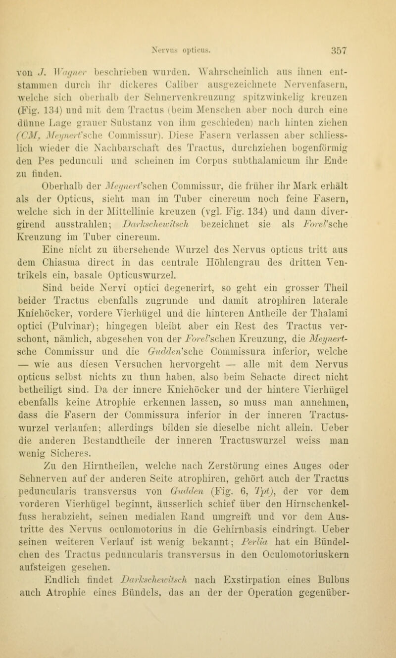 von ./. ]\^(i!inrr bescliiicbcu wurden. W'jilii'sclieinlicli aus ilint^i ent- stiininuMi (lurcli ilii- dickeres Caliber ansficzeiclinete Nervenfasern, welche sich oberhalb der Sehnervenkreuznng spitzwinkeli}^ kreuzen (Fi<;-. 131) und mit dem Tractus (beim Menschen aber noch durch eine diiinie Lage grauer Substanz von ihm geschieden) nach iiinten ziehen (CM. Mripiert'sche Commissur). Diese Fasern verlassen aber schliess- lich wieder die Nachbaischaft des Tractus, durciiziehen bogenföi-mig den Pes peduuculi und scheinen im Corpus sulithalaiuicum ilii- Ende zu linden. Oberhalb der il/f/y^fcr^'schen Commissur, die früher ihr Mark erhält als der Opticus, sieht man im Tuber cinereum noch feine Fasern, welche sich in der Mittellinie kreuzen (vgl. Fig. 134) und dann diver- girend ausstrahlen; Darlcschetvitsch bezeichnet sie als i^ore^'sche Kreuzung im Tuber cinereum. Eine nicht zu übersehende Wurzel des Nervus opticus tritt aus dem Chiasma direct in das centrale Hölüengrau des dritten Ven- trikels ein, basale Opticuswurzel. Sind beide Nervi optici degenerirt, so geht ein grosser Theil beider Tractus ebenfalls zugrunde und damit atropliiren laterale Kniehöcker, vordere Vierhügel und die hinteren Antheile der Thalami optici (Pulvinar); hingegen bleibt aber ein Rest des Tractus ver- schont, nämlich, abgesehen von der i^ore^schen Kreuzung, die Meymrt- sclie Commissur und die (rMcZcZen'sche Commissura inferior, welche — wae aus diesen Versuchen hervorgeht — alle mit dem Nervus opticus selbst nichts zu thun haben, also beim Sehacte direct nicht betheiligt sind. Da der innere Kniehöcker und der hintere Vierhügel ebenfalls keine Atrophie erkennen lassen, so muss man annehmen, dass die Fasern der Commissura inferior in der inneren Tractus- w^urzel verlaufen; allerdings bilden sie dieselbe nicht allein. Ueber die anderen Bestandtheile der inneren Tractuswurzel weiss man wenig Sicheres. Zu den Hirntheilen, welche nach Zerstörung eines Auges oder Sehnerven auf der anderen Seite atrophiren, gehört auch der Tractus peduncularis transversus von Gnaden (Fig. 6, Tpf), der vor dem vorderen Vierhügel beginnt, äusserlich schief über den Hirnschenkel- fuss herabzieht, seinen medialen Rand umgreift und vor dem Aus- tritte des Nervus oculomotorius in die Gehirnbasis eindringt. Ueber seinen weiteren Verlauf ist wenig bekannt; rerUa hat ein Bündel- chen des Tractus peduncularis transversus in den Oculomotoriuskern aufsteigen gesehen. Endlich findet Darlscheicitsch nach Exstirpation eines Bulbus auch Atrophie eines Bündels, das an der der Operation gegenüber-