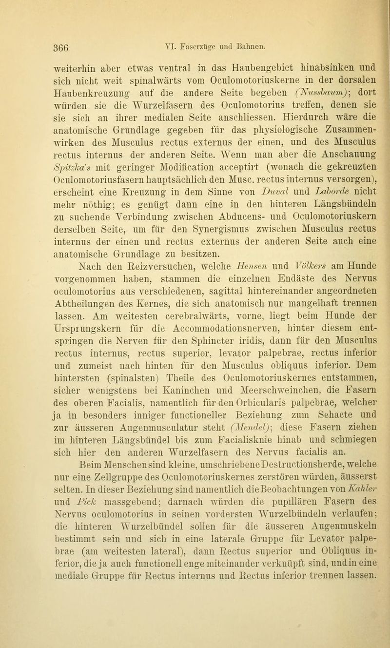 weiterhin aber etwas ventral in das Haubengebiet hinabsinken und sich nicht weit spinalwärts vom Oculomotoriuskerne m der dorsalen Haubenkreiizuüg- auf die andere Seite begeben CKvssJjavm); dort würden sie die Wurzelfasern des Oculomotorius treffen, denen sie sie sich an ihrer medialen Seite anschliessen. Hierdurch wäre die anatomische Grundlage gegeben für das phj^siologische Zusammen- wirken des Musculus rectus externus der einen, und des Musculus rectus internus der anderen Seite. Wenn man aber die Anschauung jSpitzJM's mit geringer Modification acceptirt (wonach die gekreuzten Oculomotoriusfasern hauptsächlich den Muse, rectus internus versorgen), erscheint eine Kreuzung in dem Sinne von Dnval und Lrihorde nicht mehr nöthig; es genügt dann eine in den hinteren Längsbündeln zu suchende Verbindung zwischen Abducens- und Oculomotoriuskern derselben Seite, um für den S3^nergismus zwischen Musculus rectus internus der einen und rectus externus der anderen Seite auch eine anatomische Grundlage zu besitzen. Nach den Reizversuchen, welche Hensen und Volkers am Hunde vorgenommen haben, stammen die einzelnen Endäste des Nervus oculomotorius aus verschiedenen, sagittal hintereinander angeordneten Abtheilungen des Kernes, die sich anatomisch nur mangelhaft trennen lassen. Am weitesten cerebralwärts, vorne, liegt beim Hunde der Ursprungskern für die Accommodationsnerven, hinter diesem ent- springen die Nerven für den Sphincter iridis, dann für den Musculus rectus internus, rectus superior, levator palpebrae, rectus inferior und zumeist nach hinten für den Musculus obliquus inferior. Dem hintersten (spinalsten) Theile des Oculomotoriuskernes entstammen, sicher wenigstens bei Kaninchen und Meerschweinchen, die Fasern des oberen Facialis, namentlich für den Orbicularis palpebrae, welcher ja in besonders inniger fiinctioneller Beziehung zum Sehacte und zur äusseren Augeumusculatur steht (Mendel)^ diese Fasern ziehen im hinteren Längsbündel bis zum Facialisknie hinab und schmiegen sich hier den anderen Wurzelfasern des Nervus facialis an. Beim Menschen sind kleine, umschriebene Destructionsherde, welche nur eine Zellgruppe des Oculomotoriuskernes zerstören würden, äusserst selten. In dieser Beziehung sind namentlich die Beobachtungen von Kahler und Pick massgebend; darnach würden die pupillären Fasern des Nervus oculomotorius in seinen vordersten Wurzelbündeln verlaufen; die hinteren Wurzelbündel sollen für die äusseren Augenmuskeln bestimmt sein und sich in eine laterale Gruppe für Levator palpe- brae (am weitesten lateral), dann Eectus superior und Obliquus in- ferior, die ja auch functionell enge miteinander verknüpft sind, und in eine mediale Gruppe für Rectus internus und Rectus inferior trennen lassen.