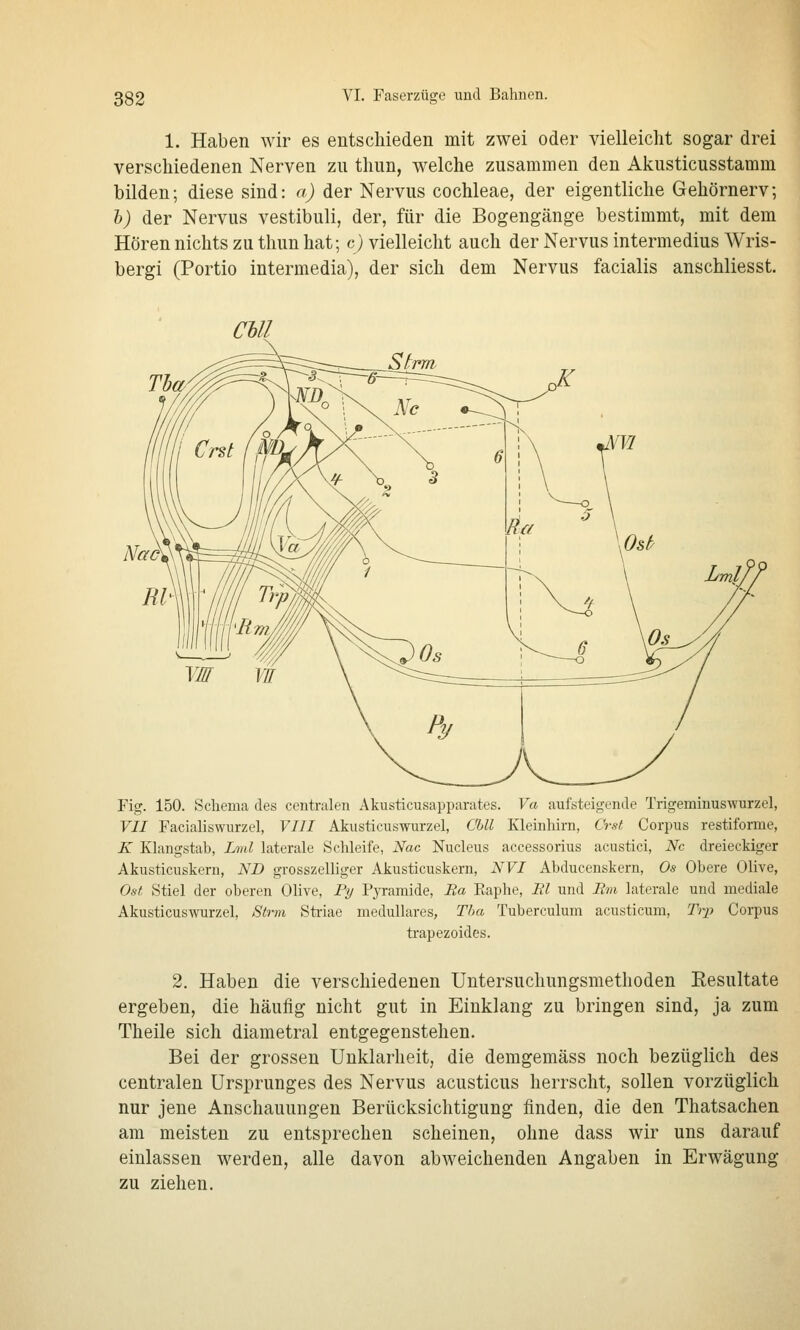 1. Haben wir es entschieden mit zwei oder vielleicht sogar drei verschiedenen Nerven zu thun, welche zusammen den Akusticusstamm bilden; diese sind: a) der Nervus Cochleae, der eigentliche Gehörnerv; h) der Nervus vestibuli, der, für die Bogengänge bestimmt, mit dem Hören nichts zu thun hat; c) vielleicht auch der Nervus intermedius Wris- bergi (Portio intermedia), der sich dem Nervus facialis anschliesst. CM Fig. 150. Schema des centralen Akusticusapparates. Va aufsteigende Trigeminus^¥urzel, VII Facialiswurzel, VIII Akusticuswurzel, CUl Kleinhirn, Crsi Corpus restiforme, K Klangstab, Linl laterale Schleife, Nac Nucleus accessorius acustici, Nc dreieckiger Akusticuskern, ND grosszelliger Akusticuskern, NVI Abducenskern, Os Obere Olive, Ost Stiel der oberen Olive, Py Pyramide, Ba Pwiphe, El und lim laterale und mediale Akusticuswurzel, Strm Striae medulläres, Tha Tuberculura acusticum, Trp Corpus trapezoides. 2. Haben die verschiedenen Untersuchungsmethoden Resultate ergeben, die häufig nicht gut in Einklang zu bringen sind, ja zum Theile sich diametral entgegenstehen. Bei der grossen Unklarheit, die demgemäss noch bezüglich des centralen Ursprunges des Nervus acusticus herrscht, sollen vorzüglich nur jene Anschauungen Berücksichtigung finden, die den Thatsachen am meisten zu entsprechen seheinen, ohne dass wir uns darauf einlassen werden, alle davon abweichenden Angaben in Erwägung zu ziehen.