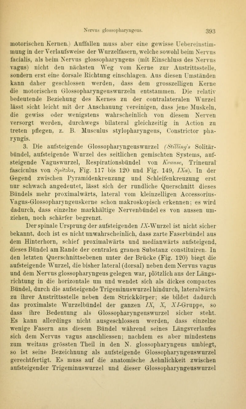 motorisclieu Kenieu. 1 Auttalleu uiuss aber eine gewisse Uebereiustim- luuug in der Verlaufsweise der Wurzelfasern, welche sowohl beim Nervus facialis, als beim Nervus glossopharyngeus (mit P^inschluss des Nervus vagus) nicht den nächsten Weg vom Kerne zur Austrittsstelle, sondern erst eine dorsale Richtung einschlagen. Aus diesen Umständen kann daher geschlossen werden, dass dem grosszelligen Kerne die motorischen Glossopharyngeuswurzeln entstammen. Die relativ bedeutende Beziehung des Kernes zu der contralateralen Wurzel lässt sieht leicht mit der Anschauung vereinigen, dass jene Muskeln, die gewiss oder wenigstens wahrscheinlich von diesem Nerven versorgt werden, durchwegs bilateral gleichzeitig in Action zu treten pflegen, z. B. Musculus stylopharyngeus, Constrictor pha- ryngis. 3. Die aufsteigende Glossopharyngeuswurzel (Sfillint/s Solitär- bündel, aufsteigende Wurzel des seitlichen gemischten Sj'stems, auf- steigende Yaguswurzel, Respirationsbündel von Krause, Trineural fasciculus von Spifzhi, Fig. 117 bis 120 und Fig. 149, IXa). Tn der Gegend zwischen Pyramidenkreuzung und Schleifenkreuzung erst nur schwach angedeutet, lässt sich der rundliche Querschnitt dieses Bündels mehr proximalwärts, lateral vom kleinzelligen Accessorius- Vagus-Glossopharjngeuskerne schon makroskopisch erkennen; es wird dadurch, dass einzelne markhältige Nervenbündel es von aussen um- ziehen, noch schärfer begrenzt. Der spinale Ursprung der aufsteigenden /A'-Wurzel ist nicht sicher bekannt, doch ist es nicht unwahrscheinlich, dass zarte Faserbündel aus dem Hinterhorn, schief proximalwärts und medianwärts aufsteigend, dieses Bündel am Rande der centralen grauen Substanz constituiren. In den letzten Querschnittsebenen unter der Brücke (Fig. 120) biegt die aufsteigende Wurzel, die bisher lateral (dorsal) neben dem Nervus vagus und dem Nervus glossopharyngeus gelegen war, plötzlich aus der Längs- richtung in die horizontale um und wendet sich als dickes compactes Bündel, durch die aufsteigende Trigeminuswurzel hindurch, lateralwärts zu ihrer Austrittsstelle neben dem Strickkörper; sie bildet dadurch das proximalste Wurzelbündel der ganzen IX, X, A'/-Gruppe, so dass ihre Bedeutung als Glossopharyngeuswurzel sicher steht. Es kann allerdings nicht ausgeschlossen werden, dass einzelne ■wenige Fasern aus diesem Bündel während seines Längsverlaufes sich dem Nervus vagus anschliessen; nachdem es aber mindestens zum weitaus grössten Theil in den N. glossopharyngeus umbiegt, so ist seine Bezeichnung als aufsteigende Glossopharyngeuswurzel gerechtfertigt. Es muss auf die anatomische Aehnlichkeit zwischen aufsteigender Trigeminuswurzel und dieser Glossopharyngeuswurzel