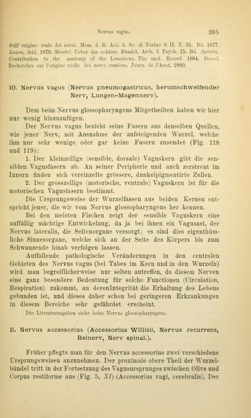 SuU'ori^'iiK' reale ilei nervi. Mem. d. IL Acc. il. Sc. di Torino S.U. T. 31. Jjd. 1877. Laura, ibid. 1879. Mendel, lieber das solitäre Bündel. Arch. f. Psych. 15. Bd. Spltzha, Contribution to tho anatoniy of the Lemniscus. The med. Record 1884. Ducal, Reclierches sur rori''iiio reelle des nervs craniens. Journ. de l'Anat. 1880. 10. Nervus vagus (Nervus pneumogastricus, herumschweifender Nerv, Lungen-Magennerv). Dem beim Nervus glossopbaryngeus Mitgetheilten haben wir hier nur Avenig liinzuzufügen. Der Nervus vagus bezielit seine Fasern aus denselben Quellen, wie jener Nerv, mit Ausnahme der aufsteigenden Wurzel, welche ilim nur sehr wenige oder gar keine Fasern zusendet (Fig. 118 und 119): 1. Der kleinzellige (sensible, dorsale) Vaguskern gibt die sen- siblen Vagusfasern ab. An seiner Peripherie und auch zerstreut im Innern rinden sich vereinzelte grössere, dunkelpigmentirte Zellen. 2. Der grosszellige (motorische, ventrale) Vaguskern ist für die motorischen Vagusfasern bestimmt. Die Ursprungsweise der Wurzelfassen aus beiden Kernen ent- spricht jener, die wir vom Nervus glossopharyngeus her kennen. Bei den meisten Fischen zeigt der sensible Vaguskern eine auffällig mächtige Entwickelung, da ja bei ihnen ein Vagusast, der Nervus lateralis, die Seitenorgane versorgt; es sind dies eigenthüm- liche Sinnesorgane, welche sich an der Seite des Körpers bis zum Schwanzende hinab verfolgen lassen. Auffallende pathologische Veränderungen in den centralen Gebieten des Nervus vagus (bei Tabes im Kern und in den Wurzeln) wird man begreiflicherweise nur selten antreffen, da diesem Nerven eine ganz besondere Bedeutung für solche Functionen (Circulation, Respiration) zukommt, an derenintegrität die Erhaltung des Lebens gebunden ist, und dieses daher schon bei geringeren Erkrankungen in diesem Bereiche sehr gefährdet erscheint. Die Literaturangaben siehe beim Nervus glossopharyngeus. 11. Nervus accessorius (Accessorius Willisii, Nervus recurrens, Beinerv, Nerv spinal.). Früher pflegte man für den Nervus accessorius zwei verschiedene Ursprungsweisen anzunehmen. Der proximale obere Theil der Wurzel- bündel tritt in der Fortsetzung des Vagusursprunges zwischen Olive und Corpus restiforme aus (Fig. 5, A7) (Accessorius vagi, cerebralis). Der