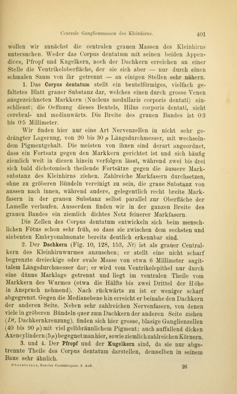 Ci'iitnilo (!;uii,Mir'iiiiias.srn des Kloinhiriis. 4()1 Avollen wir zuuächst die ceutralen grauen Massen des Kleinhirns untersuchen. Weder das Corpus dentatnm mit seineu beiden Appen- dices, Pfropf und Kugelkern, noch der Dachkern erreichen au einer Stelle die Ventrikelobertiäche, der sie sich aber — nur durch einen schmalen Saum von ihr getrennt — an einigen Stellen sehr nähern. 1. Das Corpus dentatum stellt ein beuteiförmiges, vielfach ge- faltetes Blatt grauer Substanz dar, welches einen durch grosse Venen ausgezeichneten IMarkkern (Nucleus medullaris corporis dentati) ein- schliesst; die Oelfnung dieses Beutels, Hilus corporis dentati, sieht cerebral- und medianwärts. Die Breite des grauen Bandes ist 0'3 bis 0-5 Millimeter. Wir finden hier nur eine Art Nervenzellen in nicht sehr ge- drängter Lagerung, von 20 bis 30 [i Längsdurchmesser, mit wechseln- dem Pigmentgehalt. Die meisten von ihnen sind derart angeordnet, dass ein Fortsatz gegen den Markkeru gerichtet ist und sich häufig ziemlich weit in diesen hinein verfolgen lässt, während zwei bis drei sich bald dichotomisch theilende Fortsätze gegen die äussere Mark- substanz des Kleinhirns ziehen. Zahlreiche Markfasern durchsetzen, ohne zu gröberen Bündeln vereinigt zu sein, die graue Substanz von aussen nach innen, während andere, gelegentlich recht breite Mark- fasern in der grauen Substanz selbst parallel zur Oberfläche der Lamelle verlaufen. Ausserdem finden wir in der ganzen Breite des grauen Bandes ein ziemlich dichtes Netz feinerer Markfasern. Die Zellen des Corpus dentatum entwickeln sich beim mensch- lichen Fötus schon sehr früh, so dass sie zwischen dem sechsten und siebenten Embryonalmonate bereits deutlich erkennbar sind. 2. Der Dachkern (Fig. 10, 128, 153, Nt) ist als grauer Central- kern des Kleinhirnwurmes anzusehen; er stellt eine nicht scharf begrenzte dreieckige oder ovale Masse von etwa 6 Millimeter sagit- talem Längsdurchmesser dar; er wird vom Ventrikelepithel nur durch eine dünne Marklage getrennt und liegt im ventralen Theile vom Markkern des Wurmes (etwa die Hälfte bis zwei Drittel der Höhe in Anspruch nehmend). Nach rückwärts zu ist er weniger scharf abgegrenzt. Gegen die Medianebene hin erreicht er beinahe den Dachkern der anderen Seite. Neben sehr zahlreichen Nervenfasern, von denen viele in gröberen Bündeln quer zum Dachkern der anderen Seite ziehen {Dt, Dachkernkreuzung), finden sich hier grosse, blasige Ganglienzellen (40 bis 90 ^i)mit viel gelbbräunlichem Pigment; auch auffallend dicken Axencylindern (5 ,a) begegnet man hier, sowie ziemlich zahlreichen Körnern. 3. und 4. Der Pfropf und der Kugelkern sind, da sie nur abge- trennte Theile des Corpus dentatum darstellen, demselben in seinem Baue sehr ähnlich. Obersteincr, Nervöse Ceutralorgaue. 2. Aufl. Oß
