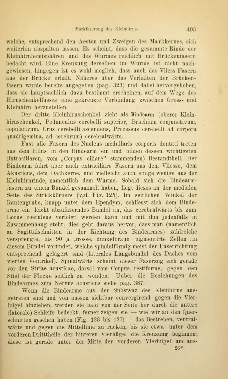 welche, entspreclieiid den Aesteii uud Zweigen des Markkernes, sicli weiterljin abspalten lassen. Es scheint, dass die gesannnte Rinde der Kleinhirnlieniisphären und des Wurmes reichlicli mit Brückenfasern bedacht wird. Eine Kreuzung derselben im Wurme ist nicht nach- gewiesen, hingegen ist es wohl möglich, dass auch das Vliess Fasern aus der Brücke erhält. Näheres über das Verhalten der Brücken- fasein wurde bereits angegeben (pag. 323) und dabei hervorgehoben, dass sie hauptsächlich dazu bestimmt erscheinen, auf dem Wege des Hirnschenkelfusses eine gekreuzte Verbindung zwischen Gross- und Kleinhirn herzustellen. Der dritte Kleiuhirnschenkel zieht als Bindearm (oberer Klein- hirnschenkel, Pedunculus cerebelli superior, Brachium conjunctivum, copulativum, Crus cerebelli ascendens, Processus cerebelli ad corpora (luadrigemina, ad cerebrum) cerebralwärts. Fast alle Fasern des Xucleus meduUaris corporis dentati treten aus dem Hilus in den Bindearm ein und bilden dessen wichtigsten (intraciliaren, vom „Corpus ciliare' stammenden) Bestandtheil. Der Bindearm führt aber auch extraciliare Fasern aus dem Vliesse, dem Akusticus, dem Dachkerne, und. vielleicht auch einige wenige aus der Kleinhirnrinde, namentlich dem Wurme. Sobald sich die Bindearm- fasern zu einem Bündel gesammelt haben, liegt dieses an der medialen Seite des Strickkörpers (vgl. Fig. 125). Im seitlichen Winkel der Eautengrube, knapp unter dem Ependym, schliesst sich dem Binde- arme ein leicht abzufaserndes Bündel an, das cerebralwärts bis zum Locus coeruleus verfolgt werden kann und mit ihm jedenfalls in Zusammenhang steht; dies geht daraus hervor, dass man (namentlich an Sagittalschnitten in der Richtung des Bindearmes) zahlreiche versprengte, bis 90 (i grosse, dunkelbraun pigmentirte Zellen in diesem Bündel vorfindet, w'elche spindelförmig meist der Faserrichtung entsprechend gelagert sind (laterales Längsbündel des Daches vom vierten Ventrikel). Spinalwärts scheint dieser Faserzug sich gerade vor den Striae acusticae, dorsal vom Corpus restiforme, gegen den Stiel der Flocke seitlich zu wenden. Ueber die Beziehungen des Bindearmes zum Nervus acusticus siehe pag. 387. Wenn die Biudearme aus der Substanz des Kleinhirns aus- getreten sind und von aussen sichtbar convergirend. gegen die Vier- hügel hinziehen, werden sie bald von der Seite her durch die untere (laterale) Schleife bedeckt; ferner zeigen sie — wie wir an den Quer- schnitten gesehen haben (Fig. 123 bis 127) — das Bestreben, ventral- wärts und gegen die Mittellinie zu rücken, bis sie etwa unter dem vorderen Dritttheile der hinteren Vierhügel die Kreuzung beginnen; diese ist gerade unter der Mitte der vorderen Vierhügel am aus- 26*