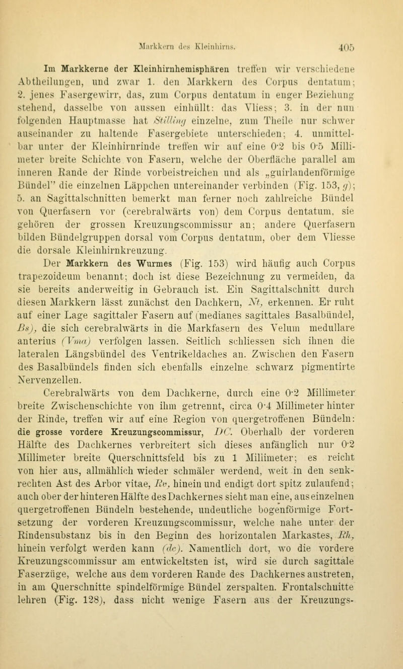Im Markkerue der Kleinhirnhemisphären trett'cn wir verschiedene Abtbeiliiugeu, imd zwar 1. den Markkern des Corpus dentatum; 2. jenes Fasergewirr, das, zum Corpus dentatum in enger Beziehung stehend, dasselbe von aussen einhüllt: das Vliess; 3. in der nun folgenden Hauptmasse hat t^ti/lin;/ einzelne, zum Theile nur schwer auseinander zu haltende Fasergebiete unterschieden; 4. unmittel- bar unter der Kleinhirnrinde treffen wir auf eine 0'2 bis 05 Milli- meter breite Schichte von Fasern, welche der Oberfläche parallel am inneren Rande der Rinde vorbeistreicheu und als „guirlandenförmige Bündel'' die einzelnen Läppchen untereinander verbinden (Fig. 153, .y); 5. an Sagittalschnitten bemerkt man ferner noch zahlreiche Bündel von Querfasern vor (cerebralwärts von) dem Corpus dentatum, sie gehören der grossen Kreuzungscommissur an; andere Querfasern bilden Büudelgruppen dorsal vom Corpus dentatum, ober dem Vliesse die dorsale Kleinhirnkreuzung. Der Markkem des Wurmes (Fig. 153) wird häufig auch Corpus trapezoideum benannt; doch ist diese Bezeichnung zu vermeiden, da sie bereits anderweitig in Gebrauch ist. Ein Sagittalschnitt durch diesen Markkern lässt zunächst den Dachkern, Xf, erkennen. Er ruht auf einer Lage sagittaler Fasern auf (medianes sagittales ßasalbündel, JJtfj;, die sich cerebralwärts in die Markfasern des Yelum medulläre anterius (Vma) verfolgen lassen. Seitlich schliesseu sich ihnen die lateralen Längsbündel des Yentrikeldaches an. Zwischen den Fasern des Basalbüudels finden sich ebenfalls einzelne schwarz pigmentirte Nervenzellen. Cerebralwärts von dem Dachkerne, durch eine 0*2 Millimeter breite Zwischenschichte von ihm getrennt, circa 0*4 Millimeter hinter der Rinde, treffen wir auf eine Region von quergetroftenen Bündeln: die grosse vordere Kreuzungscommissur, DC Oberhalb der vorderen Hälfte des Dachkernes verbreitert sich dieses anfänglich nui' 0*2 Millimeter breite Querschnittsfeld bis zu 1 Millimeter; es reicht von hier aus, allmählich wieder schmäler werdend, weit in den senk- rechten Ast des Arbor vitae, Bv, hinein und endigt dort spitz zulaufend; auch ober der hinteren Hälfte des Dachkernes sieht man eine, aus einzelnen quergetroffenen Bündeln bestehende, undeutliche bogenförmige Fort- setzung der vorderen Kreuzungscommissur, welche nahe unter der Rindensubstanz bis in den Beginn des horizontalen Markastes, Rh, hinein verfolgt werden kann (de). Namentlich dort, wo die vordere Kreuzungscommissur am entwickeltsten ist, wird sie durch sagittale Faserzüge, welche aus dem vorderen Rande des Dachkernes austreten, in am Querschnitte spindelförmige Bündel zerspalten. Frontalschnitte lehren (Fig. 128), dass nicht wenige Fasern aus der Kreuzungs-