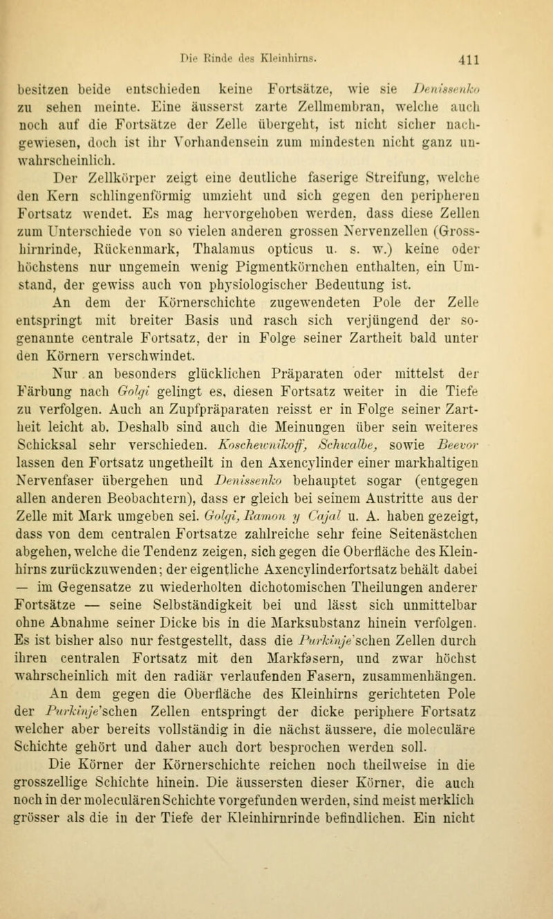 besitzen beide entschieden keine Fortsätze, wie sie Denissetiko zu sehen meinte. Eine äusserst zarte Zelhnembran, welche auch noch auf die Fortsätze der Zelle übergeht, ist nicht sicher nach- gewiesen, doch ist ihr Vorhandensein zum mindesten nicht ganz un- wahrscheinlich. Der Zellkörper zeigt eine deutliche faserige Streifung, welche den Kern schlingenfürmig umzieht und sich gegen den peripheren Fortsatz wendet. Es mag hervorgehoben werden, dass diese Zellen zum Unterschiede von so vielen anderen grossen Nervenzellen (Gross- liirnrinde, Rückenmark, Thalamus opticus u. s. w.) keine oder höchstens nur ungemein wenig Pigmentkörnchen enthalten, ein Um- stand, der gewiss auch von physiologischer Bedeutung ist. An dem der Körnerschichte zugewendeten Pole der Zelle entspringt mit breiter Basis und rasch sich verjüngend der so- genannte centrale Fortsatz, der in Folge seiner Zartheit bald unter den Körnern verschwindet. Nur an besonders glücklichen Präparaten oder mittelst der Färbung nach Golgi gelingt es, diesen Fortsatz weiter in die Tiefe zu verfolgen. Auch an Zupfpräparaten reisst er in Folge seiner Zart- heit leicht ab. Deshalb sind auch die Meinungen über sein weiteres Schicksal sehr verschieden. Koscheicnikoff, Schwalbe, sowie Beevcn- lassen den Fortsatz ungetheilt in den Axencylinder einer markhaltigen Nervenfaser übergehen und Denissenko behauptet sogar (entgegen allen anderen Beobachtern), dass er gleich bei seinem Austritte aus der Zelle mit Mark umgeben sei. Golgi, Ramon y Cajal u. A. haben gezeigt, dass von dem centralen Fortsatze zahlreiche sehr feine Seitenästchen abgehen, welche die Tendenz zeigen, sich gegen die Oberfläche des Klein- hirns zurückzuwenden; der eigentliche Axencylinderfortsatz behält dabei — im Gegensatze zu wiederholten dichotomischen Theilungen anderer Fortsätze — seine Selbständigkeit bei und lässt sich unmittelbar ohne Abnahme seiner Dicke bis in die Marksubstanz hinein verfolgen. Es ist bisher also nur festgestellt, dass die Purkinje soh^n Zellen durch ihren centralen Fortsatz mit den Markfasern, und zwar höchst wahrscheinlich mit den radiär verlaufenden Fasern, zusammenhängen. An dem gegen die Oberfläche des Kleinhirns gerichteten Pole der Purkinje soh^n Zellen entspringt der dicke periphere Fortsatz welcher aber bereits vollständig in die nächst äussere, die moleculäre Schichte gehört und daher auch dort besprochen werden soll. Die Körner der Körnerschichte reichen noch theilweise in die grosszellige Schichte hinein. Die äussersten dieser Körner, die auch noch in der moleculären Schichte vorgefunden werden, sind meist merklich grösser als die in der Tiefe der Kleinhirurinde befindlichen. Ein nicht