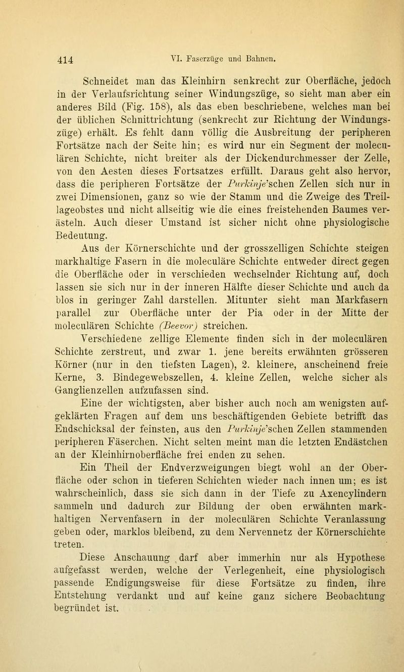 Schneidet man das Kleinhirn senkrecht zur Oberfläche, jedoch in der Verlaufsrichtung seiner Windungszüge, so sieht man aber ein anderes Bild (Fig. 158), als das eben beschriebene, welches man bei der üblichen Schnittrichtung (senkrecht zur Richtung der Windungs- züge) erhält. Es fehlt dann völlig die Ausbreitung der peripheren Fortsätze nach der Seite hin; es wird nur ein Segment der molecu- lären Schichte, nicht breiter als der Dickendurchmesser der Zelle, von den Aesten dieses Fortsatzes erfüllt. Daraus geht also hervor, dass die peripheren Fortsätze der Pnrkinje'sch.exi Zellen sich nur in zwei Dimensionen, ganz so wie der Stamm und die Zweige des Treil- lageobstes und nicht allseitig wie die eines freistehenden Baumes ver- ästeln. Auch dieser Umstand ist sicher nicht ohne physiologische Bedeutung. Aus der Körnerschichte und der grosszelligen Schichte steigen markhaltige Fasern in die moleculäre Schichte entweder direct gegen die Oberfläche oder in verschieden wechselnder Richtung auf, doch lassen sie sich nur in der inneren Hälfte dieser Schichte und auch da blos in geringer Zahl darstellen. Mitunter sieht man Markfasern parallel zur Oberfläche unter der Pia oder in der Mitte der moleculären Schichte (Beevor) streichen. Verschiedene zellige Elemente finden sich in der moleculären Schichte zerstreut, und zwar 1. jene bereits erwähnten grösseren Körner (nur in den tiefsten Lagen), 2. kleinere, anscheinend freie Kerne, 3. Bindegewebszellen, 4. kleine Zellen, welche sicher als Ganglienzellen aufzufassen sind. Eine der wichtigsten, aber bisher auch noch am wenigsten auf- geklärten Fragen auf dem uns beschäftigenden Gebiete betrifft das Endschicksal der feinsten, aus den Purkinje'sehen Zellen stammenden peripheren Fäserchen. Nicht selten meint man die letzten Endästchen an der Kleinhirn Oberfläche frei enden zu sehen. Ein Theil der Endverzweigungen biegt wohl an der Ober- fläche oder schon in tieferen Schichten wieder nach innen um; es ist wahrscheinlich, dass sie sich dann in der Tiefe zu Axencylindern sammeln und dadurch zur Bildung der oben erwähnten mark- haltigen Nervenfasern in der moleculären Schichte Veranlassung geben oder, marklos bleibend, zu dem Nervennetz der Körnerschichte treten. Diese Anschauung ^ darf aber immerhin nur als Hypothese aufgefasst werden, welche der Verlegenheit, eine physiologisch passende Endigungsweise für diese Fortsätze zu finden, ihre Entstehung verdankt und auf keine ganz sichere Beobachtung begründet ist.