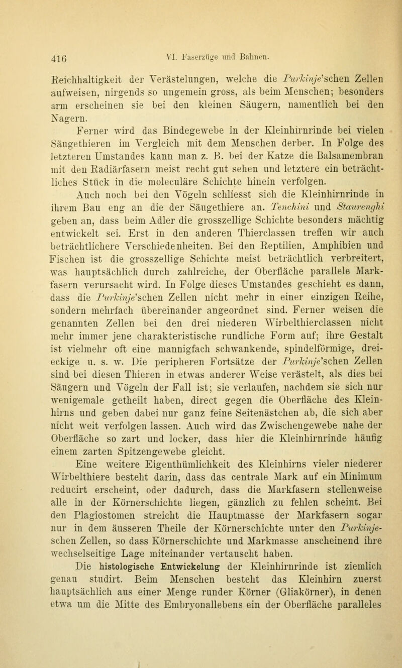 Reichhaltigkeit der Verästelungen, welche die Purkinje'sehen Zellen aufweisen, nirgends so ungemein gross, als beim Menschen; besonders arm erscheinen sie bei den kleinen Säugern, namentlich bei den Nagern. Ferner wird das Bindegewebe in der Kleinhirnrinde bei vielen Säugethieren im Vergleich mit dem Menschen derber. In Folge des letzteren Umstandes kann man z. B. bei der Katze die Balsamembran mit den Radiärfasern meist recht gut sehen und letztere ein beträcht- liches Stück in die moleculäre Schichte hinein verfolgen. Auch noch bei den Vögeln schliesst sich die Kleinhirnrinde in ihrem Bau eng an die der Säugethiere an. TencMni und Stmirenghi geben an, dass beim Adler die grosszellige Schiebte besonders mächtig entwickelt sei. Erst in den anderen Thierclassen treffen wir auch beträchtlichere Verschiedenheiten. Bei den Reptilien, Amphibien und Fischen ist die grosszellige Schichte meist beträchtlich verbreitert, was hauptsächlich durch zahlreiche, der Oberfläche parallele Mark- fasern verursacht wird. In Folge dieses Umstandes geschieht es dann, dass die Purkinje'sehen Zellen nicht mehr in einer einzigen Reihe, sondern mehrfach übereinander angeordnet sind. Ferner weisen die genannten Zellen bei den drei niederen Wirbelthierclassen nicht mehr immer jene charakteristische rundliche Form auf; ihre Gestalt ist vielmehr oft eine mannigfach schwankende, spindelförmige, drei- eckige u. s. w. Die peripheren Fortsätze der Purkinje'schen Zellen sind bei diesen Thieren in etwas anderer Weise verästelt, als dies bei Säugern und Vögeln der Fall ist; sie verlaufen, nachdem sie sich nur wenigemale getheilt haben, direct gegen die Oberfläche des Klein- hirns und geben dabei nur ganz feine Seitenästchen ab, die sich aber nicht weit verfolgen lassen. Auch wird das Zwischengewebe nahe der Oberfläche so zart und locker, dass hier die Kleinhirnrinde häufig einem zarten Spitzengewebe gleicht. Eine weitere Eigenthümlichkeit des Kleinhirns vieler niederer Wirbelthiere besteht darin, dass das centrale Mark auf ein Minimum reducirt erscheint, oder dadurch, dass die Markfasern stellenweise alle in der Körnerschichte liegen, gänzlich zu fehlen scheint. Bei den Plagiostomen streicht die Hauptmasse der Markfasern sogar nur in dem äusseren Theile der Körnerschichte unter den Purkinje- schen Zellen, so dass Körnerschichte und Markmasse anscheinend ihre wechselseitige Lage miteinander vertauscht haben. Die histologische Entwickelung der Kleinhirnrinde ist ziemlich genau studirt. Beim Menschen besteht das Kleinhirn zuerst hauptsächlich aus einer Menge runder Körner (Gliakörner), in denen etwa um die Mitte des Embrj'onallebens ein der Oberfläche paralleles