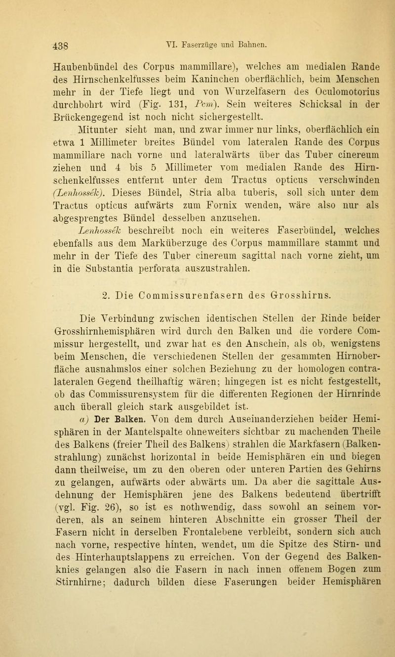 Haubenbündel des Corpus mammillare), welches am medialen Rande des Hlrnschenkelfusses beim Kaninchen oberflächlich, beim Menschen mehr in der Tiefe liegt und von Wurzelfasern des Oculomotorius durchbohrt wird (Fig. 131, Pcm). Sein weiteres Schicksal in der Brückengegend ist noch nicht sichergestellt. Mitunter sieht man, und zwar immer nur links, oberflächlich ein etwa 1 Millimeter breites Bündel vom lateralen Rande des Corpus mammillare nach vorne und lateralwärts über das Tuber cinereum ziehen und 4 bis 5 Millimeter vom medialen Rande des Hirn- schenkelfusses entfernt unter dem Tractus opticus verschwinden (Lenhossek). Dieses Bündel, Stria alba tuberis, soll sich unter dem Tractus opticus aufwärts zum Fornix wenden, wäre also nur als abgesprengtes Bündel desselben anzusehen. Lenhossek beschreibt noch ein weiteres Faserbündel, welches ebenfalls aus dem Marküberzuge des Corpus mammillare stammt und mehr in der Tiefe des Tuber cinereum sagittal nach vorne zieht, um in die Substantia perforata auszustrahlen. 2. Die Commissurenfasern des Grosshirns. Die Verbindung zwischen identischen Stelleu der Rinde beider Grosshirnhemisphären wird durch den Balken und die vordere Com- missur hergestellt, und zwar hat es den Anschein, als ob, wenigstens beim Menschen, die verschiedenen Stellen der gesammten Hirnober- fläche ausnahmslos einer solchen Beziehung zu der homologen contra- lateralen Gegend theilhaftig wären; hingegen ist es nicht festgestellt, ob das Commissurensystem für die differenten Regionen der Hii^nrinde auch überall gleich stark ausgebildet ist. a) Der Balken. Von dem durch Auseiuauderziehen beider Hemi- sphären in der Mantelspalte ohneweiters sichtbar zu machenden Theile des Balkens (freier Theil des Balkens) strahlen die Markfasern (Balken- strahlung) zunächst horizontal in beide Hemisphären ein und biegen dann theilweise, um zu den oberen oder unteren Partien des Gehirns zu gelangen, aufwärts oder abwärts um. Da aber die sagittale Aus- dehnung der Hemisphären jene des Balkens bedeutend übertrifft (vgl. Fig. 26), so ist es nothwendig, dass sowohl an seinem vor- deren, als an seinem hinteren Abschnitte ein grosser Theil der Fasern nicht in derselben Frontalebene verbleibt, sondern sich auch nach vorne, respective hinten, wendet, um die Spitze des Stirn- und des Hinterhauptslappens zu erreichen. Ton der Gegend des Balken- knies gelangen also die Fasern in nach innen oltenem Bogen zum Stirnhirne; dadurch bilden diese Faserungen beider Hemisphären