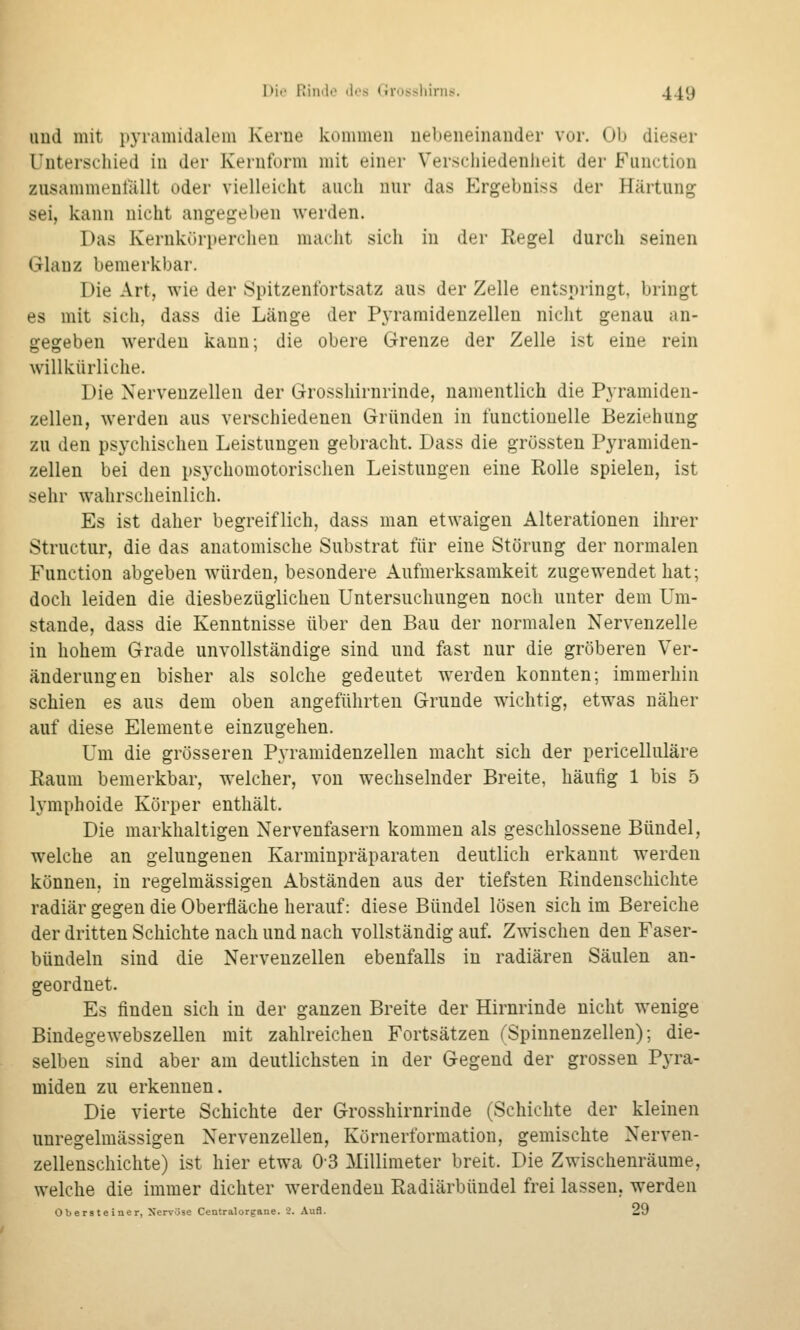 und mit i»yiamidalem Kerne kommen nebeneinander vor. Ob dieser Unterschied in der Kernform mit einer Verschiedenheit der Function zusammenfällt oder vielleicht auch nur das Ergebniss der Härtung sei, kann nicht angegeben werden. Das Kernkürperchen macht sich in der Regel durch seinen Glanz bemerkbar. Die Art, wie der Spitzentbrtsatz aus der Zelle entspringt, bringt es mit sich, dass die Länge der Pj'ramidenzellen nicht genau an- gegeben werden kann; die obere Grenze der Zelle ist eine rein willkürliche. Die Nervenzellen der Grosshirnrinde, namentlich die Pyramiden- zellen, werden aus verschiedenen Gründen in functionelle Beziehung zu den psychischen Leistungen gebracht. Dass die grössten Pyramiden- zellen bei den psychomotorischen Leistungen eine Rolle spielen, ist sehr wahrscheinlich. Es ist daher begreiflich, dass man etwaigen Alterationen ihrer Structur, die das anatomische Substrat für eine Störung der normalen Function abgeben würden, besondere Aufmerksamkeit zugewendet hat; doch leiden die diesbezüglichen Untersuchungen noch unter dem Um- stände, dass die Kenntnisse über den Bau der normalen Nervenzelle in hohem Grade unvollständige sind und fast nur die gröberen Ver- änderungen bisher als solche gedeutet werden konnten; immerhin schien es aus dem oben angeführten Grunde wichtig, etwas näher auf diese Elemente einzugehen. Um die grösseren Pj'ramidenzellen macht sich der pericelluläre Raum bemerkbar, welcher, von wechselnder Breite, häufig 1 bis 5 lymphoide Körper enthält. Die markhaltigen Nervenfasern kommen als geschlossene Bündel, welche an gelungenen Karminpräparaten deutlich erkannt werden können, in regelmässigen Abständen aus der tiefsten Rindenschichte radiär gegen die Oberfläche herauf: diese Bündel lösen sich im Bereiche der dritten Schichte nach und nach vollständig auf. Zwischen den Faser- bündeln sind die Nervenzellen ebenfalls in radiären Säulen an- geordnet. Es finden sich in der ganzen Breite der Hirnrinde nicht wenige Bindegewebszellen mit zahlreichen Fortsätzen fSpinnenzellen); die- selben sind aber am deutlichsten in der Gegend der grossen Pyra- miden zu erkennen. Die vierte Schichte der Grosshirnrinde (Schichte der kleinen unregelmässigen Nervenzellen, Körnerformation, gemischte Nerven- zellenscliiclite) ist hier etwa 0'3 Millimeter breit. Die Zwischenräume, welche die immer dichter werdenden Radiärbündel frei lassen, werden OVj ers t e iner, XervJse Centralorgane. 2. Aufl. ^iJ