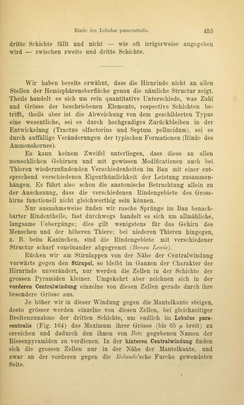 dritte Schichte fällt uud nicht — wie ott irrigerweise angegeben wird — zwischen zweite und dritte Schichte. Wir haben bereits erwähnt, dass die Hirnrinde nicht an allen Stellen der Hemisphärenoberfläche genau die nämliche Structur zeigt. Theils handelt es sich um rein quantitative Unterschiede, was Zahl und Grösse der beschriebenen Elemente, respective Schichten be- trifft, theils aber ist die Abweichung von dem geschilderten Typus eine wesentliche, sei es durch hochgradiges Zurückbleiben in der Entwickelung (Tractus olfactorius und Septum pellucidum), sei es durch auffällige Veränderungen der tj-pischen Formationen (Rinde des Ammonshornes). Es kann keinem Zweifel unterliegen, dass diese an allen menschlichen Gehirnen und mit gewissen Modificationen auch bei Thieren wiederzufindenden Verschiedenheiten im Bau mit einer ent- sprechend verschiedenen Eigenthümlichkeit der Leistung zusammen- hängen. Es führt also schon die anatomische Betrachtung allein zu der Anschauung, dass die verschiedenen Rindengebiete des Gross- hirns functionell nicht gleichwerthig sein können. Nur ausnahmsweise finden wir rasche Sprünge im Bau benach- barter Rindentheile, fast durchwegs handelt es sich um allmähliche, langsame Tebergänge; dies gilt wenigstens für das Gehirn des Menschen und der höhereu Thiere; bei niederen Thieren hingegen, z. B. beim Kaninchen, sind die Rindengebiete mit verschiedener Structur scharf voneinander abgegrenzt (Bevan Leici.sj. Rücken wir am Stirnlappen von der Nähe der Centralwindung vorwärts gegen den Stirnpol, so bleibt im Ganzen der Charakter der Hirnrinde unverändert, nur werden die Zellen in der Schichte der grossen Pyramiden kleiner. Umgekehrt aber zeichnen sich in der vorderen Centralwindung einzelne von diesen Zellen gerade durch ihre besondere Grösse aus. Je höher wir in dieser Windung gegen die Mantelkante steigen, desto grösser werden einzelne von diesen Zellen, bei gleichzeitiger Breiteuzunahme der dritten Schichte, um endlich im Lobulus para- centralis (Fig. 164) das Maximum ihrer Grösse (bis 65 (i breitj zu erreichen und dadurch den ihnen von Befz gegebenen Namen der Riesenpyramiden zu verdienen. In der hinteren Centralwindung finden sich die grossen Zellen nur in der Nähe der Mantelkante^ und zwar an der vorderen gegen die liolanf^'y&che Furche gewendeten Seite.