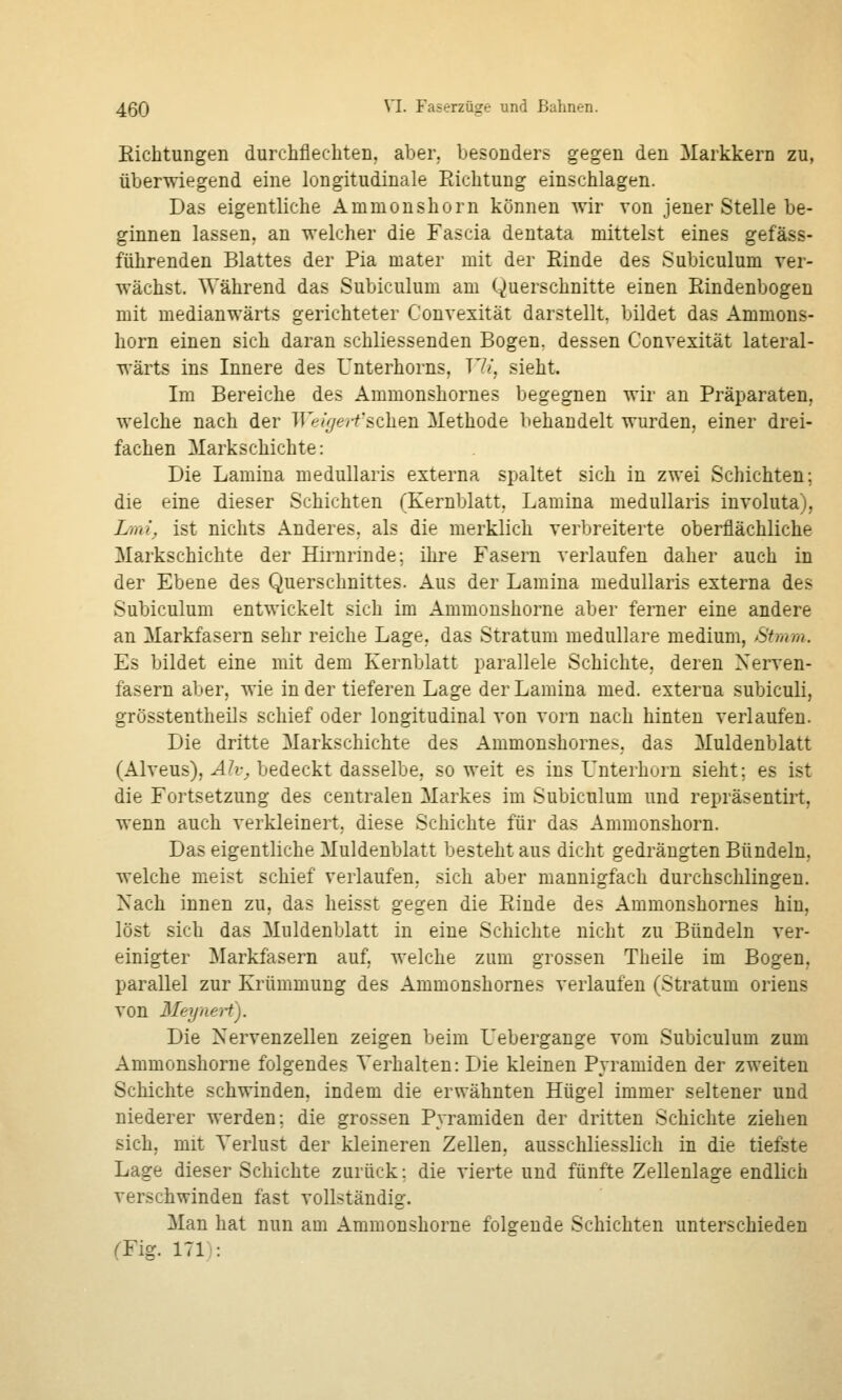 Eichtungen durclillechten. aber, besonders gegen den Markkern zu, überwiegend eine longitudinale Richtung einschlagen. Das eigentliche Ammonshorn können wir von jener Stelle be- ginnen lassen, an welcher die Fascia dentata mittelst eines gefäss- führenden Blattes der Pia mater mit der Rinde des Subiculum ver- wächst. Während das Subiculum am Querschnitte einen Rindenbogen mit medianwärts gerichteter Convexität darstellt, bildet das Ammons- horn einen sich daran schliessenden Bogen, dessen Convexität lateral- wärts ins Innere des Unterhorns, T7/, sieht. Im Bereiche des Ammonshornes begegnen wir an Präparaten, welche nach der lle/^ez-fsehen Methode behandelt wurden, einer drei- fachen Markschichte: Die Lamina medullaris externa spaltet sich in zwei Schichten; die eine dieser Schichten (Kernblatt. Lamina medullaris involuta), Dni, ist nichts Anderes, als die merklich verbreiterte oberflächliche Markschichte der Hirnrinde; ihre Fasern verlaufen daher auch in der Ebene des Querschnittes. Aus der Lamina medullaris externa des Subiculum entwickelt sich im Ammoushorne aber ferner eine andere an Markfasern sehr reiche Lage, das Stratum medulläre medium, Stmm. Es bildet eine mit dem Kernblatt parallele Schichte, deren Nerven- fasern aber, wie Inder tieferen Lage der Lamina med. externa subiculi, grösstentheils schief oder longitudinal von vorn nach hinten verlaufen. Die dritte Markschichte des Ammonshornes, das Muldenblatt (Alveus), Ah, bedeckt dasselbe, so weit es ins Unterhorn sieht; es ist die Fortsetzung des centralen Markes im Subiculum und repräsentiit, wenn auch verkleinert, diese Schichte für das Ammonshorn. Das eigentliche Muldenblatt besteht aus dicht gedrängten Bündeln, welche meist schief verlaufen, sich aber mannigfach durchschlingen. Nach innen zu, das heisst gegen die Rinde des Ammonshornes hin, löst sich das Muldenblatt in eine Schichte nicht zu Bündeln ver- einigter Markfasern auf^ welche zum grossen Theile im Bogen, parallel zur Krümmung des Ammonshornes verlaufen (Stratum oriens von Meyned). Die Nervenzellen zeigen beim Uebergange vom Subiculum zum Ammonshorne folgendes Verhalten: Die kleinen Pyramiden der zweiten Schichte schwinden, indem die erwähnten Hügel immer seltener und niederer werden; die grossen Pyramiden der dritten Schichte ziehen sich, mit Verlust der kleineren Zellen, ausschliesslich in die tiefste Lage dieser Schichte zurück: die vierte und fünfte Zellenlage endlich verschwinden fast vollständig. Man hat nun am Ammonshorne folgende Schichten unterschieden (Fig. 171):