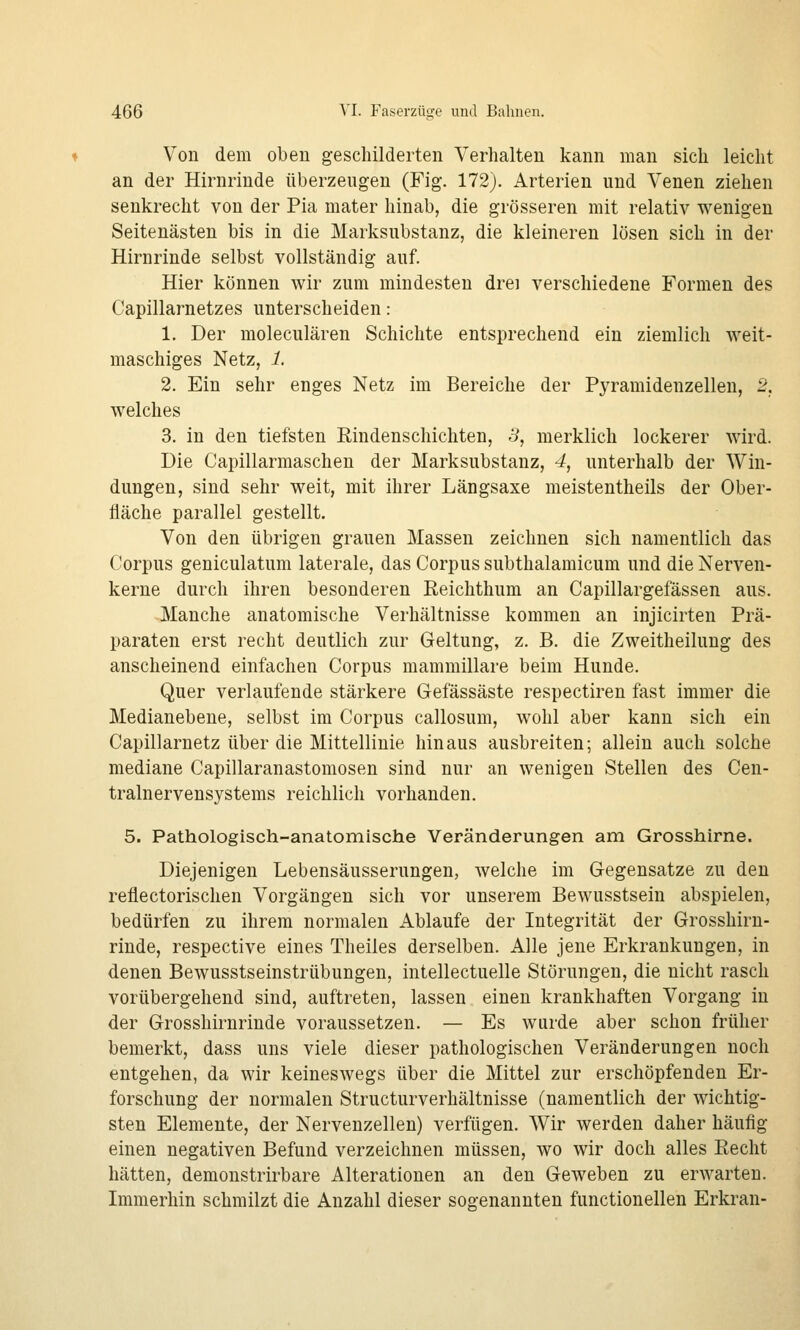 Von dem oben geschilderten Verhalten kann man sich leicht an der Hirnrinde überzeugen (Fig. 172). Arterien und Venen ziehen senkrecht von der Pia niater hinab, die grösseren mit relativ wenigen Seitenästen bis in die Marksubstanz, die kleineren lösen sich in der Hirnrinde selbst vollständig auf. Hier können wir zum mindesten drei verschiedene Formen des Capillarnetzes unterscheiden: 1. Der moleculären Schichte entsprechend ein ziemlich weit- maschiges Netz, 1. 2. Ein sehr enges Netz im Bereiche der Pyramidenzellen, 2, welches 3. in den tiefsten Eindenschichten, 3, merklich lockerer wird. Die Capillarmaschen der Marksubstanz, 4, unterhalb der Win- dungen, sind sehr weit, mit ihrer Längsaxe meistentheils der Ober- fläche parallel gestellt. Von den übrigen grauen Massen zeichnen sich namentlich das Corpus geniculatum laterale, das Corpus subthalamicum und die Nerven- kerne durch ihren besonderen Reichthum an Capillargefässen aus. Manche anatomische Verhältnisse kommen an injicirten Prä- paraten erst recht deutlich zur Geltung, z. B. die Zweitheilung des anscheinend einfachen Corpus mammillare beim Hunde. Quer verlaufende stärkere Gefässäste respectiren fast immer die Medianebene, selbst im Corpus callosum, wohl aber kann sich ein Capillarnetz über die Mittellinie hinaus ausbreiten; allein auch solche mediane Capillaranastomosen sind nur an wenigen Stellen des Cen- tralnervensystems reichlich vorhanden. 5. Pathologisch-anatomische Veränderungen am Grosshirne. Diejenigen Lebensäusserungen, welche im Gegensatze zu den reflectorischen Vorgängen sich vor unserem Bewusstsein abspielen, bedürfen zu ihrem normalen Ablaufe der Integrität der Grosshirn- rinde, respective eines Theiles derselben. Alle jene Erkrankungen, in denen Bewusstseinstrübungen, intellectuelle Störungen, die nicht rasch vorübergehend sind, auftreten, lassen einen krankhaften Vorgang in der Grosshirnrinde voraussetzen. — Es wurde aber schon früher bemerkt, dass uns viele dieser pathologischen Veränderungen noch entgehen, da wir keineswegs über die Mittel zur erschöpfenden Er- forschung der normalen Structurverhältnisse (namentlich der wichtig- sten Elemente, der Nervenzellen) verfügen. Wir werden daher häufig einen negativen Befund verzeichnen müssen, wo wir doch alles Eeclit hätten, demonstrirbare Alterationen an den Geweben zu erwarten. Immerhin schmilzt die Anzahl dieser sogenannten functionellen Erkran-
