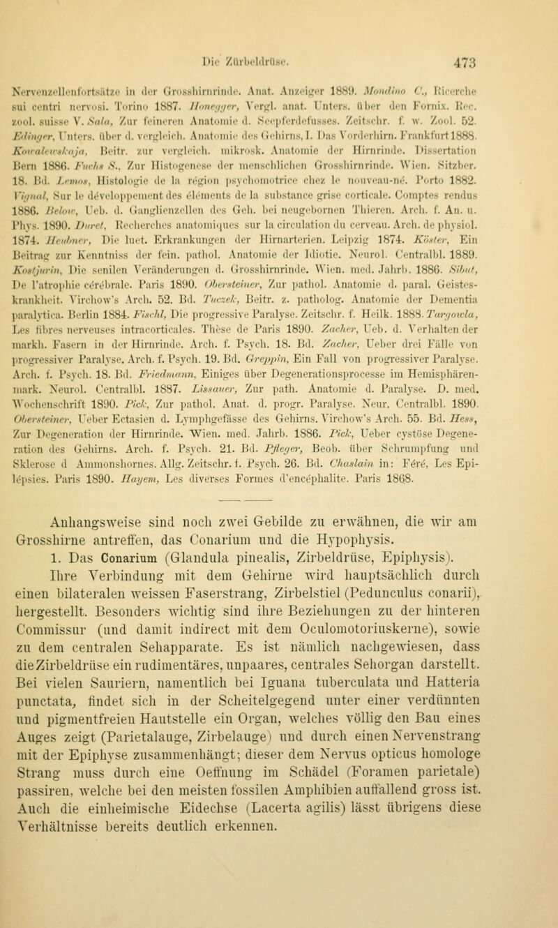 NiTVriizcllriilort.siit/i' iii iliT <ipissliifmiinlr. Aiiiit. Aiizeifjor 1889. Mondino C, Kk-erche 8ui ceiitri norvusi. Torimi 1887. lliincjiivr, \vxy:\. ;iimt. Unters, über di-n Fornix. Rcc. zool. sui.sso V. Saht, Zur IViiicivii Anatoiiiii' il. S('('])lL'nlt'fu.sse.s. Zeitsdir. f. w. Zool. 52. EtUivjrr, riitons. übi-r d. vt'rf,'b'icli. Anatninic (b'.s (idiirn.s, I. l)a,s \'nnl<iliirii. rraiikrurtlBSS. Kouahimhitja, Ueitr. zur verf^lcich. inikrosk. Anatomie dor IlirnrirnJi'. Dissertation Bern 1886. Fuchs S., Zur Histogenese der monschliclien Grosshirnrinde. Wien. Sitzber. 18. Bd. J.niios, Histolope de la retrion ]»sychnmotrice cliez le nouvoau-nt'. Porto 1882. Vi;/iuil, Sur lo dt'Vi'ldpponu'nt dos ölt'nii'iits de la siibstance jjrise corticale. Comptes rendus 1886. lU-loir, Ueb. d. (lanj,'lienzoll(Mi des CJeii. bei nougrborncn Thieron. Arcii. f. An. u. riiys. 1890. Diiret, Rocherchos anatoniii[Ui's sur la circulation du ccrveau. Arch. do jibysiol. 1874. lleiihner, Die luot. Erkraiikuni,nii der Hirnarterion. Leipzi»,' 1874. Konter, Ein Beitrag zur Kenntniss der fein, patliol. Anatomie der Idiotie. Neurol. Centralbl. 1889. Kostjurin, Die senilen Vcränderun<i:en d. Grosshirnrinde. Wien. med. Jahrb. 1886. Sihut, De Tatropliie cerebrale. Paris 18i)0. <»hersteine); Zur jiatliol. Anatomie d. paral. Geistes- krankheit. Virehow's Arch. 52. Bd. Tnc-el; Beitr. z. patliulot^. Anatomie der Dementia paraMica. Berlin 1884. Fisrhl, Die proj^ressive Paralyse. Zeitsdir. f. Heilk. 1888. 2\iri/ou:la, Los Hbres nerveuses intracorticales. These de Paris 1890. Zarher, Ueb. d. Verhalten der markh. Fasern in der Hirnrinde. Arch. f. Psych. 18. Bd. Zacher, Ueber drei Fälle von progressiver Paralyse. Arch. f. Psych. 19. Bd. Greppin, Ein Fall von progi-essiver Paralyse. Arch. f. Psych. 18. Bd. Friedmann, Einiges über Degenerationsprocesse im Hemisphären- luark. Xeund. Uentralbl. 1887. Lissauer, Zur ])ath. Anatomie d. Paralyse. D. med. ^\■(.dlensdn•il't 1890. Pich; Zur pathol. Anat. d. progr. Paralyse. Xeur. Centralbl. 1890. Otiersteiner, Ueber Ectasien d. Lymphgefässe des Gehirns. Virehow's Arch. 55. Bd. Hess, Zur Degeneration der Hirnrinde. Wien. med. Jahrb. 1886. Pick, Ueber cystöse Degene- ration des Gehirns. Arch. f. Psych. 21. Bd. Pflecjei; Beob. über Schrumpfung und Sklerose d Ammonshorncs. Allg. Zeitschr. f. Psych. 26. Bd. Chaslain in: Före, Les Epi- l(?psies. Paris 1890. Hayem, Les diverses Formes d'encephalite. Paris 1868. Anhangsweise sind noch zwei Gebilde zu erwähnen, die wir am Grosshirne antreffen, das Conarium und die Hvpoph3'sis. 1. Das Conarium (Glauduhi pinealis, Zirbeldrüse, Epiphysis). Ihre Verbindung mit dem Gehirne wird hauptsächlich durch einen bilateralen weissen Faserstrang, Zirbelstiel (Pedunculus conarii), hergestellt. Besonders wichtig sind ihre Beziehungen zu der hinteren Commissur (und damit indirect mit dem Oculomotoriuskerne), sowie zu dem centralen Sehapparate. Es ist nämlich nachgewiesen, dass die Zirbeldrüse ein rudimentäres, unpaares, centrales Sehorgan darstellt. Bei vielen Sauriern, namentlich bei Iguana tuberculata und Hatteria punctata, findet sich in der Scheitelgegend unter einer verdünnten und pigmentfreien Hautstelle ein Organ, welches völlig den Bau eines Auges zeigt (Parietalauge, Zirbelauge) und durch einen Nervenstrang mit der Epiphyse zusammenhängt; dieser dem Nervus opticus homologe Strang muss durch eine Oeffnung im Schädel (Foramen parietale) passiren, welche bei den meisten fossilen Amphibien auffallend gross ist. Auch die einheimische Eidechse (Lacerta agilis) lässt übrigens diese Verhältnisse bereits deutlich erkennen.