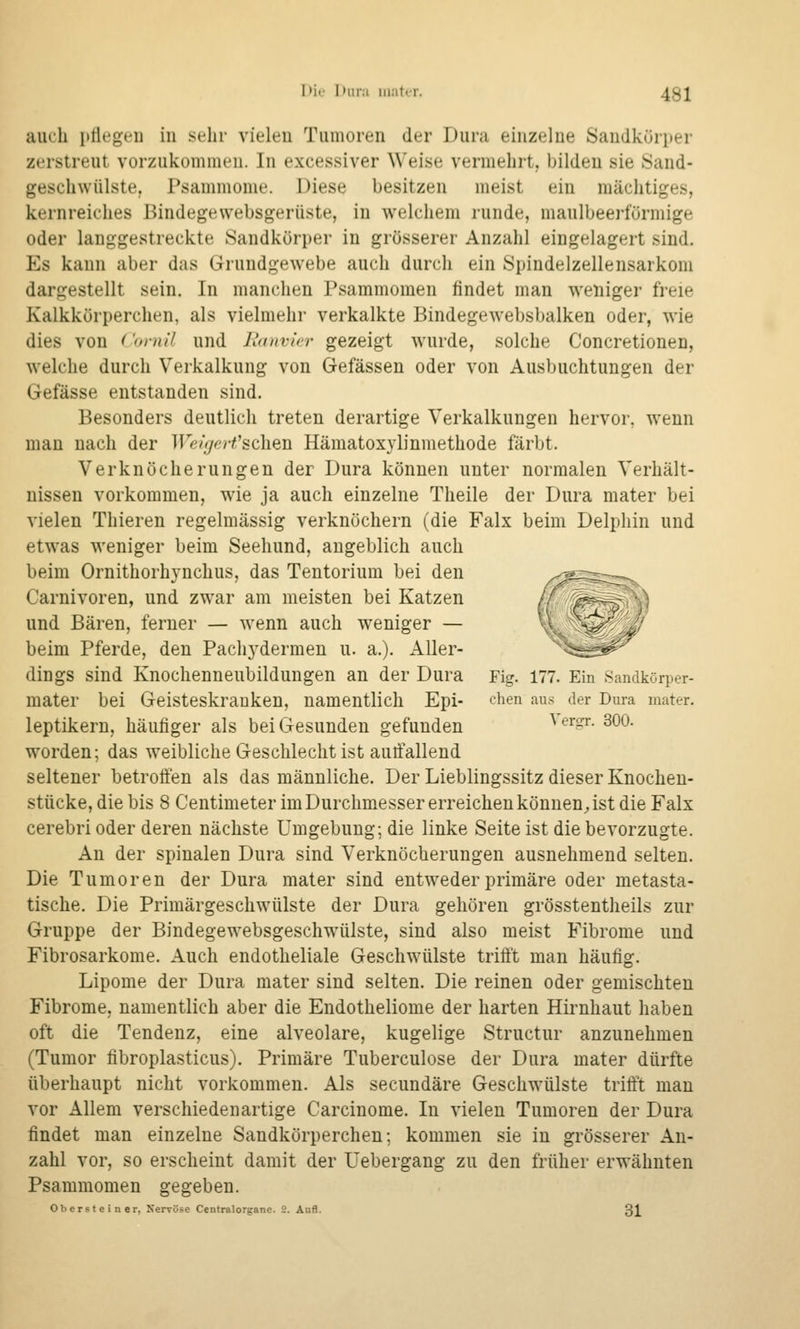 I)ie l>iira iiiatt-r. 4gl auch pflegeu in sehr vielen Tumoren der Dura einzelne Sandkürper zerstreut vorzukommen. In excessiver Weise vermehrt, bilden sie Sand- geschwülste. Psammome. Diese besitzen meist ein mächtiges, kernreiclies ßindegewebsgerüste, in welchem runde, maulbeerfürmige oder langgestreckte Sandkörper in grösserer Anzahl eingelagert sind. Es kann aber das Grundgewebe auch durch ein Spindelzellensarkom dargestellt sein. In manchen Psammomen findet man weniger freie Kalkkörperchen, als vielmehr verkalkte Bindegewebsbalken oder, wie dies von Conul und lianvier gezeigt wurde, solche Concretionen, welche durch Verkalkung von Gefässen oder von Ausbuchtungen der Gefässe entstanden sind. Besonders deutlich treten derartige Verkalkungen hervor, wenn man nach der Weifjarfsohan Hämatoxylinmethode färbt. Verknöcherungen der Dura können unter normalen Verhält- nissen vorkommen, wie ja auch einzelne Theile der Dura mater bei vielen Thieren regelmässig verknöchern (die Falx beim Delphin und etwas weniger beim Seehund, augeblich auch beim Ornithorhynchus, das Tentorium bei den Carnivoren, und zwar am meisten bei Katzen und Bären, ferner — wenn auch weniger — beim Pferde, den Pachydermeu u. a.). Aller- dings sind Knochenneubildungen an der Dura Fig. 177. Ein Sandkörper- mater bei Geisteskranken, namentlich Epi- '^•hen aus der Dura mater. leptikern, häufiger als bei Gesunden gefunden ^ergr. 300. worden; das weibliche Geschlecht ist auffallend seltener betroffen als das männliche. Der Lieblingssitz dieser Knochen- stücke, die bis 8 Centimeter im Durchmesser erreichen könuen^st die Falx cerebri oder deren nächste Umgebung; die linke Seite ist die bevorzugte. An der spinalen Dura sind Verknöcherungen ausnehmend selten. Die Tumoren der Dura mater sind entweder primäre oder metasta- tische. Die Primärgeschwülste der Dura gehören grösstentlieils zur Gruppe der Bindegewebsgeschwülste, sind also meist Fibrome und Fibrosarkome. Auch endotheliale Geschwülste triff't man häufig. Lipome der Dura mater sind selten. Die reinen oder gemischten Fibrome, namentlich aber die Endotheliome der harten Hirnhaut haben oft die Tendenz, eine alveolare, kugelige Structur anzunehmen (Tumor fibroplasticus). Primäre Tuberculose der Dura mater dürfte überhaupt nicht vorkommen. Als secundäre Geschwülste triff't man vor Allem verschiedenartige Carcinome. In vielen Tumoren der Dura findet man einzelne Sandkörperchen; kommen sie in grösserer An- zahl vor, so erscheint damit der üebergang zu den früher erwähnten Psammomen gegeben. Obersteiner, Xerröse Centralorgane. 2. Aufl. 31