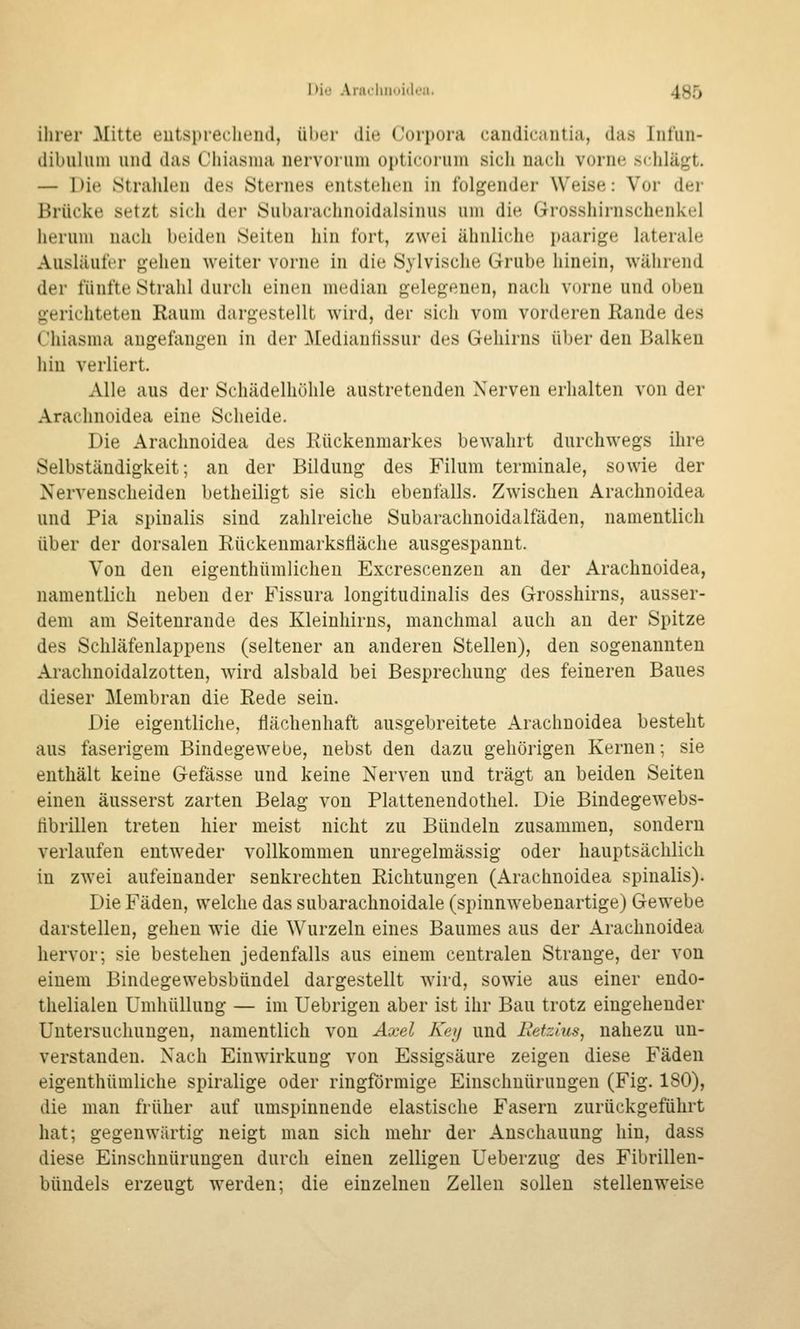 ihrer Mitte eutsprecliend, über die Corpora candic.iutia, das Infun- dibuliim und das Cliiasina nervorum opticorum sich nach vorne schlägt. — Die Stralilen des Sternes entstellen in folgender Weise: Vor der Brücke setzt sich der yubarachnoidalsinus um die Grosshirnschenkel herum nach beiden Seiten hin fort, zwei ähnliche paarige laterale Ausläuft'r gehen weiter vorne in die Sylvische Grube hinein, während der fünfte Strahl durch einen median gelegenen, nach vorne und oben gerichteten Raum dargestellt wird, der sich vom vorderen Rande des C'hiasma augefangen in der ]\Iedianfissur des Gehirns über den Balken hin verliert. Alle aus der Schädelhöhle austretenden Nerven erhalten von der Arachnoidea eine Scheide. Die Arachnoidea des Rückenmarkes bewahrt durchwegs ihre Selbständigkeit; an der Bildung des Filum terminale, sowie der Nervenscheiden betheiligt sie sich ebenfalls. Zwischen Arachnoidea und Pia spinalis sind zahlreiche Subarachnoidalfäden, namentlich über der dorsalen Rückenmarksfläche ausgespannt. Von den eigenthümlichen Excrescenzen an der Arachnoidea, namentlich neben der Fissura longitudinalis des Grosshirns, ausser- dem am Seitenrande des Kleinhirns, manchmal auch an der Spitze des Schläfenlappens (seltener an anderen Stellen), den sogenannten Arachnoidalzotten, wird alsbald bei Besprechung des feineren Baues dieser Membran die Rede sein. Die eigentliche, flächenhaft ausgebreitete Arachnoidea besteht aus faserigem Bindegewebe, nebst den dazu gehörigen Kernen; sie enthält keine Gefässe und keine Nerven und trägt an beiden Seiten einen äusserst zarten Belag von Plattenendothel. Die Bindegewebs- librillen treten hier meist nicht zu Bündeln zusammen, sondern verlaufen entweder vollkommen unregelmässig oder hauptsächlich in zwei aufeinander senkrechten Richtungen (Arachnoidea spinalis). Die Fäden, welche das subarachnoidale (spinnwebenartige) Gewebe darstellen, gehen wie die Wurzeln eines Baumes aus der Arachnoidea hervor; sie bestehen jedenfalls aus einem centralen Strange, der von einem Bindegewebsbnndel dargestellt wird, sowie aus einer endo- thelialen Umhüllung — im Uebrigen aber ist ihr Bau trotz eingehender Untersuchungen, namentlich von Axel Keij und Betzius, nahezu un- verstanden. Nach Einwirkung von Essigsäure zeigen diese Fäden eigenthümliche spiralige oder ringförmige Einschnürungen (Fig. 180), die man früher auf umspinnende elastische Fasern zurückgeführt hat; gegenwärtig neigt man sich mehr der Anschauung hin, dass diese Einschnürungen durch einen zelligen Ueberzug des Fibrillen- büudels erzeugt werden; die einzelnen Zellen sollen stellenweise
