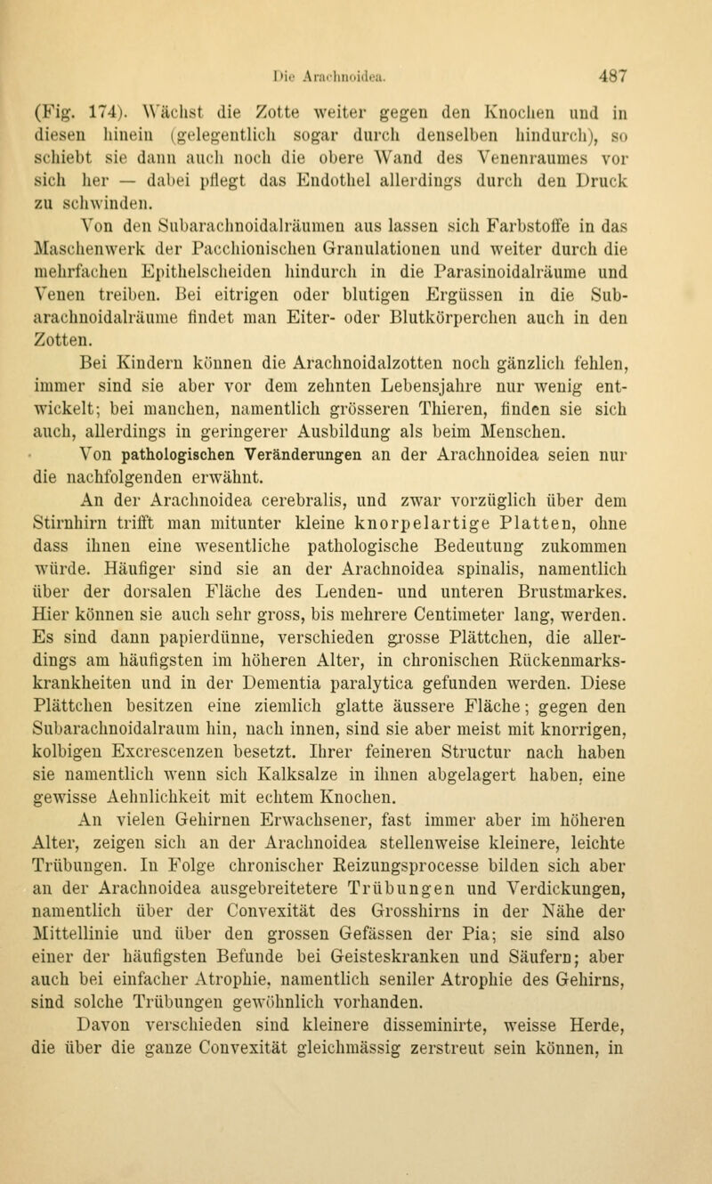 (Fig. 174). \\'äclist die Zotte weiter gegen den Knochen und in diesen hinein (gelegentlich sogar durch denselben hindurch), so schiebt sie dann auch noch die obere Wand des Venenraumes vor sich her — dabei pflegt das Endothel allerdings durch den Druck zu schwinden. Von den Subaraclmoidalräumen aus lassen sich Farbstoffe in das Maschenwerk der Pacchionischen Granulationen und weiter durch die mehrfachen Epithelscheiden hindurch in die Parasinoidalräume und Venen treiben. Bei eitrigen oder blutigen Ergüssen in die Sub- arachnoidalräume findet man Eiter- oder Blutkörperchen auch in den Zotten. Bei Kindern können die Arachnoidalzotten noch gänzlich fehlen, immer sind sie aber vor dem zehnten Lebensjahre nur wenig ent- wickelt; bei manchen, namentlich grösseren Thieren, finden sie sich auch, allerdings in geringerer Ausbildung als beim Menschen. Von pathologischen Veränderungen an der Arachnoidea seien nur die nachfolgenden erwähnt. An der Arachnoidea cerebralis, und zwar vorzüglich über dem Stirnhirn trifft man mitunter kleine knorpelartige Platten, ohne dass ihnen eine wesentliche pathologische Bedeutung zukommen würde. Häufiger sind sie an der Arachnoidea spinalis, namentlich über der dorsalen Fläche des Lenden- und unteren Brustmarkes. Hier können sie auch sehr gross, bis mehrere Centimeter lang, werden. Es sind dann papierdünue, verschieden gi^osse Plättchen, die aller- dings am häufigsten im höheren Alter, in chronischen Eückenmarks- krankheiten und in der Dementia paralytica gefunden werden. Diese Plättchen besitzen eine ziemlich glatte äussere Fläche; gegen den Subarachnoidalraum hin, nach innen, sind sie aber meist mit knorrigen, kolbigen Excrescenzen besetzt. Ihrer feineren Structur nach haben sie namentlich wenn sich Kalksalze in ihnen abgelagert haben, eine gewisse Aehnlichkeit mit echtem Knochen. An vielen Gehirnen Erwachsener, fast immer aber im höheren Alter, zeigen sich an der Arachnoidea stellenweise kleinere, leichte Trübungen. In Folge chronischer Reizungsprocesse bilden sich aber an der Arachnoidea ausgebreitetere Trübungen und Verdickungen, namentlich über der Convexität des Grosshirns in der Nähe der Mittellinie und über den grossen Gefässen der Pia; sie sind also einer der häufigsten Befunde bei Geisteskranken und Säufern; aber auch bei einfacher Atrophie, namentlich seniler Atrophie des Gehirns, sind solche Trübungen gewöhnlich vorhanden. Davon verschieden sind kleinere disseminirte, weisse Herde, die über die ganze Convexität gleichmässig zerstreut sein können, in