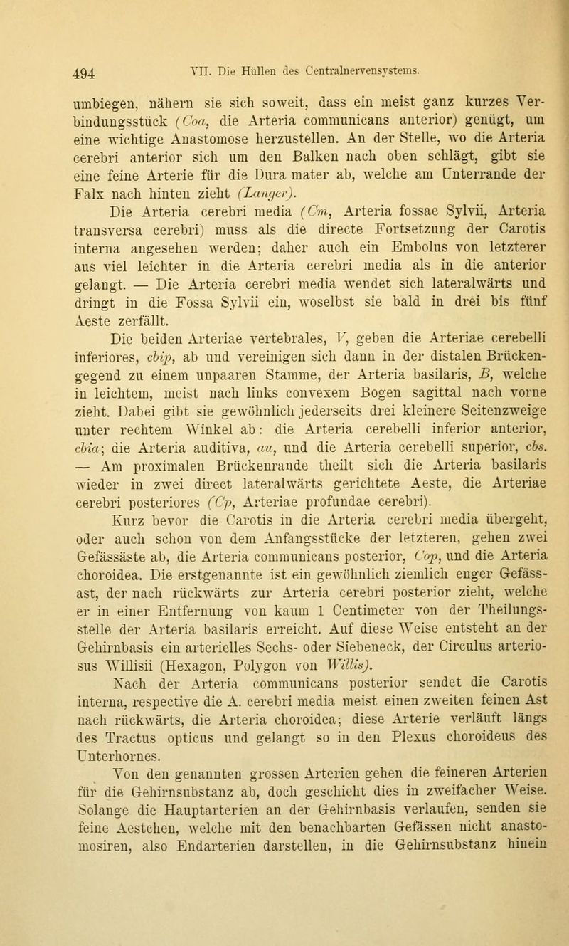 umbiegen, nähern sie sich soweit, dass ein meist ganz kurzes Ver- bindungsstück (Coa, die Arteria communicans anterior) genügt, um eine wichtige Anastomose herzustellen. An der Stelle, wo die Arteria cerebri anterior sich um den Balken nach oben schlägt, gibt sie eine feine Arterie für die Dura mater ab, welche am L'nterrande der Falx nach hinten zieht (Langer). Die Arteria cerebri media (Cm, Arteria fossae SyMi, Arteria transversa cerebri) muss als die directe Fortsetzung der Carotis interna angesehen werden; daher auch ein Embolus von letzterer aus viel leichter in die Arteria cerebri media als in die anterior gelangt. — Die Arteria cerebri media Avendet sich lateralwärts und dringt in die Fossa Sjivii ein, woselbst sie bald in drei bis fünf Aeste zerfällt. Die beiden Arteriae vertebrales, T^, geben die Arteriae cerebelli inferiores, cUp, ab und vereinigen sich dann in der distalen Brücken- gegeud zu einem unpaaren Stamme, der Arteria basilaris, B, welche in leichtem, meist nach links convexem Bogen sagittal nach vorne zieht. Dabei gibt sie gewöhnlich jederseits drei kleinere Seitenzweige unter rechtem Winkel ab: die Arteria cerebelli inferior anterior, cbia\ die Arteria auditiva, au, und die Arteria cerebelli superior, eis. — Am proximalen Brückenrande theilt sich die Arteria basilaris wieder in zwei direct lateralwärts gerichtete Aeste, die Arteriae cerebri posteriores (Cp, Arteriae profundae cerebri). Kurz bevor die Carotis in die Arteria cerebri media übergeht, oder auch schon von dem Anfangsstücke der letzteren, gehen zwei Gefässäste ab, die Arteria communicans posterior, Cop, und die Arteria choroidea. Die erstgenannte ist ein gewöhnlich ziemlich enger Gefäss- ast, der nach rückwärts zur Arteria cerebri posterior zieht, welche er in einer Entfernung von kaum 1 Centimeter von der Theilungs- stelle der Arteria basilaris erreicht. Auf diese Weise entsteht an der Gehirnbasis ein arterielles Sechs- oder Siebeneck, der Circulus arterio- sus Willisii (Hexagon, Polygon von Willis). Nach der Arteria communicans posterior sendet die Carotis interna, respective die A. cerebri media meist einen zweiten feinen Ast nach rückwärts, die Arteria choroidea; diese Arterie verläuft längs des Tractus opticus und gelangt so in den Plexus choroideus des Unterhornes. Von den genannten grossen Arterien gehen die feineren Arterien für die Gehirnsubstanz ab, doch geschieht dies in zweifacher Weise. Solange die Hauptarterien an der Gehirnbasis verlaufen, senden sie feine Aestchen, welche mit den benachbarten Gelassen nicht anasto- mosiren, also Endarterien darstellen, in die Gehirnsubstanz hinein 1