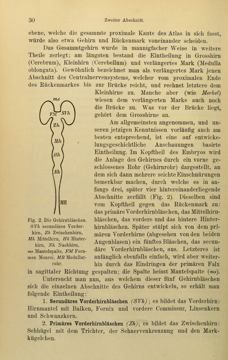 ms ebene, welche die gesammte proximale Kante des Atlas in sich fasst, würde also etwa Gehirn und Bückenmark voneinander scheiden. Das Gesammtgehirn wurde in mannigfacher Weise in weitere Theile zerlegt; am längsten bestand die Eintheilung in Grosshirn (Cerebrum), Kleinhirn (Cerebellum) und verlängertes Mark (Medulla oblongata). Gewöhnlich bezeichnet man als verlängertes Mark jenen Abschnitt des Centralnervensystems, welcher vom proximalen Ende des Eückenmarkes bis zur Brücke reicht, und rechnet letztere dem Kleinhirne zu. Manche aber (wie Merkel) wiesen dem verlängerten Marke auch noch die Brücke zu. Was vor der Brücke liegt, gehört dem Grosshirne an. Am allgemeinsten angenommen, und un- seren jetzigen Kenntnissen vorläufig auch am besten entsprechend, ist eine auf entwicke- lungsgeschichtliche Anschauungen basirte Eintheilung. Im Kopftheil des Embryos wird die Anlage des Gehirnes durch ein vorne ge- schlossenes Eohr (Gehirnrohr) dargestellt, an dem sich dann mehrere seichte Einschnürungen bemerkbar machen, durch welche es in an- fangs drei, später vier hintereinanderliegende Abschnitte zerfällt (Fig. 2). Dieselben sind vom Kopftheil gegen das Bückenmark zu: das primäre Vorderhirnbläschen, das Mittelhirn- bläschen, das vordere und das hintere Hinter- hirnbläschen. Später stülpt sich von dem pri- mären Vorderhirne (abgesehen von den beiden Augenblasen) ein fünftes Bläschen, das secun- däre Vorderhirnbläschen, aus. Letzteres ist anfänglich ebenfalls einfach, wird aber weiter- hin durch das Eindringen der primären Palx in sagittaler Eichtung gespalten; die Spalte heisst Mantelspalte (ms). Untersucht man nun, aus welchem dieser fünf Gehirnbläschen sich die einzelnen Abschnitte des Gehirns entwickeln, so erhält man folgende Eintheilung:1 1. Secundäres Vorderhirnbläschen (SVh) ; es bildet das Vorderhirn: Hirnmantel mit Balken, Fornix und vordere Commissur, Linsenkern und Schwanzkern. 2. Primäres Vorderhirnbläschen (Zh)\ es bildet das Zwischenhirn: Sehhügel mit dem Trichter, der Sehnervenkreuzung und den Mark- kügelchen. Fig. 2. Die G-ehirnbläsehen. SVh secundäres Vorder- hirn, Zh Zwischenhirn, Mh Mittelhirn, Hh Hinter- hirn, Nh Nachhirn, ms Mantelspalte, FM Fora- men Monroi, MR Medullar- rohr.