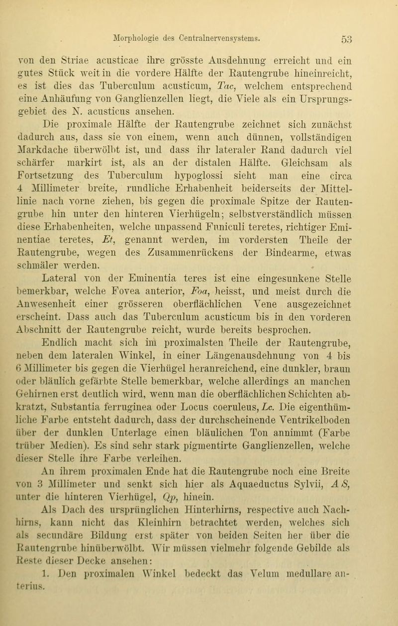 von de 11 Striae acusticae ihre grösste Ausdehnung erreicht und ein gutes Stück weit in die vordere Hälfte der Eautengrube hineinreicht, es ist dies das Tuberculum acusticum, Tac, welchem entsprechend eine Anhäufung von Ganglienzellen liegt, die Viele als ein Ursprungs- gebiet des X. acusticus ansehen. Die proximale Hälfte der Rautengrube zeichnet sich zunächst dadurch aus, dass sie von einem, wenn auch dünnen, vollständigen Markdache überwölbt ist, und dass ihr lateraler Rand dadurch viel schärfer markirt ist, als an der distalen Hälfte. Gleichsam als Fortsetzung des Tuberculum hypoglossi sieht man eine circa 4 Millimeter breite, rundliche Erhabenheit beiderseits der Mittel- linie nach vorne ziehen, bis gegen die proximale Spitze der Eauten- grube hin unter den hinteren Vierhügeln; selbstverständlich müssen diese Erhabenheiten, welche unpassend Funiculi teretes, richtiger Emi- nentiae teretes, Et, genannt werden, im vordersten Theile der Rautengrube, wegen des Zusammenrückens der Bindearme, etwas schmäler werden. Lateral von der Eminentia teres ist eine eingesunkene Stelle bemerkbar, welche Fovea anterior, Foa, heisst, und meist durch die Anwesenheit einer grösseren oberflächlichen Vene ausgezeichnet erscheint. Dass auch das Tuberculum acusticum bis in den vorderen Abschnitt der Rautengrube reicht, wurde bereits besprochen. Endlich macht sich im proximalsten Theile der Eautengrube, neben dem lateralen Winkel, in einer Längenausdehnung von 4 bis 6 Millimeter bis gegen die Vierhügel heranreichend, eine dunkler, braun oder bläulich gefärbte Stelle bemerkbar, welche allerdings an manchen Gehirnen erst deutlich wird, wenn man die oberflächlichen Schichten ab- kratzt, Substantia ferruginea oder Locus coeruleus, Lc. Die eigenthüm- liche Farbe entsteht dadurch, dass der durchscheinende Ventrikelboden aber der dunklen Unterlage einen bläulichen Ton annimmt (Farbe trüber Medien). Es sind sehr stark pigmentirte Ganglienzellen, welche dieser Stelle ihre Farbe verleihen. An ihrem proximalen Ende hat die Eautengrube noch eine Breite von 3 Millimeter und senkt sich hier als Aquaeductus Sylvii, AS, unter die hinteren Vierhügel, Qp, hinein. Als Dach des ursprünglichen Hinterhirns, respective auch Nach- hing, kann nicht das Kleinhirn betrachtet werden, welches sich als secundäre Bildung ersl später von beiden Seiten her über die Rantengrube hinüberwölbt Wir müssen vielmehr folgende Gebilde als dieser I lecke ansehen: l. Den proximalen Winkel bedeckt das Velum medulläre an- terius.