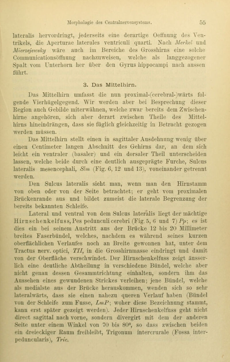 lateralis hervordringt, jederseits eine derartige Oeffnung des Ven- trikels, die Aperturae laterales ventriciüi quarti. Nach Merkel und Mierzejewsky wäre auch im Bereiche des Grosshirns eine solche Communicationsötfnung nachzuweisen, welche als langgezogener Spalt vom Unterhorn her über den G}tus hippocampi nach aussen führt. 3. Das Mittelhirn. Das Mittelhirn umfasst die nun proximal-fcerebral-iwärts fol- gende Vierhügelgegend. Wir werden aber bei Besprechung dieser Region auch Gebilde miterwähnen, welche zwar bereits dem Zwischen- hirne angehören, sich aber derart zwischen Theile des Mittel- hirns hineindrängen, dass sie füglich gleichzeitig in Betracht gezogen werden müssen. Das Mittelhirn stellt einen in sagittaler Ausdehnung wenig über einen Centimeter langen Abschnitt des Gehirns dar, an dem sich leicht ein ventraler ^basaler; und ein dorsaler Theil unterscheiden lassen, welche beide durch eine deutlich ausgeprägte Furche, Sulcus lateralis mesencephali, 81m, (Fig. 6, 12 und 13), voneinander getrennt werden. Den Sulcus lateralis sieht man, wenn man den Hirnstamm von oben oder von der Seite betrachtet; er geht vom proximalen Brückenrande aus und bildet zumeist die laterale Begrenzung der bereits bekannten Schleife. Lateral und ventral von dem Sulcus lateralis liegt der mächtige Hirnschenkelfuss, Pes pedunculi cerebri (Fig. 5, 6 und 7) Pp; es ist dies ein bei seinem Austritt aus der Brücke 12 bis 20 Millimeter breites Faserbündel, welches, nachdem es während seines kurzen oberflächlichen Verlaufes noch an Breite gewonnen hat, unter dem Tractus nerv, optici, TU, in die Grosshirnmasse eindringt und damit von der Oberfläche verschwindet. Der Hirnschenkelfuss zeigt äusser- lich eine deutliche Abtheilung in verschiedene Bündel, welche aber nicht genau dessen Gesammtrichtung einhalten, sondern ihm das sehen eines gewundenen Strickes verleihen; jene Bündel, welche als medialste ans der Brücke herauskommen, wenden sich so sehr lateralwarts, dass sie einen nahezu queren Verlauf haben (Bündel vuu der Schleife zum Kusse, LmP\ woher diese Bezeichnung stammt, kann erst später gezeigt werden). Jeder Hirnschenkelfuss geht nicht direcl sagittal nach vorne, Bondera divergirt mit dem der anderen Seite anter einem Winkel von 70 bis 80°, so dass zwischen beiden ein dreieckiger Raum freibleibt, Trigonum intercrurale (Fossa inter- peduncularis , Tric.