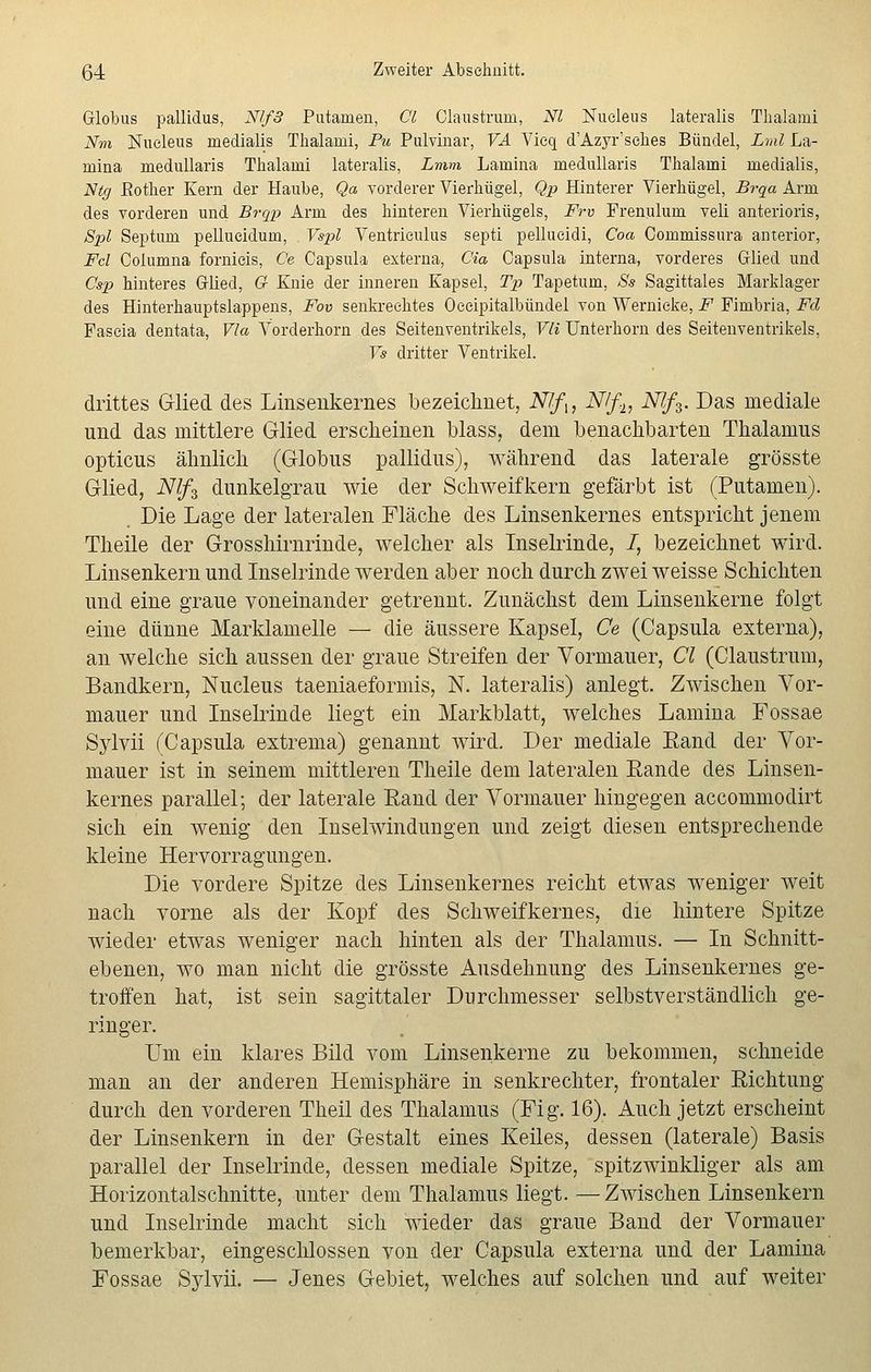 Globus pallidus, Nl/3 Putamen, Cl Claustrum, Nl Nueleus lateralis Thalami Nm Nueleus medialis Thalami, Pu Pulvinar, VA Vieq d'Azyr'sehes Bündel, Lml La- mina medullaris Thalami lateralis, Lmm Lamina medullaris Thalami medialis, Ntg Bother Kern der Haube, Qa vorderer Vierhügel, Qp Hinterer Vierhügel, Brqa Arm des vorderen und Brqp Arm des hinteren Vierhügels, Frv Freniüum veli anterioris, Spl Septum pellueidum, Vspl Ventrieulus septi pellueidi, Coa Commissura anterior, Fcl Coiumna fornieis, Ce Capsula externa, Cia Capsula interna, vorderes Glied und Csp hinteres Glied, O Knie der inneren Kapsel, Tp Tapetum, 8s Sagittales Marklager des Hinterhauptslappens, Fov senki'eehtes Oeeipitalbündel von Wernieke, F Fimbria, Fd Fascia dentata, Via Vorderhorn des Seitenventrikels, Vli Unterkorn des Seitenventrikels, Vs dritter Ventrikel. drittes Glied des Linsenkernes bezeichnet, N?fx, N/f2, NJf3. Das mediale und das mittlere Glied erscheinen blass, dem benachbarten Thalamus opticus ähnlich (Globus pallidus), während das laterale grösste Glied, N/f3 dunkelgrau wie der Schweifkern gefärbt ist (Putamen). Die Lage der lateralen Fläche des Linsenkernes entspricht jenem Theile der Grosshirnrinde, welcher als Inselrinde, i, bezeichnet wird. Linsenkern und Inselrinde werden aber noch durch zwei weisse Schichten und eine graue voneinander getrennt. Zunächst dem Linsenkerne folgt eine dünne Marklamelle — die äussere Kapsel, Ce (Capsula externa), an welche sich aussen der graue Streifen der Vormauer, Cl (Claustrum, Bandkern, Nucleus taeniaeformis, N. lateralis) anlegt. Zwischen Vor- mauer und Inselrinde liegt ein Markblatt, welches Lamina Fossae Sylvii (Capsula extrema) genannt Avird. Der mediale Eand der Vor- mauer ist in seinem mittleren Theile dem lateralen Eande des Linsen- kernes parallel; der laterale Rand der Vormauer hingegen accommodirt sich ein wenig den Inselwindungen und zeigt diesen entsprechende kleine Hervorragungen. Die vordere Spitze des Linsenkernes reicht etwas weniger weit nach vorne als der Kopf des Schweifkernes, die hintere Spitze wieder etwas weniger nach hinten als der Thalamus. — In Schnitt- ebenen, wo man nicht die grösste Ausdehnung des Linsenkernes ge- troffen hat, ist sein sagittaler Durchmesser selbstverständlich ge- ringer. Um ein klares Bild vom Linsenkerne zu bekommen, schneide man an der anderen Hemisphäre in senkrechter, frontaler Richtung durch den vorderen Theil des Thalamus (Fig. 16). Auch jetzt erscheint der Linsenkern in der Gestalt eines Keiles, dessen (laterale) Basis parallel der Inselrinde, dessen mediale Spitze, spitzwinkliger als am Horizontalschnitte, unter dem Thalamus liegt. — Zwischen Linsenkern und Inselrinde macht sich wieder das graue Band der Vormauer bemerkbar, eingeschlossen von der Capsula externa und der Lamina Fossae Sylvii. — Jenes Gebiet, welches auf solchen und auf weiter
