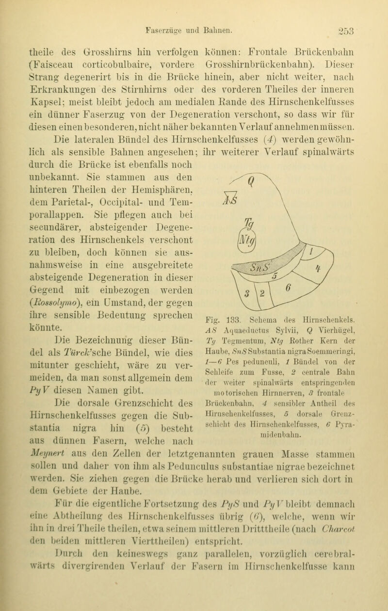 theile des Grosshirns hin verfolgen können: Frontale Brückenbahn (Faisceau corticobulbaire, vordere Grossliirnbrückenbahn). Dieser Strang degenerirt bis in die Brücke hinein, aber nicht weiter, nach Erkrankungen des Stirnhirns oder des vorderen Theiles der inneren Kapsel: meist bleibt jedoch am medialen Rande des Hirnschenkelfusses ein dünner Faserzug von der Degeneration verschont, so dass wir für diesen einen besonderen, nicht näher bekannten Verlauf annehmen müssen. Die lateralen Bündel des Hirnschenkelfusses (4) werden gewöhn- lich als sensible Bahnen angesehen; ihr weiterer Verlauf spinalwärts durch die Brücke ist ebenfalls noch unbekannt. Sie stammen aus den hinteren Theilen der Hemisphären, dem Parietal-, Occipital- und Tem- porallappen. Sie pflegen auch bei secundärer, absteigender Degene- ration des Hirnschenkels verschont zu bleiben, doch können sie aus- nahmsweise in eine ausgebreitete absteigende Degeneration in dieser Gegend mit einbezogen werden (Iiossolymo), ein Umstand, der gegen ihre sensible Bedeutung sprechen könnte. Die Bezeichnung dieser Bün- del als Türck'sche Bündel, wie dies mit unter geschieht, wäre zu ver- meiden, da man sonst allgemein dem PyV diesen Xamen gibt. Die dorsale Grenzschicht des Hirnschenkelfusses gegen die 8ub- Btantia nigra hin (5) besteht ans dünnen Fasern, welche nach Meynert aus den Zellen de]' letztgenannten grauen Masse stammen sollen und daher von ihm als Pedunculus substantiae nigrae bezeichnet werden. Sie ziehen gegen die Brücke herab und verlieren sich dort in dem Gebiete der Hanbe. Für die eigentliche Fortsetzung des PyS und PyV bleibt demnach eine Abtheilung des Hirnschenkelfusses übrig (0), welche, wenn wir ihn in drei Theile theilen, etwaseinen] mittleren I >ritttheile (nach ('harcot den beiden mittleren Vierttheilen) entspricht. Durch den keineswegs ganz parallelen, vorzüglich oerebral- wärts divergirenden Verlauf der Fasern im Hirnschenkelfusse kann Fig AS Tg 133. Schema des Hirnschenkels. Aquaeductus Sylvii, Q Vierhügel, Tegmentura, Ntg ßother Kern der Haube, »StoSSubstantia nigraSoemmeringi, 1— c, Pes pedunculi, / Bündel von der Schleife zum Fusse, 2 centrale ßalin der weiter Bpinalwärts entspringenden □notorischen Hirnneryen, 3 frontale Brückenbahn, 4 sensibler Antheil des Hirnschenkelfusses, 5 dorsale Grenz- schichl des Hirnschenkelfusses, 6 Pyra- midenbahn.