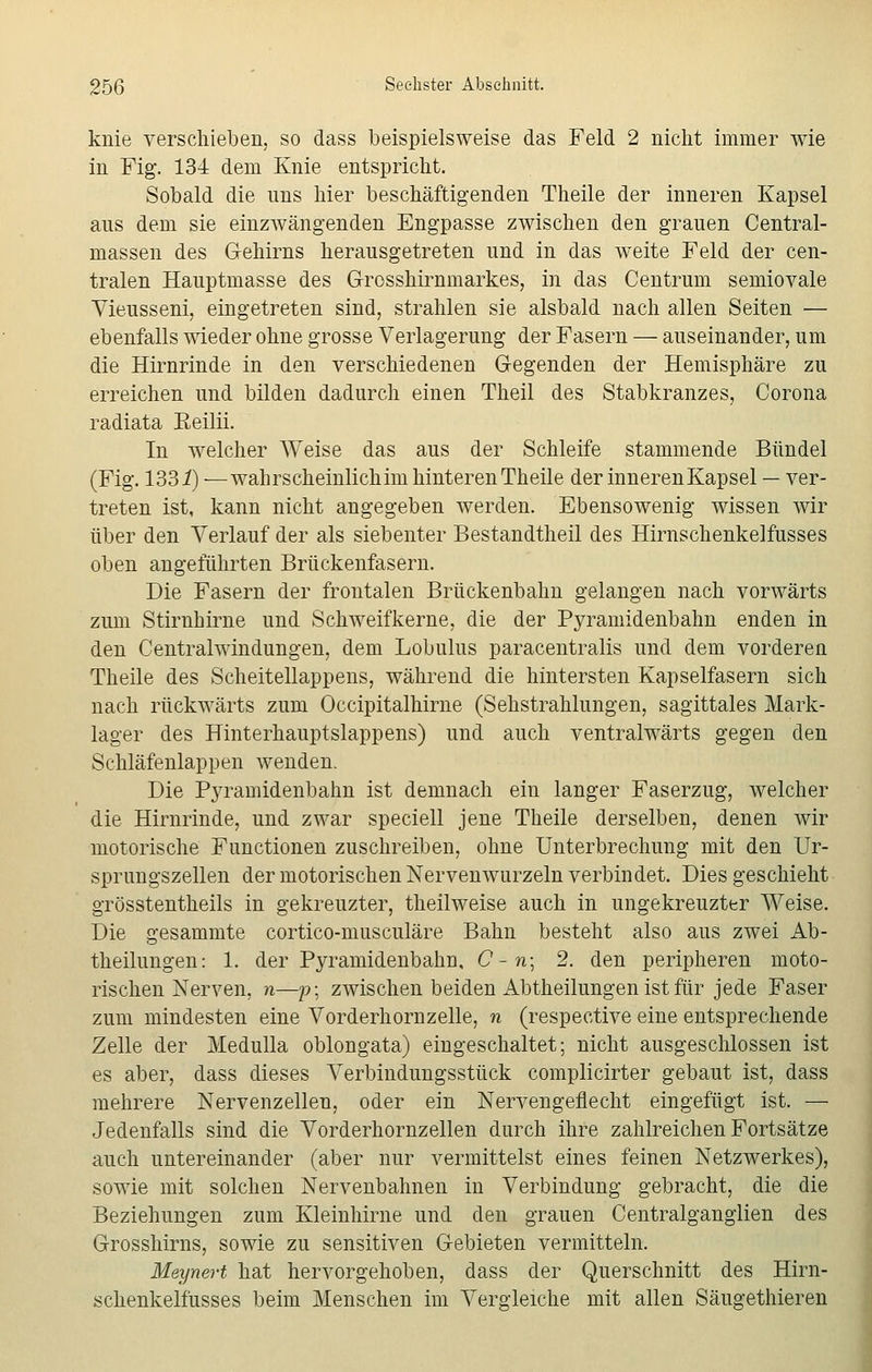 knie verschieben, so dass beispielsweise das Feld 2 nicht immer wie in Fig. 134 dem Knie entspricht. Sobald die uns hier beschäftigenden Theile der inneren Kapsel aus dem sie einzwängenden Engpasse zwischen den grauen Central- massen des Gehirns herausgetreten und in das weite Feld der cen- tralen Hauptmasse des Grosshirnmarkes, in das Centrum semiovale Vieusseni, eingetreten sind, strahlen sie alsbald nach allen Seiten — ebenfalls wieder ohne grosse Verlagerung der Fasern — auseinander, um die Hirnrinde in den verschiedenen Gegenden der Hemisphäre zu erreichen und bilden dadurch einen Theil des Stabkranzes, Corona radiata Eeilii. In welcher Weise das aus der Schleife stammende Bündel (Fig. 1331) —wahrscheinlich im hinteren Theile derinnerenKapsel — ver- treten ist, kann nicht angegeben werden. Ebensowenig wissen wir über den Verlauf der als siebenter Bestandtheil des Hirnschenkelfusses oben angeführten Brückenfasern. Die Fasern der frontalen Brückenbahn gelangen nach vorwärts zum Stirnhirne und Schweifkerne, die der Pyramidenbahn enden in den Centralwindungen, dem Lobulus paracentralis und dem vorderen Theile des Scheitellappens, während die hintersten Kapselfasern sich nach rückwärts zum Occipitalhirne (Sehstrahlungen, sagittales Mark- lager des Hinterhauptslappens) und auch ventralwärts gegen den Schläfenlappen wenden. Die PjTamidenbahn ist demnach ein langer Faserzug, welcher die Hirnrinde, und zwar speciell jene Theile derselben, denen wir motorische Functionen zuschreiben, ohne Unterbrechung mit den Ur- sprungszellen der motorischen Nervenwurzeln verbindet. Dies geschieht grösstentheils in gekreuzter, theilweise auch in ungekreuzter Weise. Die gesammte cortico-musculäre Bahn besteht also aus zwei Ab- theilungen: 1. der Pyramidenbahn, C-n; 2. den peripheren moto- rischen Nerven, n—p; zwischen beiden Abtheilungen ist für jede Faser zum mindesten eine Vorderhornzelle, n (respective eine entsprechende Zelle der Medulla oblongata) eingeschaltet; nicht ausgeschlossen ist es aber, dass dieses Verbindungsstück complicirter gebaut ist, dass mehrere Nervenzellen, oder ein Nervengeflecht eingefügt ist. — Jedenfalls sind die Vorderhornzellen durch ihre zahlreichen Fortsätze auch untereinander (aber nur vermittelst eines feinen Netzwerkes), sowie mit solchen Nervenbahnen in Verbindung gebracht, die die Beziehungen zum Kleinhirne und den grauen Centralganglien des Grosshirns, sowie zu sensitiven Gebieten vermitteln. Meynert hat hervorgehoben, dass der Querschnitt des Hirn- schenkelfusses beim Menschen im Vergleiche mit allen Säugethieren