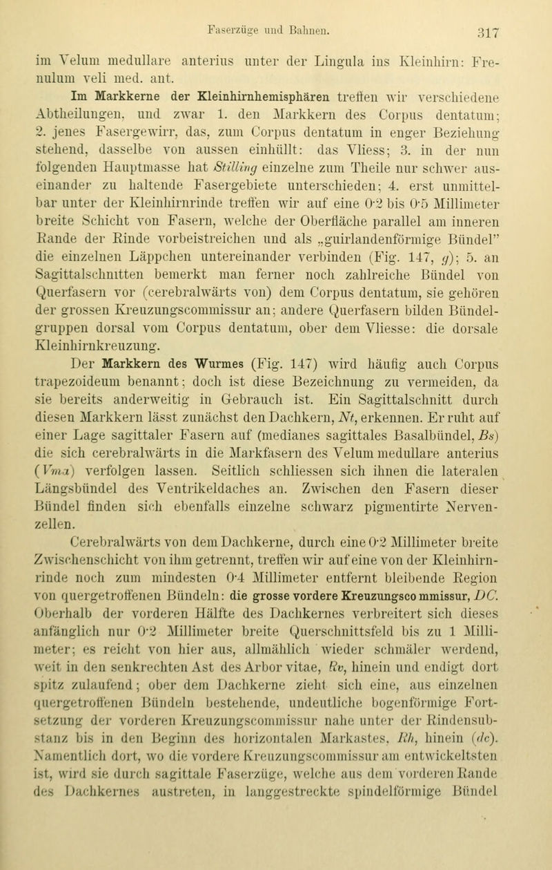 im Velum medulläre anterius unter der Lingula ins Kleinhirn: Fre- nulum veli med. ant. Im Markkerne der Kleinhirnhemisphären treuen wir verschiedene Abtheilungen, und zwar 1. den Markkern des Corpus dentatum; 2. jenes Fasergewirr, das. zum Corpus dentatum in enger Beziehung stehend, dasselbe von aussen einhüllt: das Vliess; 3. in der nun folgenden Hauptmasse hat Stilling einzelne zum Theile nur schwer aus- einander zu haltende Fasergebiete unterschieden; 4. erst unmittel- bar unter der Kleinhirnrinde treffen wir auf eine 0-2 bis 0-5 Millimeter breite Schicht von Fasern, welche der Oberfläche parallel am inneren Rande der Einde vorbeistreichen und als „girlandenförmige Bündel die einzelnen Läppchen untereinander verbinden (Fig. 147, </); 5. an Sagittalschnitten bemerkt man ferner noch zahlreiche Bündel von Querfasern vor (cerebralwärts von) dem Corpus dentatum, sie gehören der grossen Ki*euzungscommissur an; andere Querfasern bilden Bündel- gruppen dorsal vom Corpus dentatum, ober dem Vliesse: die dorsale Kleinhirnkreuzung. Der Markkern des Wurmes (Fig. 147) wird häufig auch Corpus trapezoideum benannt; doch ist diese Bezeichnung zu vermeiden, da sie bereits anderweitig in Gebrauch ist. Ein Sagittalschnitt durch diesen Markkern lässt zunächst den Dachkern, Nt, erkennen. Er ruht auf einer Lage sagittaler Fasern auf (medianes sagittales Basalbündel, Bs) die sich cerebralwärts in die Markfasern des Velum medulläre anterius (\'mi) verfolgen lassen. Seitlich schliessen sich ihnen die lateralen Längsbündel des Ventrikeldaches an. Zwischen den Fasern dieser Bündel finden sieh ebenfalls einzelne schwarz pigmentirte Nerven- zellen. Cerebralwärts von dem Dachkerne, durch eine 0-2 Millimeter breite Zwischenschicht von ihm getrennt, treffen wir auf eine von der Kleinhirn- rinde noch zum mindesten 0-4 Millimeter entfernt bleibende Region von quergetroffenen Bündeln: die grosse vordere Kreuzungscommissur, Z)C. Oberhalb der vorderen Hälfte des Dachkernes verbreitert sich dieses anfänglich nur 0*2 Millimeter breite Querschnittsfeld bis zu 1 Milli- meter; es reicht von hier aus, allmählich wieder schmäler werdend, weil in den senkrechten Ast des Arbor vitae, Rv, hinein und endigt dort Bpitz zulaufend; ober dem Dachkerne zieht sich eine, aus einzelnen quergetroffenen Bündels bestellende, undeutliche bogenförmige Fort- setzung der vorderen Kreuzungscommissur nahe unter der Bindensub- stanz bis in den Beginn des horizontalen Markastes, Rh, hinein (de). Namentlich dort, wo die vordere Kreuzungscommissur am entwickeltsten ist, wird sie durch sagittale Faserzüge, welche aus dem rorderenBande Dachkernes austreten, in langgestreckte spindelförmige Bündel