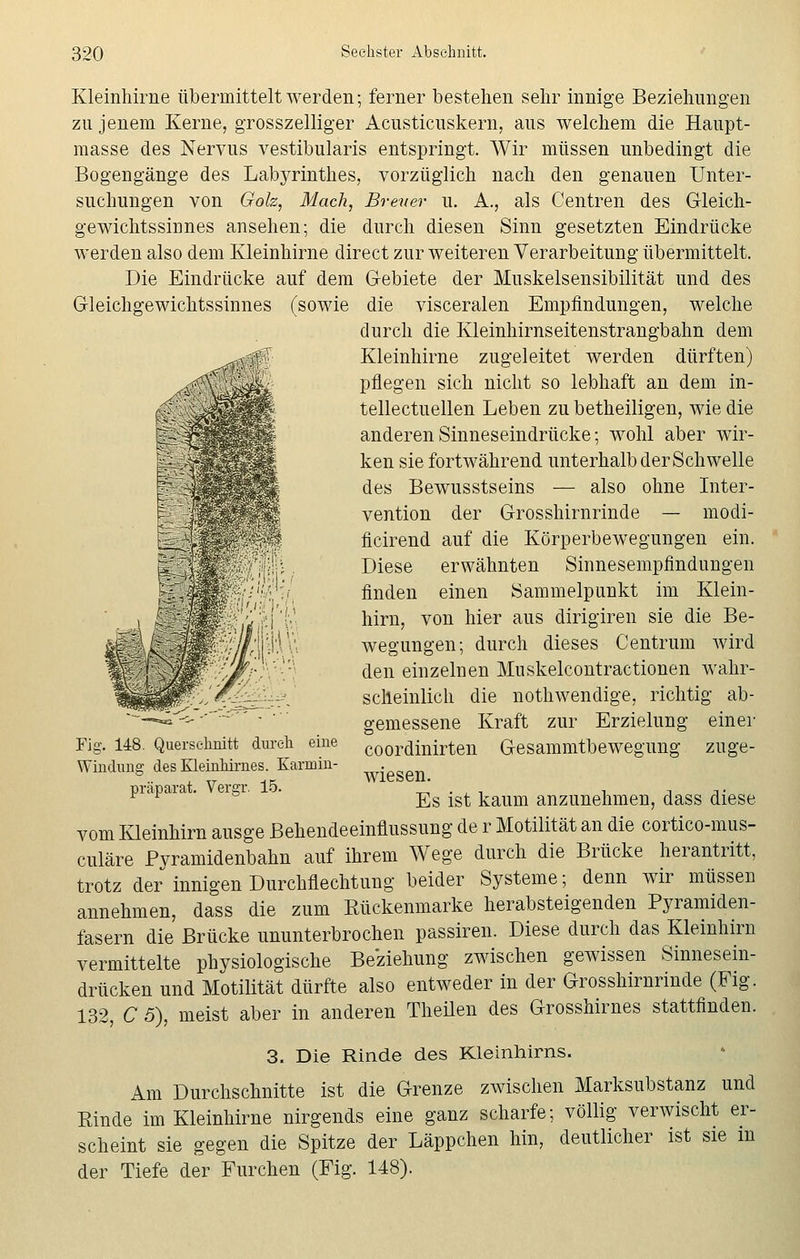 .**$! Kleinhirne übermittelt werden; ferner bestehen sehr innige Beziehungen zu jenem Kerne, grosszelliger Acusticuskern, aus welchem die Haupt- masse des Nervus vestibularis entspringt. Wir müssen unbedingt die Bogengänge des Labyrinthes, vorzüglich nach den genauen Unter- suchungen von Gok, Mach, Brener u. A., als Centren des Gleich- gewichtssinnes ansehen; die durch diesen Sinn gesetzten Eindrücke werden also dem Kleinhirne direct zur weiteren Verarbeitung übermittelt. Die Eindrücke auf dem Gebiete der Muskelsensibilität und des Gleichgewichtssinnes (sowie die visceralen Empfindungen, welche durch die Kleinhirnseitenstrangbahn dem Kleinhirne zugeleitet werden dürften) pflegen sich nicht so lebhaft an dem in- tellectuellen Leben zu betheiligen, wie die anderen Sinneseindrücke; wohl aber wir- ken sie fortwährend unterhalb der Schwelle des Bewusstseins — also ohne Inter- vention der Grosshirnrinde — modi- ficirend auf die Körperbewegungen ein. Diese erwähnten Sinnesempfindungen finden einen Sammelpunkt im Klein- hirn, von hier aus dirigiren sie die Be- wegungen; durch dieses Centrum wird den einzelnen Muskelcontractionen wahr- scheinlich die nothwendige, richtig ab- gemessene Kraft zur Erzielung einer coordinirten Gesammtbewegung zuge- wiesen. Es ist kaum anzunehmen, dass diese vom Kleinhirn ausge Behendeeinflussung de r Motilität an die cortico-mus- culäre Pyramidenbahn auf ihrem Wege durch die Brücke herantritt, trotz der innigen Durchflechtung beider Systeme; denn wir müssen annehmen, dass die zum Eückenmarke herabsteigenden Pyramiden- fasern die Brücke ununterbrochen passiren. Diese durch das Kleinhirn vermittelte physiologische Beziehung zwischen gewissen Sinnesein- drücken und Motilität dürfte also entweder in der Grosshirnrinde (Fig. 132, C 5), meist aber in anderen Theilen des Grosshirnes stattfinden. 3. Die Rinde des Kleinhirns. Am Durchschnitte ist die Grenze zwischen Marksubstanz und Einde im Kleinhirne nirgends eine ganz scharfe; völlig verwischt er- scheint sie gegen die Spitze der Läppchen hin, deutlicher ist sie in der Tiefe der Furchen (Fig. 148). Fig. 148. Querschnitt durch eine Windung des Kleinhirnes. Karmin- präparat. Vergr. 15.