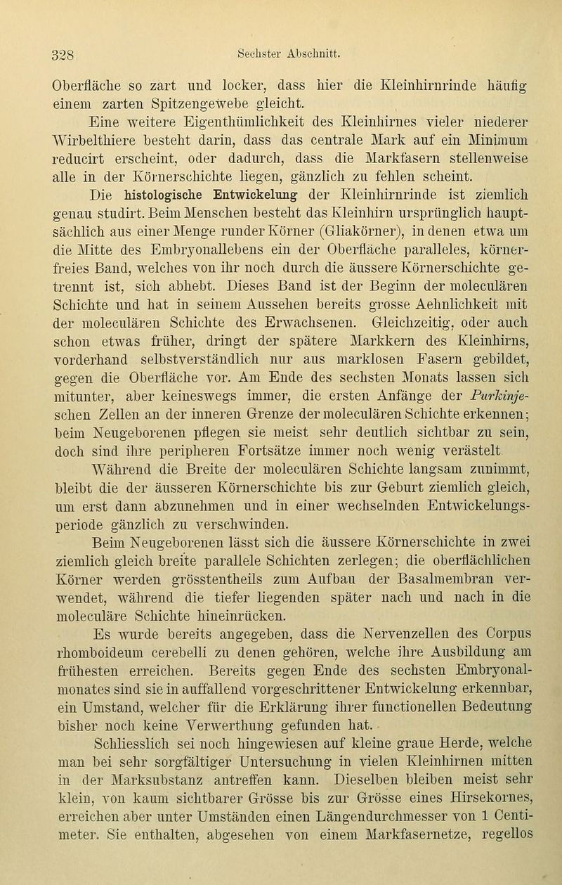 Oberfläche so zart und locker, dass hier die Kleinhirnrinde häufig einem zarten Spitzengewebe gleicht. Eine weitere Eigentümlichkeit des Kleinhirnes vieler niederer Wirbelthiere besteht darin, dass das centrale Mark auf ein Minimum reducirt erscheint, oder dadurch, dass die Markfasern stellenweise alle in der Körnerschichte liegen, gänzlich zu fehlen scheint. Die histologische Entwickelung der Kleinhirnrinde ist ziemlich genau studirt. Beim Menschen besteht das Kleinhirn ursprünglich haupt- sächlich aus einer Menge runder Körner (G-liakörner), in denen etwa um die Mitte des Embryonallebens ein der Oberfläche paralleles, körner- freies Band, welches von ihr noch durch die äussere Körnerschichte ge- trennt ist, sich abhebt. Dieses Band ist der Beginn der moleculären Schichte und hat in seinem Aussehen bereits grosse Aehnlichkeit mit der moleculären Schichte des Erwachsenen. Gleichzeitig, oder auch schon etwas früher, dringt der spätere Markkern des Kleinhirns, vorderhand selbstverständlich nur aus marklosen Fasern gebildet, gegen die Oberfläche vor. Am Ende des sechsten Monats lassen sich mitunter, aber keineswegs immer, die ersten Anfänge der PurJcinje- schen Zellen an der inneren Grenze der moleculären Schichte erkennen; beim Neugeborenen pflegen sie meist sehr deutlich sichtbar zu sein, doch sind ihre peripheren Fortsätze immer noch wenig verästelt Während die Breite der moleculären Schichte langsam zunimmt, bleibt die der äusseren Körnerschichte bis zur Geburt ziemlich gleich, um erst dann abzunehmen und in einer wechselnden Entwickelungs- periode gänzlich zu verschwinden. Beim Neugeborenen lässt sich die äussere Körnerschichte in zwei ziemlich gleich breite parallele Schichten zerlegen; die oberflächlichen Körner werden grösstenteils zum Aufbau der Basalmembran ver- wendet, während die tiefer liegenden später nach und nach in die moleculäre Schichte hineinrücken. Es wurde bereits angegeben, dass die Nervenzellen des Corpus rhomboideum cerebelli zu denen gehören, welche ihre Ausbildung am frühesten erreichen. Bereits gegen Ende des sechsten Embryonal- monates sind sie in auffallend vorgeschrittener Entwickelung erkennbar, ein Umstand, welcher für die Erklärung ihrer functionellen Bedeutung bisher noch keine Yerwerthung gefunden hat. Schliesslich sei noch hingewiesen auf kleine graue Herde, welche man bei sehr sorgfältiger Untersuchung in vielen Kleinhirnen mitten in der Marksubstanz antreffen kann. Dieselben bleiben meist sehr klein, von kaum sichtbarer Grösse bis zur Grösse eines Hirsekornes, erreichen aber unter Umständen einen Längendurchmesser von 1 Centi- meter. Sie enthalten, abgesehen von einem Markfasernetze, regellos