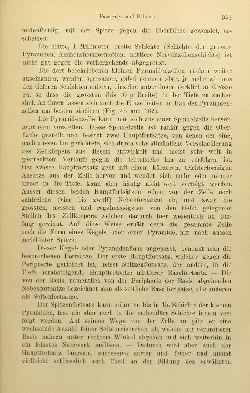 midenförmig, mit der Spitze gegen die Oberfläche gewendet, er- scheinen. Die dritte, 1 Millimeter breite Schichte (Schichte der grossen Pyramiden, Ammonshornformation, mittlere Nervenzellenschichte) ist nicht gut gegen die vorhergehende abgegrenzt. Die dort beschriebenen kleinen Pyramidenzellen rücken weiter auseinander, werden sparsamer, dabei nehmen aber, je mehr wir uns den tieferen Schichten nähern, einzelne unter ihnen merklich an Grösse zu, so dass die grössten (bis 40 ^ Breite) in der Tiefe zu suchen sind. An ihnen lassen sich auch die Einzelheiten im Bau der Pyramiden- zellen am besten studiren (Fig. 48 und 162). Die Pyramidenzelle kann man sich aus einer Spindelzelle hervor- gegangen vorstellen. Diese Spindelzelle ist radiär gegen die Ober- fläche gestellt und besitzt zwei Hauptfortsätze, von denen der eine nach aussen hin gerichtete, sich durch sehr allmähliche Verschmälerung des Zellkörpers aus diesem entwickelt und meist sehr weit in gestrecktem Verlaufe gegen die Oberfläche hin zu verfolgen ist. Der zweite Hauptfortsatz geht mit einem kürzeren, trichterförmigen Ansätze aus der Zelle hervor und wendet sich mehr oder minder direct in die Tiefe, kann aber häufig nicht weit verfolgt werden. Ausser diesen beiden Hauptfortsätzen gehen von der Zelle noch zahlreiche (vier bis zwölf) Nebenfortsätze ab, und zwar die grössten, meisten und regelmässigsten von den tiefst gelegenen Stellen des Zellkörpers, welcher dadurch hier wesentlich an Um- fang gewinnt. Auf diese Weise erhält denn die gesammte Zelle auch die Form eines Kegels oder einer Pyramide, mit nach aussen gerichteter Spitze. Dieser Kegel- oder Pyramidenform angepasst, benennt man die besprochenen Fortsätze. Der erste Hauptfortsatz, welcher gegen die Peripherie gerichtet ist, heisst Spitzenfortsatz, der andere, in die Tiefe herabsteigende Hauptfortsatz: mittlerer Basalfortsatz. — Die von der Basis, namentlich von der Peripherie der Basis abgehenden Nebenfortsätze bezeichnet man als seitliche Basalfortsätze, alle anderen als Sfitenfortsätze. Der Spitzenfortsatz kann mitunter bis in die Schichte der kleinen Pyramiden, fast nie aber noch in die moleculäre Schichte hinein ver- folgl werden. Auf seinem Wege von der Zelle an gibt er eine wechselnde Anzahl feiner Seitenreiserchen ab, welche mit verbreiteter • nahezu unter rechtem Winkel abgehen und sich weiterhin in ein feinstes Netzwerk auflösen. — Dadurch wird aber auch der Hauptfortsatz Langsam, successive zarter und feiner und nimmt rielleichl schliesslich auch Thei] an der Bildung des erwähnten