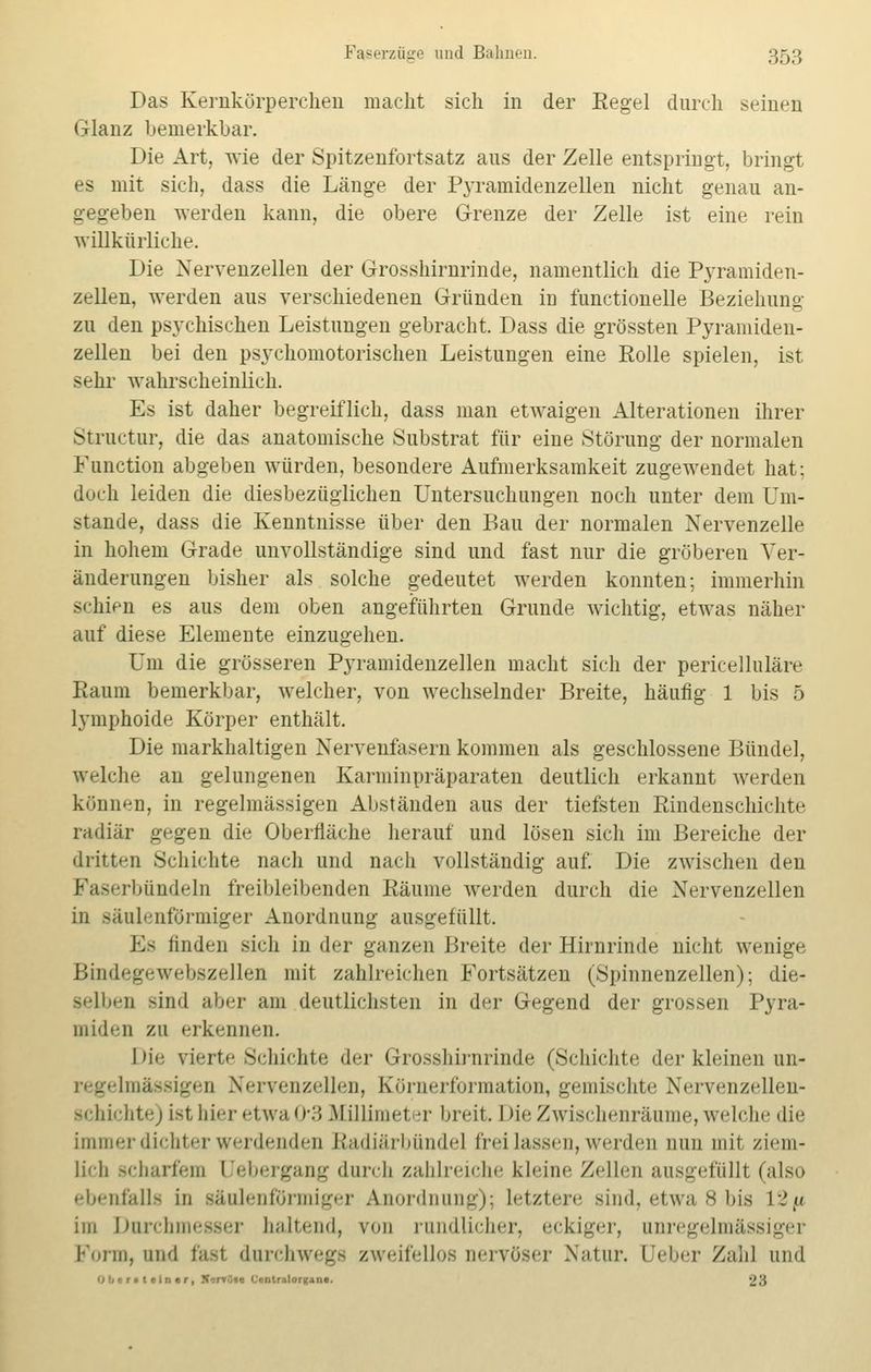 Das Kernkörperchen macht sich in der Regel durch seinen Glanz bemerkbar. Die Art, wie der Spitzenfortsatz aus der Zelle entspringt, bringt es mit sich, dass die Länge der Pyramidenzellen nicht genau an- gegeben werden kann, die obere Grenze der Zelle ist eine rein willkürliche. Die Nervenzellen der Grosshirnrinde, namentlich die Pyramiden- zellen, werden aus verschiedenen Gründen in functionelle Beziehung zu den psychischen Leistungen gebracht. Dass die grössten Pyramiden- zellen bei den psychomotorischen Leistungen eine Rolle spielen, ist sehr wahrscheinlich. Es ist daher begreiflich, dass man etwaigen Alterationen ihrer Structur, die das anatomische Substrat für eine Störung der normalen Function abgeben würden, besondere Aufmerksamkeit zugewendet hat; doch leiden die diesbezüglichen Untersuchungen noch unter dem Um- stände, dass die Kenntnisse über den Bau der normalen Nervenzelle in hohem Grade unvollständige sind und fast nur die gröberen Ver- änderungen bisher als solche gedeutet werden konnten; immerhin schien es aus dem oben angeführten Grunde wichtig, etwas näher auf diese Elemente einzugehen. Um die grösseren Pyramidenzellen macht sich der pericelluläre Raum bemerkbar, welcher, von wechselnder Breite, häufig 1 bis 5 lymphoide Körper enthält. Die markhaltigen Nervenfasern kommen als geschlossene Bündel, welche an gelungenen Karminpräparaten deutlich erkannt werden können, in regelmässigen Abständen aus der tiefsten Rindenschichte radiär gegen die Oberfläche herauf und lösen sich im Bereiche der dritten Schichte nach und nach vollständig auf. Die zwischen den rbündeln freibleibenden Räume werden durch die Nervenzellen in säulenförmiger Anordnung ausgefüllt. Es linden sich in der ganzen Breite der Hirnrinde nicht wenige Bindegewebszellen mit zahlreichen Fortsätzen (Spinnenzellen); die- gelben sind aber am deutlichsten in der Gegend der grossen Pyra- miden zu erkennen. Die vierte Schichte der Grosshirnrinde (Schichte der kleinen un- Imassigen Nervenzellen, Körnerformation, gemischte Nervenzellen- schichte) ist hier etwa •:; Müllimel -r breit, l ne Zwischenräume,welche die immer dichter werdenden ßadiärbündel frei lassen, werden nun mit ziem- lich scharfem Uebergang durch zahlreiche kleine Zellen ausgefüllt (also ebenfalls in säulenförmiger Anordnung); Letztere sind, etwa 8 bis L2/w im Durchmesser haltend, von rundlicher, eckiger, unregelmässiger Form, uii'l fast durchwegs zweifellos nervöser Natur. Deber Zahl und * -- i r. t r , .V.-rY<j*e Centralori^n«. 28