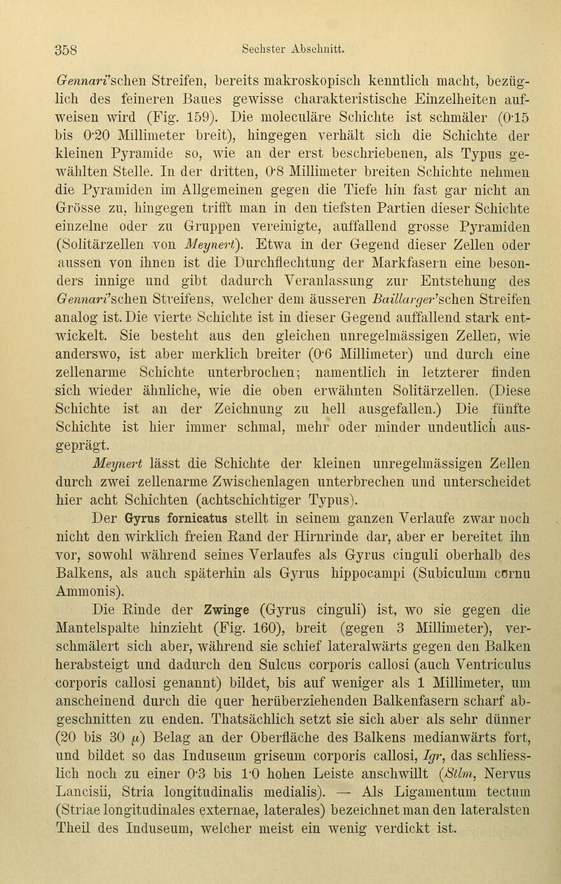 Gennari''sehen Streifen, bereits makroskopisch kenntlich macht, bezüg- lich des feineren Baues gewisse charakteristische Einzelheiten auf- weisen wird (Fig. 159). Die moleculäre Schichte ist schmäler (015 bis 0-20 Millimeter breit), hingegen verhält sich die Schichte der kleinen Pyramide so, wie an der erst beschriebenen, als Typus ge- wählten Stelle. In der dritten, 0-8 Millimeter breiten Schichte nehmen die Pyramiden im Allgemeinen gegen die Tiefe hin fast gar nicht an Grösse zu, hingegen trifft man in den tiefsten Partien dieser Schichte einzelne oder zu Gruppen vereinigte, auffallend grosse Pyramiden (Solitärzellen von Meynert). Etwa in der Gegend dieser Zellen oder aussen von ihnen ist die Durchflechtung der Markfasern eine beson- ders innige und gibt dadurch Veranlassung zur Entstehung des 6rewiaWschen Streifens, welcher dem äusseren Baülarger'&ohvii Streifen analog ist. Die vierte Schichte ist in dieser Gegend auffallend stark ent- wickelt. Sie besteht aus den gleichen unregelmässigen Zellen, wie anderswo, ist aber merklich breiter (06 Millimeter) und durch eine zellenarme Schichte unterbrochen; namentlich in letzterer finden sich wieder ähnliche, wie die oben erwähnten Solitärzellen. (Diese Schichte ist an der Zeichnung zu hell ausgefallen.) Die fünfte Schichte ist hier immer schmal, mehr oder minder undeutlich aus- geprägt. Meynert lässt die Schichte der kleinen unregelmässigen Zellen durch zwei zellenarme Zwischenlagen unterbrechen und unterscheidet hier acht Schichten (achtschichtiger Typus). Der Gyrus fornicatus stellt in seinem ganzen Verlaufe zwar noch nicht den wirklich freien Rand der Hirnrinde dar, aber er bereitet ihn vor, sowohl während seines Verlaufes als Gyrus cinguli oberhalb des Balkens, als auch späterhin als Gyrus hippocampi (Subiculum cernu Ammonis). Die Rinde der Zwinge (Gyrus cinguli) ist, wo sie gegen die Mantelspalte hinzieht (Fig. 160), breit (gegen 3 Millimeter), ver- schmälert sich aber, während sie schief lateralwärts gegen den Balken herabsteigt und dadurch den Sulcus corporis callosi (auch Ventriculus corporis callosi genannt) bildet, bis auf weniger als 1 Millimeter, um anscheinend durch die quer herüberziehenden Balkenfasern scharf ab- geschnitten zu enden. Thatsächlich setzt sie sich aber als sehr dünner (20 bis 30 [i) Belag an der Oberfläche des Balkens medianwärts fort, und bildet so das Induseum griseum corporis callosi, Igr, das schliess- lich noch zu einer 0'3 bis 1*0 hohen Leiste anschwillt (/Stlm, Nervus Lancisii, Stria longitudinalis medialis). — Als Ligamentum tectum (Striae longitudinales externae, laterales) bezeichnet man den lateralsten Theil des Induseum, welcher meist ein wenig verdickt ist.