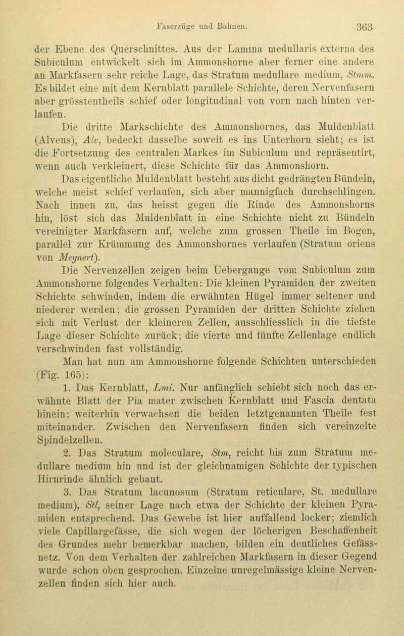 der Ebene des Querschnittes. Aus der Lamina medullaris externa des Subiculum entwickelt sich im Ammonshorne aber ferner eine andere an Markfasern sehr reiche Lage, das Stratum medulläre medium, Stmm. Es bildet eine mit dem Kernblatt parallele Schichte, deren Nervenfasern aber grösstenteils schief oder longitudinal von vorn nach hinten ver- laufen. Die dritte Markschichte des Ammonshornes, das Muldenblatt (Alveus), Ali; bedeckt dasselbe soweit es ins Unterhorn sieht; es ist die Fortsetzung des centralen Markes im Subiculum und repräsentirt, wenn auch verkleinert, diese Schichte für das Ammonshorn. Das eigentliche Muldenblatt besteht aus dicht gedrängten Bündeln, welche meist schief verlaufen, sich aber mannigfach durchschlingen. Nach innen zu, das heisst gegen die Rinde des Ammonshorns hin, löst sich das Muldenblatt in eine Schichte nicht zu Bündeln vereinigter Markfasern auf, welche zum grossen Theile im Bogen, parallel zur Krümmung des Ammonshornes verlaufen (Stratum oriens von Meyneri). Die Nervenzellen zeigen beim Uebergange vom Subiculum zum Ammonshorne folgendes Verhalten: Die kleinen Pyramiden der zweiten Schichte schwinden, indem die erwähnten Hügel immer seltener und niederer werden; die grossen Pyramiden der dritten Schichte ziehen sich mit Verlust der kleineren Zellen, ausschliesslich in die tiefste Lage dieser Schichte zurück; die vierte und fünfte Zellenlage endlich verschwinden fast vollständig. Man hat nun am Ammonshorne folgende Schichten unterschieden (Fig. 165 : 1. Das Kernblatt, Lmi. Nur anfänglich schiebt sich noch das er- wähnte Blatt der Pia mater zwischen Kernblatt und Fascia dentata hinein; weiterhin verwachsen die beiden letztgenannten Theile fest miteinander. Zwischen den Nervenfasern finden sich vereinzelte Spindelzellen. 2. Das Stratum moleculare, Stm, reicht bis zum Stratum me- dulläre medium hin und ist der gleichnamigen Schichte der typischen Hirnrinde ähnlich gebaut. 3. Das Stratum lacunosum (Stratum reticulare, St. medulläre medium), Stl, seiner Lage nach etwa der Schichte der kleinen Pyra- miden entsprechend. Das Gewebe ist hier auffallend locker; ziemlich viele Capillargefässe, die sich wegen der löcherigen Beschaffenheit des Grundes mehr bemerkbar machen, bilden ein deutliches Gei'äss- ii't/. Von dem Verhaltender zahlreichen Markfasern in dieser Gegend winde, schon oben gesprochen. Einzelne anregelmässige kleine Nerven- zellen finden sich hier anch.
