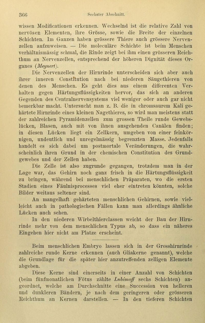 wissen Modificationen erkennen. Wechselnd ist die relative Zahl von nervösen Elementen, ihre Grösse, sowie die Breite der einzelnen Schichten. Im Ganzen haben grössere Thiere auch grössere Nerven- zellen aufzuweisen. — Die moleculäre Schichte ist beim Menschen verhältnismässig schmal, die Rinde zeigt bei ihm einen grösseren Reich- thum an Nervenzellen, entsprechend der höheren Dignität dieses Or- ganes {Meynert). Die Nervenzellen der Hirnrinde unterscheiden sich aber auch ihrer inneren Constitution nach bei niederen Säugethieren von denen des Menschen. Es geht dies aus einem differenten Ver- halten gegen Härtungsflüssigkeiten hervor, das sich an anderen Gegenden des Centralnervensystems viel weniger oder auch gar nicht bemerkbar macht. Untersucht man z. B. die in chromsaurem Kali ge- härtete Hirnrinde eines kleinen Nagethieres, so wird man meistens statt der zahlreichen Pyramidenzellen zum grossen Theile runde Gewebs- lücken, Blasen, auch mit von ihnen ausgehenden Canälen finden; in diesen Lücken liegt ein Zellkern, umgeben von einer feinkör- nigen, undeutlich und unregelmässig begrenzten Masse. Jedenfalls handelt es sich dabei um postmortale Veränderungen, die wahr- scheinlich ihren Grund in der chemischen Constitution des Grund- gewebes und der Zellen haben. Die Zelle ist also zugrunde gegangen, trotzdem man in der Lage war, das Gehirn noch ganz frisch in die Härtungsflüssigkeit zu bringen, während bei menschlichen Präparaten, wo die ersten Stadien eines Fäulnisprocesses viel eher eintreten könnten, solche Bilder weitaus seltener sind. An mangelhaft gehärteten menschlichen Gehirnen, sowie viel- leicht auch in pathologischen Fällen kann man allerdings ähnliche Lücken auch sehen. In den niederen Wirbelthierclassen weicht der Bau der Hirn- rinde mehr von dem menschlichen Typus ab, so dass ein näheres Eingehen hier nicht am Platze erscheint. Beim menschlichen Embryo lassen sich in der Grosshirnrinde zahlreiche runde Kerne erkennen (auch Gliakerne genannt), welche die Grundlage für die später hier anzutreffenden zelligen Elemente abgeben. Diese Kerne sind einerseits in einer Anzahl von Schichten (beim fünfmonatlichen Fötus zählte Lubimoff sechs Schichten) an- geordnet, welche am Durchschnitte eine Succession von helleren und dunkleren Bändern, je nach dem geringeren oder grösseren Reichthum an Kernen darstellen. — In den tieferen Schichten