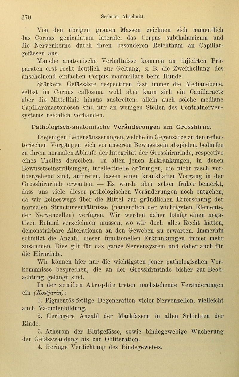 Von den übrigen grauen Massen zeichnen sich namentlich das Corpus geniculatum laterale, das Corpus subthalamicum und die Nervenkerne durch ihren besonderen Eeichthum an Capillar- gefässen aus. Manche anatomische Verhältnisse kommen an injicirten Prä- paraten erst recht deutlich zur Geltung, z. B. die Zweitheilung des anscheinend einfachen Corpus mammillare beim Hunde. Stärkere Gefässäste respectiren fast immer die Medianebene, selbst im Corpus callosum, wohl aber kann sich ein Capillarnetz über die Mittellinie hinaus ausbreiten; allein auch solche mediane Capillaranastomosen sind nur an wenigen Stellen des Centralnerven- systems reichlich vorhanden. Pathologisch-anatomische Veränderungen am Grosshirne. Diejenigen Lebensäusserungen, welche im Gegensatze zu den reflec- torischen Vorgängen sich vor unserem Bewusstsein abspielen, bedürfen zu ihrem normalen Ablaufe der Integrität der Grosshirnrinde, respective eines Theiles derselben. In allen jenen Erkrankungen, in denen Bewusstseinstrübungen, intellectuelle Störungen, die nicht rasch vor- übergehend sind, auftreten, lassen einen krankhaften Vorgang in der Grosshirnrinde erwarten. — Es wurde aber schon früher bemerkt, dass uns viele dieser pathologischen Veränderungen noch entgehen, da wir keineswegs über die Mittel zur gründlichen Erforschung der normalen Structurverhältnisse (namentlich der wichtigsten Elemente, der Nervenzellen) verfügen. Wir werden daher häufig einen nega- tiven Befund verzeichnen müssen, wo wir doch alles Eecht hätten, demonstrirbare Alterationen an den Geweben zu erwarten. Immerhin schmilzt die Anzahl dieser functionellen Erkrankungen immer mehr zusammen. Dies gilt für das ganze Nervensystem und daher auch für die Hirnrinde. Wir können hier nur die wichtigsten jener pathologischen Vor- kommnisse besprechen, die an der Grosshirnrinde bisher zur Beob- achtung gelangt sind. In der senilen Atrophie treten nachstehende Veränderungen ein (Kostjurin): 1. Pigmentös-fettige Degeneration vieler Nervenzellen, vielleicht auch Vacuolenbildung. 2. Geringere Anzahl der Markfasern in allen Schichten der Rinde. 3. Atherom der Blutgefässe, sowie bindegewebige Wucherung der Gefässwandung bis zur Obliteration. 4. Geringe Verdichtung des Bindegewebes.