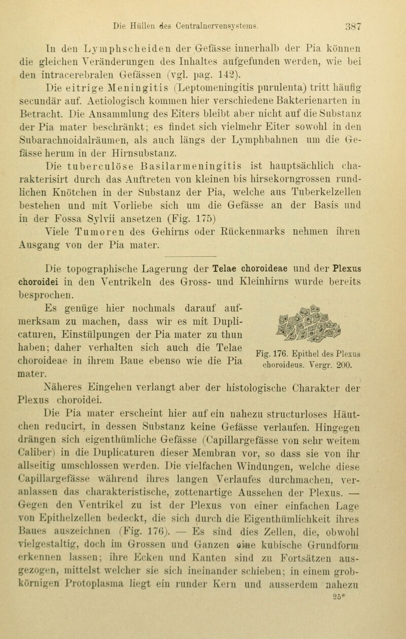 In den Lyinplisclieiden der Gefässe innerhalb der Pia können die gleichen Veränderungen des Inhaltes aufgefunden werden, wie bei den intracerebralen Gefässen (vgl. pag. 142). Die eitrige Meningitis (Leptomeningitis purulenta) tritt häufig secundär auf. Aetiologisch kommen hier verschiedene Bakterienarten in Betracht. Die Ansammlung des Eiters bleibt aber nicht auf die Substanz der Pia mater beschränkt; es findet sich vielmehr Eiter sowohl in den Subarachnoidalräumen. als auch längs der Lymphbahnen um die Ge- lasse herum in der Hirnsubstanz. Die tuberculöse Basilarmeningitis ist hauptsächlich cha- rakterisirt durch das Auftreten von kleinen bis hirsekorngrossen rund- lichen Knötchen in der Substanz der Pia, welche aus Tuberkelzellen bestehen und mit Vorliebe sich um die Gefässe an der Basis und in der Fossa Sylvii ansetzen (Fig. 175) Viele Tumoren des Gehirns oder Kückenmarks nehmen ihren Ausgang von der Pia mater. Die topographische Lagerung der Telae choroideae und der Plexus choroidei in den Ventrikeln des Gross- und Kleinhirns wurde bereits besprochen. Es genüge hier nochmals darauf auf- ;^.?_» merksam zu machen, dass wir es mit Dupli- fl caturen, Einstülpungen der Pia mater zu thun **% haben; daher verhalten sich auch die Telae „. ._„ „ .x1 . , ra ' . „ _ , .,.,*. Fig. 176. Epithel des Plexus choroideae in ihrem Baue ebenso wie die Pia ehoroideus Versr 200 mater. Näheres Eingehen verlangt aber der histologische Charakter der Plexus choroidei. I )ie Pia mater erscheint hier auf ein nahezu structurloses Häut- chen reducirt, in dessen Substanz keine Gefässe verlaufen. Hingegen drängen sich eigentümliche Gefässe (Capillargefässe von sehr weitem Caliber) in die Duplicaturen dieser Membran vor, so dass sie von ihr allseitig umschlossen werden. Die vielfachen Windungen, welche diese Capillargefässe während ihres langen Verlaufes durchmachen, ver- anlassen das charakteristische, zottenartige Aussehen der Plexus. — ii den Ventrikel zu ist der Plexus von einer einfachen Lage von Epithelzellen bedeckt, die sich fluid) die Eigentümlichkeit Ihres Baues auszeichnen (Fig. 176). Es sind dies Zellen, die, obwohl vielgestaltig, doch im Grossen und Ganzen ske kubische Grundform erkennen lassen; ihre Ecken und Kanten sind zu Fortsätzen aus- sen, mittelst welcher sie sich ineinanderschieben; in einem grob- körnigen Protoplasma liegt ein runder Kern und ausserdem nahezu