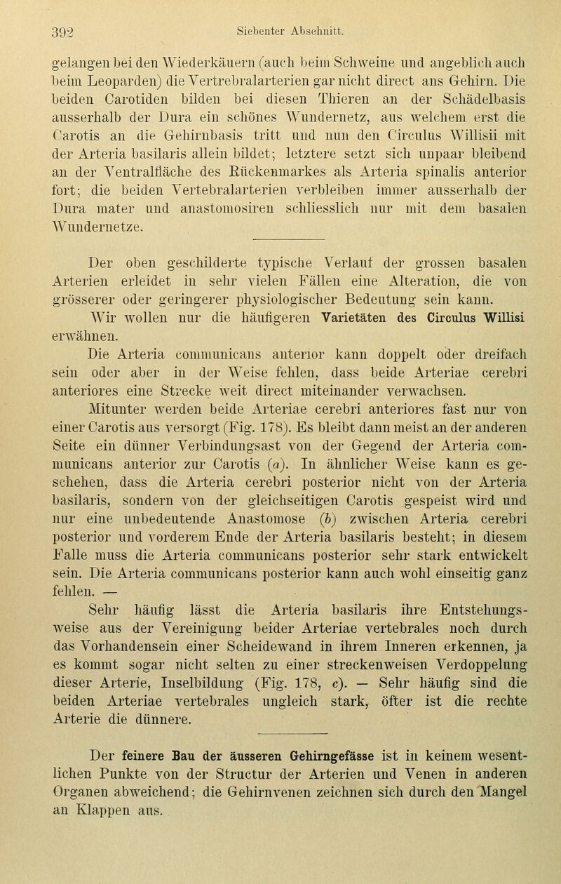 gelangen bei den Wiederkäuern (auch beim Schweine und angeblich auch beim Leoparden) die Vertrebralarterien gar nicht direct ans G-ehirn. Die beiden Carotiden bilden bei diesen Thieren an der Schädelbasis ausserhalb der Dura ein schönes Wundernetz, aus welchem erst die Carotis an die Gehirnbasis tritt und nun den Circulus Willisii mit der Arteria basilaris allein bildet; letztere setzt sich unpaar bleibend an der Ventralfläche des Rückenmarkes als Arteria spinalis anterior fort; die beiden Vertebralarterien verbleiben immer ausserhalb der Dura mater und anastomosiren schliesslich nur mit dem basalen Wundernetze. Der oben geschilderte typische Verlauf der grossen basalen Arterien erleidet in sehr vielen Fällen eine Alteration, die von grösserer oder geringerer physiologischer Bedeutung sein kann. Wir wollen nur die häufigeren Varietäten des Circulus Willisi erwähnen. Die Arteria communicans anterior kann doppelt oder dreifach sein oder aber in der Weise fehlen, dass beide Arteriae cerebri anteriores eine Strecke weit direct miteinander verwachsen. Mitunter werden beide Arteriae cerebri anteriores fast nur von einer Carotis aus versorgt (Fig. 178). Es bleibt dann meist an der anderen Seite ein dünner Verbindungsast von der Gegend der Arteria com- municans anterior zur Carotis (a). In ähnlicher Weise kann es ge- schehen, dass die Arteria cerebri posterior nicht von der Arteria basilaris, sondern von der gleichseitigen Carotis ^gespeist wird und nur eine unbedeutende Anastomose (b) zwischen Arteria cerebri posterior und vorderem Ende der Arteria basilaris besteht; in diesem Falle muss die Arteria communicans posterior sehr stark entwickelt sein. Die Arteria communicans posterior kann auch wohl einseitig ganz fehlen. — Sehr häufig lässt die Arteria basilaris ihre Entstehungs- weise aus der Vereinigung beider Arteriae vertebrales noch durch das Vorhandensein einer Scheidewand in ihrem Inneren erkennen, ja es kommt sogar nicht selten zu einer streckenweisen Verdoppelung dieser Arterie, Inselbildimg (Fig. 178, c). — Sehr häufig sind die beiden Arteriae vertebrales ungleich stark, öfter ist die rechte Arterie die dünnere. Der feinere Bau der äusseren Gehirngefässe ist in keinem wesent- lichen Punkte von der Structur der Arterien und Venen in anderen Organen abweichend; die Gehirnvenen zeichnen sich durch den Mangel an Klappen aus.