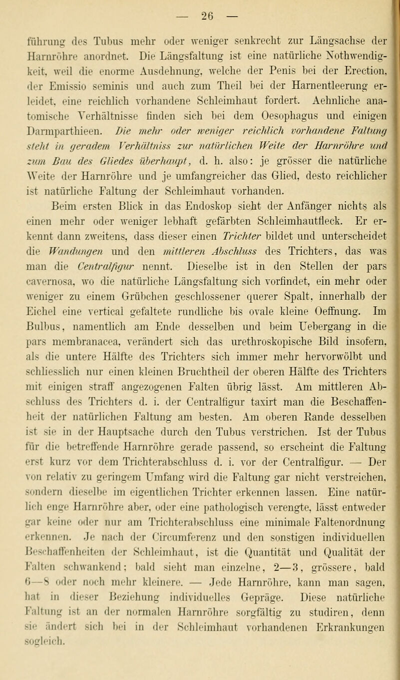 fuhrung des Tubus mehr oder weiliger senkrecht zur Längsachse der Harnröhre anordnet. Die Längsfaltung ist eine natürliche Notwendig- keit, weil die enorme Ausdehnung, welche der Penis bei der Erection, der Emissio seminis und auch zum Theil bei der Harnentleerung er- leidet, eine reichlich vorhandene Schleimhaut fordert. Aehnliche ana- tomische Verhältnisse finden sich bei dem Oesophagus und einigen Darmparthieen. Die mehr oder weniger reichlich vorhandene Faltung steht in geradem Yerhältniss zur natürlichen Weite der Harnröhre und zmn Bau des Gliedes überhaupt, d. h. also: je grösser die natürliche Weite der Harnröhre und je umfangreicher das Glied, desto reichlicher ist natürliche Faltung der Schleimhaut vorhanden. Beim ersten Bück in das Endoskop sieht der Anfänger nichts als einen mehr oder weniger lebhaft gefärbten Schleimhautfleck. Er er- kennt dann zweitens, dass dieser einen Trichter bildet und unterscheidet die Wandungen und den mittleren Ahschluss des Trichters, das was man die Centralfigur nennt. Dieselbe ist in den Stellen der pars cavernosa, wo die natürliche Längsfaltung sich vorfindet, ein mehr oder weniger zu einem Grübchen geschlossener querer Spalt, innerhalb der Eichel eine vertical gefaltete rundliche bis ovale kleine Oeffhung. Im Bulbus, namentlich am Ende desselben und beim Uebergang in die pars membranacea. verändert sich das urethroskopische Bild insofern, als die untere Hälfte des Trichters sich immer mehr hervorwölbt und schliesslich nur einen kleinen Bruchtheil der oberen Hälfte des Trichters mit einigen straff angezogenen Falten übrig lässt. Am mittleren Ab- schluss des Trichters d. i. der Centralfigur taxirt man die Beschaffen- heit der natürlichen Faltung am besten. Am oberen Rande desselben ist sie in der Hauptsache durch den Tubus verstrichen. Ist der Tubus für die betreffende Harnröhre gerade passend, so erscheint die Faltung erst kurz vin dem Trichterabschluss d. i. vor der Centralfigur. — Der \ii relativ zu geringem F/mfang wird die Faltung gar nicht verstreichen. sondern dieselbe im eigentlichen Trichter erkennen lassen. Eine natür- lich enge Harnröhre aber, oder eine pathologisch verengte, lässt entweder gar keine oder nur am Trichterabschluss eine minimale Faltenordnung erkennen. Je nach der Circumferenz und den sonstigen individuellen Beschaffenheiten der Schleimhaut, ist die Quantität und Qualität der Falten schwankend: bald sieht man einzelne, 2—3, grössere, bald 6 s der noch mehr kleinere. — Jede Harnröhre, kann man sagen, hat in dieser Beziehung individuelles Gepräge. Diese natürliche Faltung ist an der nurmalen Harnröhre sorgfältig zu studiren, denn sie ändert sich bei in der Schleimhaut vorhandenen Erkrankungen sogleich.
