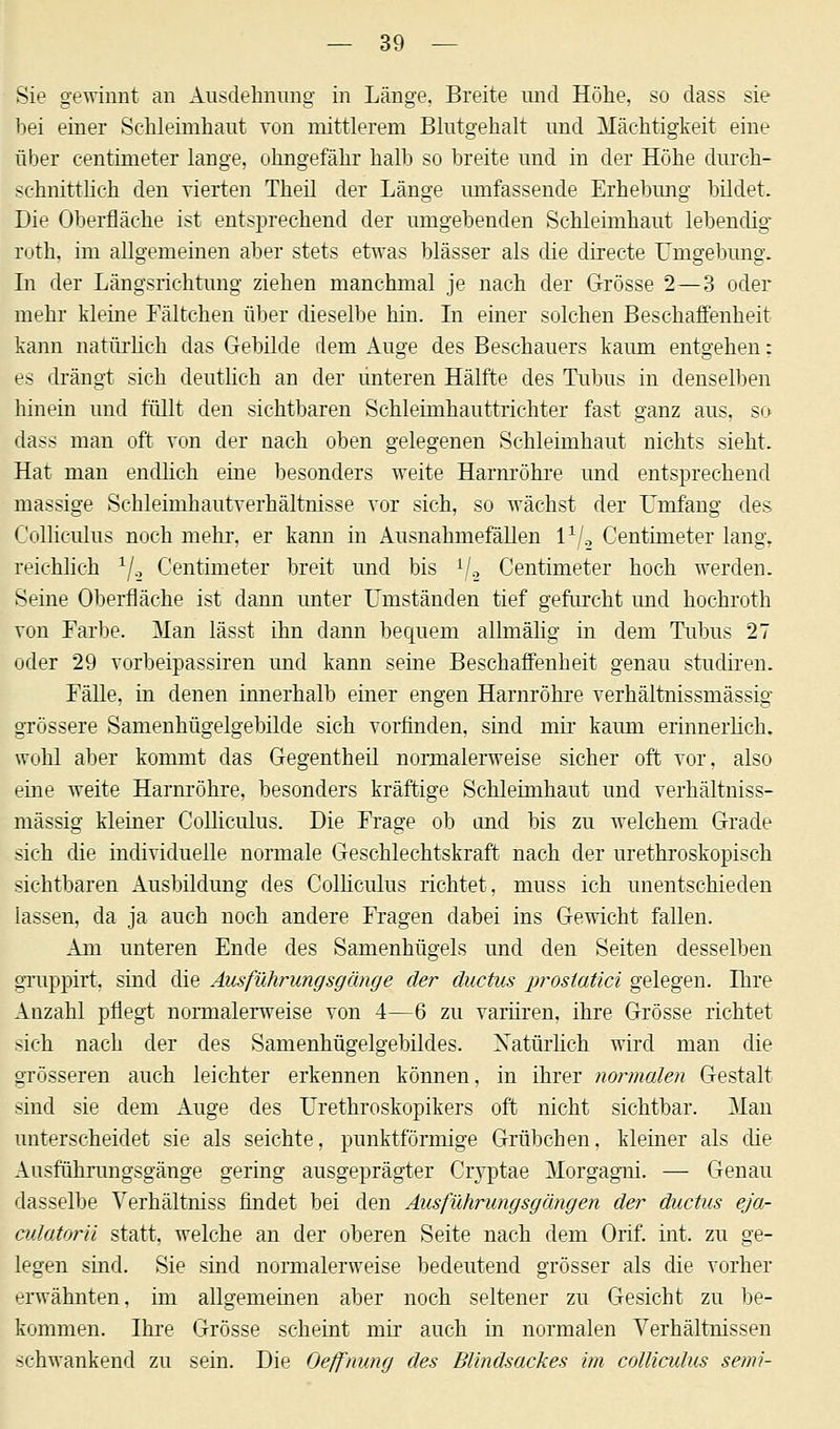 Sie gewinnt an Ausdehnung in Länge, Breite und Höhe, so dass sie bei einer Sehleimhaut von mittlerem Blutgehalt und Mächtigkeit eine über centimeter lange, ohngefähr halb so breite und in der Höhe durch- schnittlich den vierten Theil der Länge umfassende Erhebimg bildet. Die Oberfläche ist entsprechend der umgebenden Schleimhaut lebendig* roth, im allgemeinen aber stets etwas blässer als die directe Umgebung. In der Längsrichtung ziehen manchmal je nach der Grösse 2—3 oder mehr kleine Fältchen über dieselbe hin. In einer solchen Beschaffenheit kann natürlich das Gebilde dem Auge des Beschauers kaum entgehen: es drängt sich deutlich an der unteren Hälfte des Tubus in denselben hinein und füllt den sichtbaren Schleimhauttrichter fast ganz aus, so dass man oft von der nach oben gelegenen Schleimhaut nichts sieht. Hat man endlich eine besonders weite Harnröhre und entsprechend massige Schleimhautverhältnisse vor sich, so wächst der Umfang des Colliculus noch mehr, er kann in Ausnahmefällen lx/2 Centimeter lang, reichlich 1/.2 Centimeter breit und bis */2 Centimeter hoch werden. Seine Oberfläche ist dann unter Umständen tief gefurcht und hochroth von Farbe. Man lässt ihn dann bequem allmälig in dem Tubus 27 oder 29 vorbeipassiren und kann seine Beschaffenheit genau studiren. Fälle, in denen innerhalb einer engen Harnröhre verhältnissmässig grössere Samenhügelgebilde sich vorfinden, sind mir kaum erinnerlich, wohl aber kommt das Gegentheil normalerweise sicher oft vor. also eine weite Harnröhre, besonders kräftige Schleimhaut und verhältniss- mässig kleiner Colliculus. Die Frage ob and bis zu welchem Grade sich die individuelle normale Geschlechtskraft nach der urethroskopisch sichtbaren Ausbildung des Colliculus richtet, muss ich unentschieden lassen, da ja auch noch andere Fragen dabei ins Gewicht fallen. Am unteren Ende des Samenhügels und den Seiten desselben gruppirt. sind die Ausführung sgünge der ductus proslatici gelegen. Ihre Anzahl pflegt normalerweise von 4—6 zu variiren, ihre Grösse richtet sich nach der des Samenhügelgebildes. Natürlich wird man die grösseren auch leichter erkennen können, in ihrer normalen Gestalt sind sie dem Auge des Urethroskopikers oft nicht sichtbar. Man unterscheidet sie als seichte, punktförmige Grübchen, kleiner als die Ausführungsgänge gering ausgeprägter Cryptae Morgagni. — Genau dasselbe Verhältniss findet bei den Ausführungsgängen der ductus ej'a- culatorii statt, welche an der oberen Seite nach dem Orif. int. zu ge- legen sind. Sie sind normalerweise bedeutend grösser als die vorher erwähnten, im allgemeinen aber noch seltener zu Gesicht zu be- kommen. Ihre Grösse scheint mir auch in normalen Verhältnissen schwankend zu sein. Die Oeffnung des Blindsackes im colliculus semi-