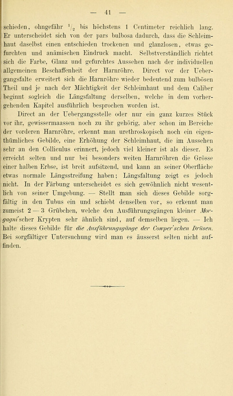 schieden, ohngefähr Y, bis höchstens 1 Centiineter reichlich lang. Er unterscheidet sich von der pars bulbosa dadurch, dass die Schleim- haut daselbst einen entschieden trockenen und glanzlosen, etwas ge- furchten und anämischen Eindruck macht. Selbstverständlich richtet sich die Farbe, Glanz und gefurchtes Aussehen nach der individuellen allgemeinen Beschaffenheit der Harnröhre. Direct vor der Ueber- gangsfalte erweitert sich die Harnröhre wieder bedeutend zum bulbösen Theil und je nach der Mächtigkeit der Schleimhaut und dem Caliber beginnt sogleich die Längsfaltung derselben, welche in dem vorher- gehenden Kapitel ausführlich besprochen worden ist. Direct an der Übergangsstelle oder nur ein ganz kurzes Stück vor ihr, gewissermaassen noch zu ihr gehörig, aber schon im Bereiche der vorderen Harnröhre, erkennt man urethroskopisch noch ein eigen- tümliches Gebilde, eine Erhöhung der Schleimhaut, die im Aussehen sehr an den Colliculus erinnert, jedoch viel kleiner ist als dieser. Es erreicht selten und nur bei besonders weiten Harnröhren die Grösse einer halben Erbse, ist breit aufsitzend, und kann an seiner Oberfläche etwas normale Längsstreifung haben; Längsfaltung zeigt es jedoch nicht. In der Färbung unterscheidet es sich gewöhnlich nicht wesent- lich von seiner Umgebung. — Stellt man sich dieses Gebilde sorg- fältig in den Tubus ein und schiebt denselben vor, so erkennt man zumeist 2 — 3 Grübchen, welche den Ausführungsgängen kleiner Mor- gagni'scher Krypten sehr ähnlich sind, auf demselben liegen. — Ich halte dieses Gebilde für die Ausführungsgänge der Cowper'sehen Drüsen. Bei sorgfältiger Untersuchung wird man es äusserst selten nicht auf- finden.