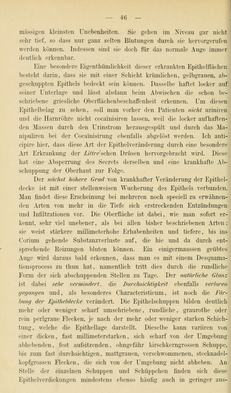 massigen kleinsten Unebenheiten. Sie gehen im Niveau gar nicht sehr tief, so dass nur ganz selten Blutungen durch sie hervorgerufen werden können« Indessen sind sie doch für das nurmale Auge immer deutlich erkennbar. Eine besondere Eigentümlichkeit dieser erkrankten Epithelflächen besteht darin, dass sie mit einer Schicht krümlichen, gelbgrauen, ab- geschuppten Epithels bedeckt sein können. Dasselbe haftet locker auf seiner Unterlage und lässt alsdann beim Abwischen die schon be- schriebene griesliche Oberflächenbeschaffenheit erkennen. Um diesen Epithelbelag zu sehen, soll man vorher den Patienten nicht uriniren und die Harnröhre nicht cocainisiren lassen, weil die locker aufhaften- den Massen durch den Urinstrom herausgespült und durch das Ma- nipuliren bei der Coearnisirung ebenfalls abgelöst werden. Ich anti- cipire hier, dass diese Art der Epithelveränderung durch eine besondere Art Erkrankung der Littreschen Drüsen hervorgebracht wird. Diese hat eine Absperrung des Secrets derselben und eine krankhafte Ab- schuppung der Oberhaut zur Folge. Der nächst höhere Grad von krankhafter Veränderung der Epithel- decke ist mit einer stellenweisen Wucherung des Epithels verbunden. Man findet diese Erscheinung bei mehreren noch speciell zu erwähnen- den Arten von mehr in die Tiefe sich erstreckenden Entzündungen und Infiltrationen vor. Die Oberfläche ist dabei, wie man sofort er- kennt, sehr viel unebener, als bei allen bisher beschriebenen Arten: sie weist stärkere millimeterhohe Erhabenheiten und tiefere, bis ins Corium gehende Substanzverluste auf. die hie und da durch ent- sprechende Reizungen bluten können. Ein einigermaassen geübtes Auge wird daraus bald erkennen, dass man es mit einem Desquama- tion -process zu thun hat. namentlich tritt dies durch die rundliche Form der sich abschuppenden Stellen zu Tage. Der natürliche Glanz ist dabei sehr vermindert, che Durchsichtigkeit ebenfalls verloren gegangen und, als besonderes Characteristicum, ist noch die Fär- bung der Epitheldecke verändert. Die Epithelschuppen bilden deutlich mehr oder weniger scharf umschriebene, rundliche. graurothe oder rein perlgraue Flecken, je nach der mehr oder weniger starken Schich- tung, welche die Epithellage darstellt. Dieselbe kann variiren von einer dicken, fast millimeterstarken, sich scharf von der Umgeliuivj abhebenden, fest aufsitzenden, ohngefahr kirschkerngrossen Schuppe. bis zum fast durchsichtigen, mattgrauen, verschwommenen, stecknadel- kopftn-ossen Flecken, die sich von der Umgebung nicht abheben. An Stelle der einzelnen Schuppen und Schüppchen finden sich diese Epithelverdickungen mindestens ebenso häufig auch in geringer aus-